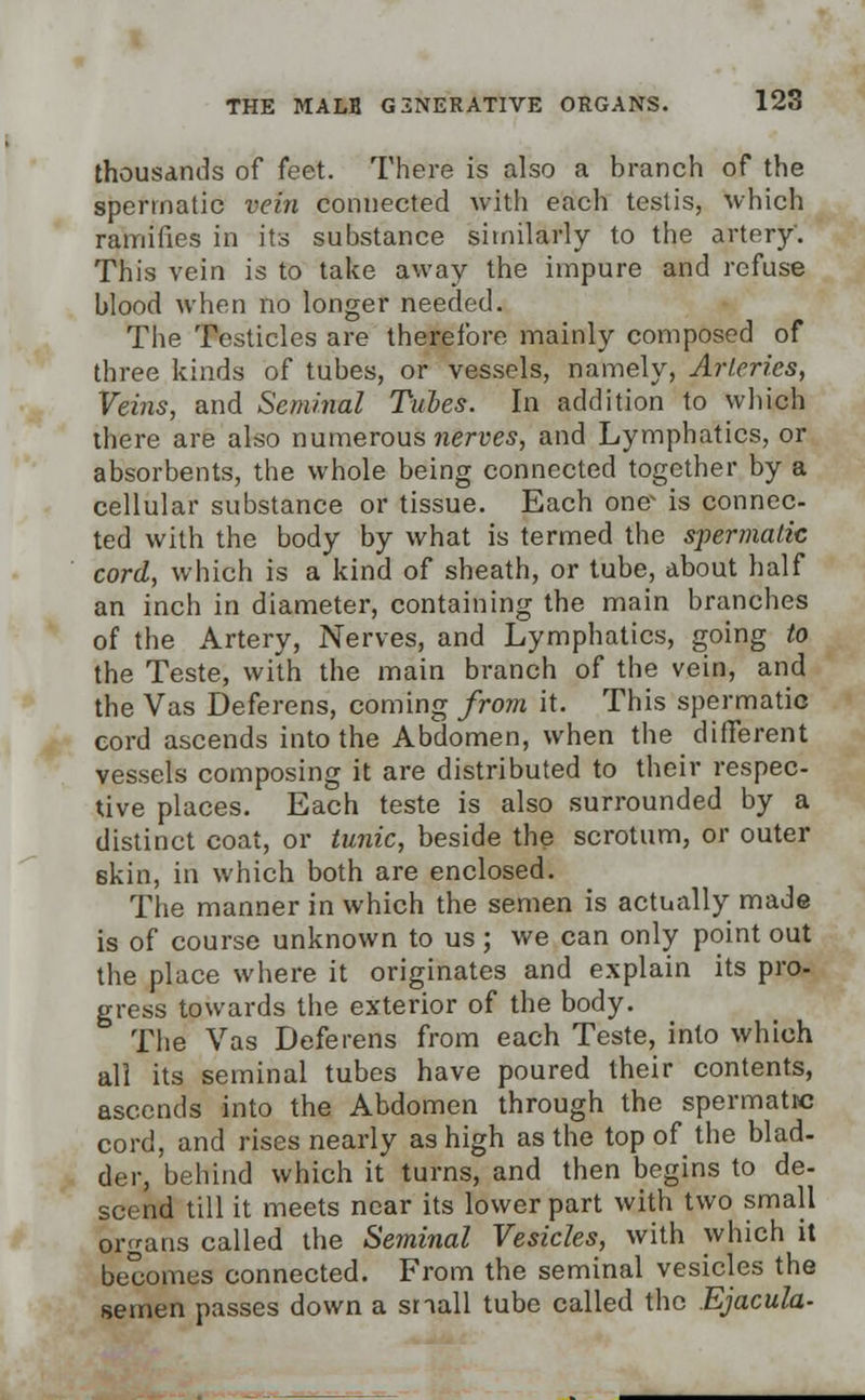 thousands of feet. There is also a branch of the spermatic vein connected with each testis, which ramifies in its substance similarly to the artery'. This vein is to take away the impure and refuse blood when no longer needed. The Testicles are therefore mainly composed of three kinds of tubes, or vessels, namely, Arteries, Veins, and Seminal Tubes. In addition to which there are also numerous nerves, and Lymphatics, or absorbents, the whole being connected together by a cellular substance or tissue. Each one^ is connec- ted with the body by what is termed the s-permalic cord, which is a kind of sheath, or tube, about half an inch in diameter, containing the main branches of the Artery, Nerves, and Lymphatics, going to the Teste, with the main branch of the vein, and the Vas Deferens, coming from it. This spermatic cord ascends into the Abdomen, when the different vessels composing it are distributed to their respec- tive places. Each teste is also surrounded by a distinct coat, or tunic, beside the scrotum, or outer 6kin, in which both are enclosed. The manner in which the semen is actually made is of course unknown to us; we can only point out the place where it originates and explain its pro- gress towards the exterior of the body. The Vas Deferens from each Teste, into which all its seminal tubes have poured their contents, ascends into the Abdomen through the spermatic cord, and rises nearly as high as the top of the blad- der, behind which it turns, and then begins to de- scend till it meets near its lower part with two small organs called the Seminal Vesicles, with which it becomes connected. From the seminal vesicles the semen passes down a snail tube called the Ejacula-