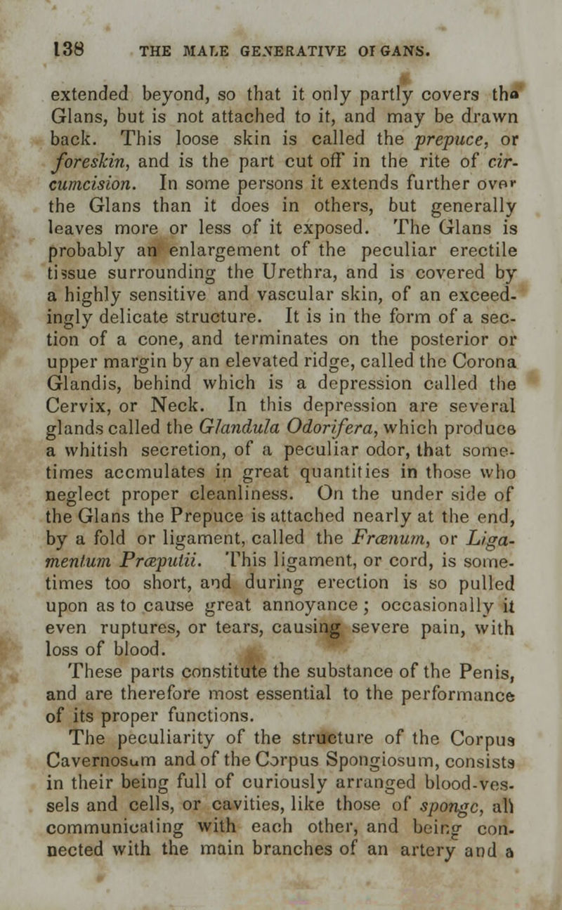 extended beyond, so that it only partly covers th« Glans, but is not attached to it, and may be drawn back. This loose skin is called the prepuce, or foreskin, and is the part cut off in the rite of cir- cumcision. In some persons it extends further over the Glans than it does in others, but generally leaves more or less of it exposed. The Glans is probably an-* enlargement of the peculiar erectile tissue surrounding the Urethra, and is covered by a highly sensitive and vascular skin, of an exceed, ingly delicate structure. It is in the form of a sec- tion of a cone, and terminates on the posterior or upper margin by an elevated ridge, called the Corona Glandis, behind which is a depression called the Cervix, or Neck. In this depression are several glands called the Glandula Odorifera, which produce a whitish secretion, of a peculiar odor, that some- times accmulates in great quantities in those who neglect proper cleanliness. On the under side of the Glans the Prepuce is attached nearly at the end, by a fold or ligament, called the Frcenum, or Liga- mentum Prcepulii. This ligament, or cord, is some- times too short, and during erection is so pulled upon as to cause great annoyance; occasionally it even ruptures, or tears, causing severe pain, with loss of blood. These parts constitute the substance of the Penis, and are therefore most essential to the performance of its proper functions. The peculiarity of the structure of the Corpus Cavernosum and of the Corpus Spongiosum, consists in their being full of curiously arranged blood-ves- sels and cells, or cavities, like those of sponge, an communicating with each other, and being con- nected with the main branches of an artery and a