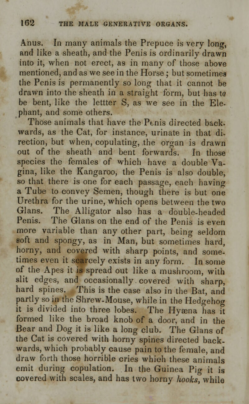 Anus. In many animals the Prepuce is very long, and like a sheath, and the Penis is ordinarily drawn into it, when not erect, as in many of those above mentioned, and as we see in the Horse; but sometimes the Penis is permanently so long that it cannot be drawn into the sheath in a straight form, but has to be bent, like the lettter S, as we see in the Ele- phant, and some others. Those animals that have the Penis directed back, wards, as the Cat, for instance, urinate in that di- rection, but when, copulating, the organ is drawn out of the sheath and bent forwards. In those species the females of which have a double Va- gina, like the Kangaroo, the Penis is also double, so that there is one for each passage, each having a Tube to convey Semen, though there is but one Urethra for the urine, which opens between the two Glans. The Alligator also has a double-headed Penis. The Glans on the end of the Penis is even more variable than any other part, being seldom soft and spongy, as in Man, but sometimes hard, horny, and co^red with sharp points, and some- times even it scarcely exists in any form. In some of the Apes it is spread out like a mushroom, with slit edges, and occasionally. covered with sharp, hard spines. This is the case also in the Bat, and partly so in the Shrew-Mouse, while in the Hedgehog it is divided into three lobes. The Hyaena has it formed like the broad knob of a door, and in the Bear and Dog it is like a long club. The Glans of the Cat is covered with horny spines directed back- wards, which probably cause pain to the female, and draw forth those horrible cries which these animals emit during copulation. In the Guinea Pig it is covered with scales, and has two horny hooks, while