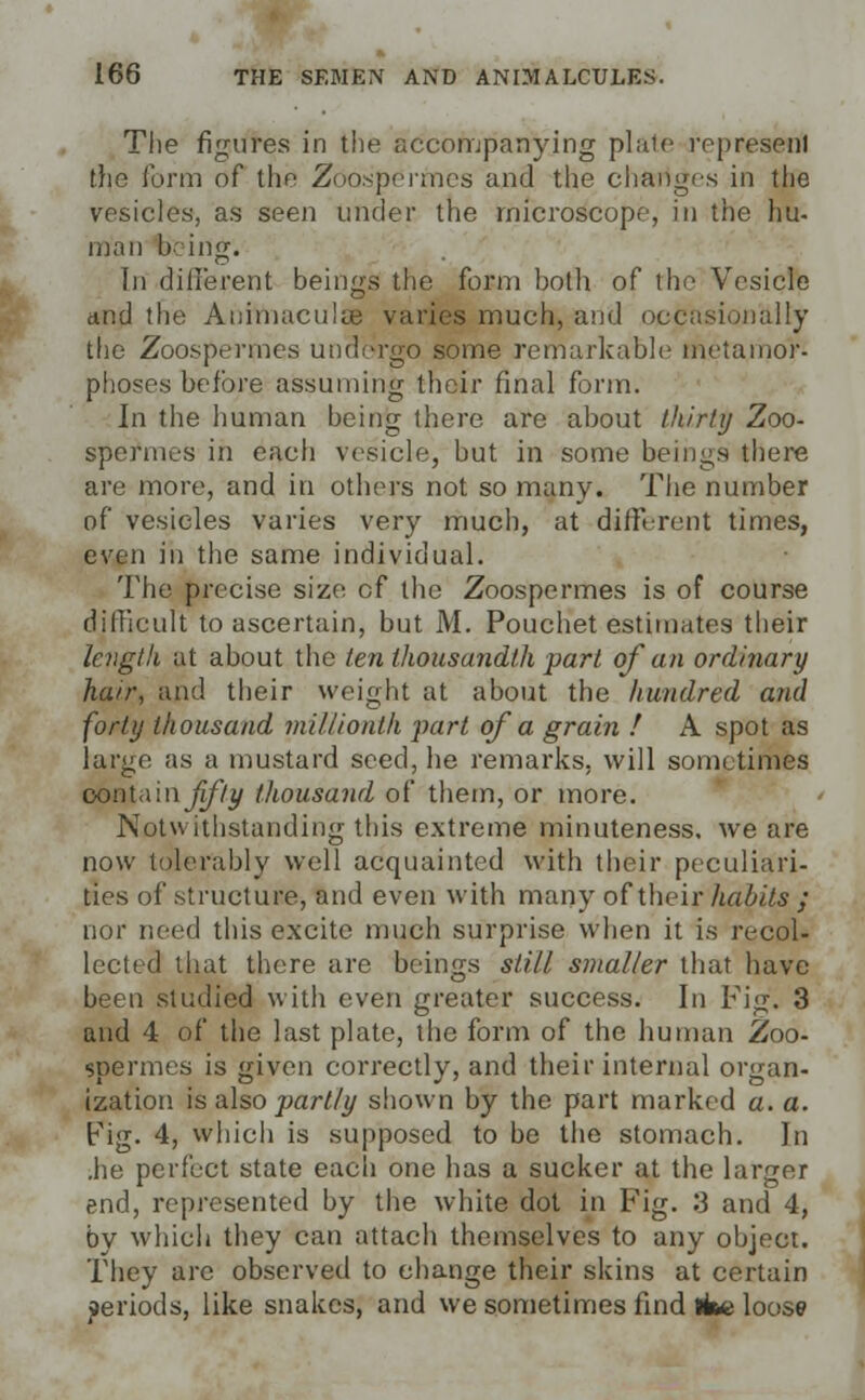 The figures in the accompanying plate represent the form of the Zoospermes and the changes in the vesicles, as seen under the microscop., in the hu- man being. In different beings the form both of the Vesicle and the Animaculse varies much, and occasionally the Zoospermes undergo some remarkable metamor- phoses before assuming their final form. In the human being there are about thirty Zoo- spermes in each vesicle, but in some beings there are more, and in others not so many. The number of vesicles varies very much, at different times, even in the same individual. The precise size of the Zoospermes is of course difficult to ascertain, but M. Pouchet estimates their length at about the ten thousandth part of an ordinary hair, and their weight at about the hundred and forty thousand millionth part of a grain ! A spot as large as a mustard seed, he remarks, will sometimes oontainyj/7^ thousand of them, or more. Notu ithstanding ttiis extreme minuteness, we are now tolerably well acquainted with their peculiari- ties of structure, and even with many of their habits ; nor need this excite much surprise when it is recol- lected that there are beings still smaller that have been studied with even greater success. In Fig. 3 and 4 of the last plate, the form of the human Zoo- spermes is given correctly, and their internal organ- ization is also partly shown by the part marked a. a. Fig. 4, which is supposed to be the stomach. In .he perfect state each one has a sucker at the larger end, represented by the white dot in Fig. :3 and 4, by which they can attach themselves to any object. They arc observed to change their skins at certain periods, like snakes, and we sometimes find ike loose