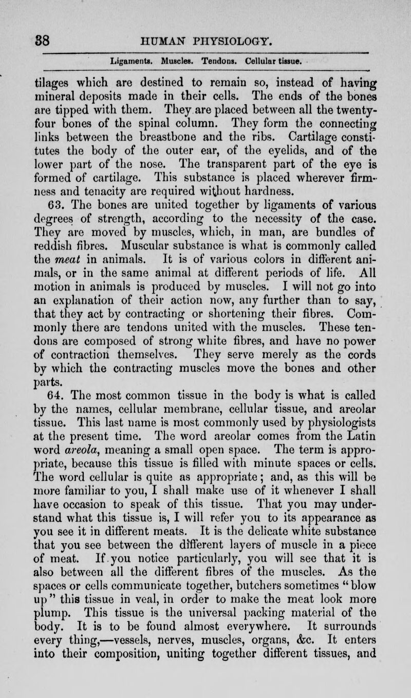 Ligaments. Muscles. Tendons. Cellular tissue. tilages which are destined to remain so, instead of having mineral deposits made in their cells. The ends of the bones are tipped with them. They are placed between all the twenty- four bones of the spinal column. They form the connecting links between the breastbone and the ribs. Cartilage consti- tutes the body of the outer ear, of the eyelids, and of the lower part of the nose. The transparent part of the eye is formed of cartilage. This substance is placed wherever firm- ness and tenacity are required without hardness. 63. The bones are united together by ligaments of various degrees of strength, according to the necessity of the case. They are moved by muscles, which, in man, are bundles of reddish fibres. Muscular substance is what is commonly called the meat in animals. It is of various colors in different ani- mals, or in the same animal at different periods of life. All motion in animals is produced by muscles. I will not go into an explanation of their action now, any further than to say, that they act by contracting or shortening their fibres. Com- monly there are tendons united with the muscles. These ten- dons are composed of strong white fibres, and have no power of contraction themselves. They serve merely as the cords by which the contracting muscles move the bones and other parts. 64. The most common tissue in the body is what is called by the names, cellular membrane, cellular tissue, and areolar tissue. This last name is most commonly used by physiologists at the present time. The word areolar comes from the Latin word areola, meaning a small open space. The term is appro- priate, because this tissue is filled with minute spaces or cells. The word cellular is quite as appropriate; and, as this will be more familiar to you, I shall make use of it whenever I shall have occasion to speak of this tissue. That you may under- stand what this tissue is, I will refer you to its appearance as you see it in different meats. It is the delicate white substance that you see between the different layers of muscle in a piece of meat. If.you notice particularly, you will see that it is also between all the different fibres of the muscles. As the spaces or cells communicate together, butchers sometimes blow up  this tissue in veal, in order to make the meat look more plump. This tissue is the universal packing material of the body. It is to be found almost everywhere. It surrounds every thing,—vessels, nerves, muscles, organs, &c. It enters into their composition, uniting together different tissues, and
