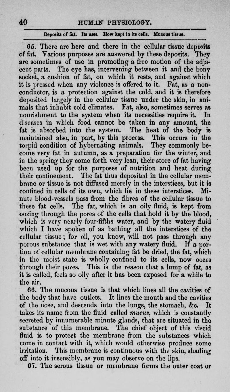Deposits of fat. Its met. How kept in its cells. Mucous tissue. 65. There are here and there in the cellular tissue deposits of fat. Various purposes are answered hy these deposits. They are sometimes of use in promoting a free motion of the adja- cent parts. The eye has, intervening between it and the bony socket, a cushion of fat, on which it rests, and against which it is pressed when any violence is offered to it. Fat, as a non- conductor, is a protection against the cold, and it is therefore deposited largely in the cellular tissue under the skin, in ani- mals that inhabit cold climates. Fat, also, sometimes serves as nourishment to the system when its necessities require it. In diseases in which food cannot be taken in any amount, the fat is absorbed into the system. The heat of the body is maintained also, in part, by this process. This occurs in the torpid condition of bybernating animals. They commonly be- come very fat in autumn, as a preparation for the winter, and in the spring they come forth very lean, their store of fat having been used up for the purposes of nutrition and heat during their confinement. The fat thus deposited in the cellular mem- brane or tissue is not diffused merely in the interstices, but it is confined in cells of its own, which lie in these interstices. Mi- nute blood-vessels pass from the fibres of the cellular tissue to these fat cells. The fat, which is an oily fluid, is kept from oozing through the pores of the cells that hold it by the blood, which is very nearly four-fifths water, and by the watery fluid which I have spoken of as bathing all the interstices of the cellular tissue; for oil, you know, will not pass through any porous substance that is wet with any watery fluid. If a por- tion of cellular membrane containing fat be dried, the fat, which in the moist state is wholly confined to its cells, now oozes through their pores. This is the reason that a lump of fat, as it is called, feels so oily after it has been exposed for a while to the air. 66. The mucous tissue is that which lines all the cavities of the body that have outlets. It lines the mouth and the cavities of the nose, and descends into the lungs, the stomach, <fec. It takes its name from the fluid called mucus, which is constantly secreted by innumerable minute glands, that are situated in the substance of thi3 membrane. The chief object of this viscid fluid is to protect the membrane from the substances which come in contact with it, which would otherwise produce some irritation. This membrane is continuous with the skin, shading off into it insensibly, as you may observe on the lips. 67. The serous tissue or membrane forms the outer coat or