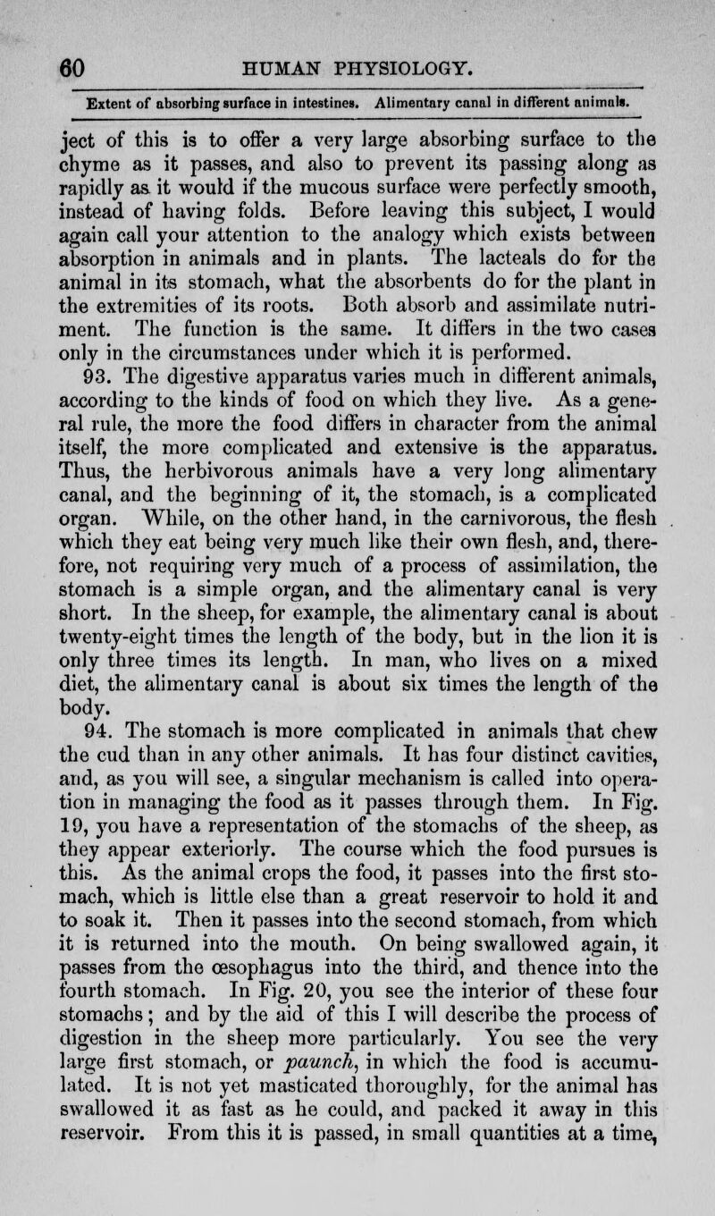 Extent of absorbing surface in intestines. Alimentary canal in different animal*. ject of this is to offer a very large absorbing surface to the chyme as it passes, and also to prevent its passing along as rapidly as it would if the mucous surface were perfectly smooth, instead of having folds. Before leaving this subject, I would again call your attention to the analogy which exists between absorption in animals and in plants. The lacteals do for the animal in its stomach, what the absorbents do for the plant in the extremities of its roots. Both absorb and assimilate nutri- ment. The function is the same. It differs in the two cases only in the circumstances under which it is performed. 93. The digestive apparatus varies much in different animals, according to the kinds of food on which they live. As a gene- ral rule, the more the food differs in character from the animal itself, the more complicated and extensive is the apparatus. Thus, the herbivorous animals have a very long alimentary canal, and the beginning of it, the stomach, is a complicated organ. While, on the other hand, in the carnivorous, the flesh which they eat being very much like their own flesh, and, there- fore, not requiring very much of a process of assimilation, the stomach is a simple organ, and the alimentary canal is very short. In the sheep, for example, the alimentary canal is about twenty-eight times the length of the body, but in the lion it is only three times its length. In man, who lives on a mixed diet, the alimentary canal is about six times the length of the body. 94. The stomach is more complicated in animals that chew the cud than in any other animals. It has four distinct cavities, and, as you will see, a singular mechanism is called into opera- tion in managing the food as it passes through them. In Fig. 19, you have a representation of the stomachs of the sheep, as they appear exteriorly. The course which the food pursues is this. As the animal crops the food, it passes into the first sto- mach, which is little else than a great reservoir to hold it and to soak it. Then it passes into the second stomach, from which it is returned into the mouth. On being swallowed again, it passes from the oesophagus into the third, and thence into the fourth stomach. In Fig. 20, you see the interior of these four stomachs; and by the aid of this I will describe the process of digestion in the sheep more particularly. You see the very large first stomach, or paunch, in which the food is accumu- lated. It is not yet masticated thoroughly, for the animal has swallowed it as fast as he could, and packed it away in this reservoir. From this it is passed, in small quantities at a time,
