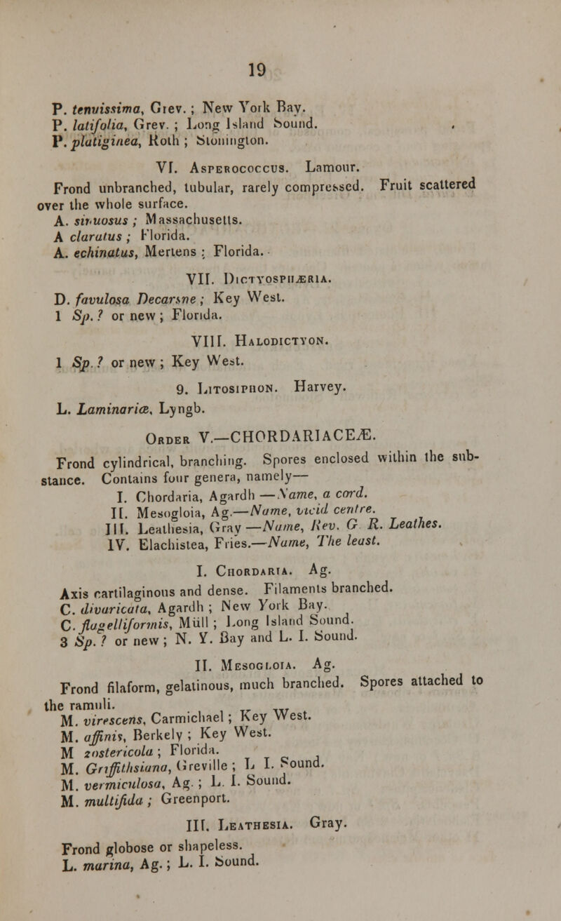 P. tenvissima, Giev.; New York Bay. P. latifolia, Grev. ; Long Island Sound. P. platiginea, Kolh ; Stonington. VI. Asperococcus. Lamour. Frond unbranched, tubular, rarely compressed. Fruit scattered over the whole surface. A. sipuosus; Massachusetts. A clarafus ; Florida. A. echinatus, Mertens ; Florida. VII. DlCTYOSPIIiERlA. D. favulosa Decarsne; Key West. 1 Sp. ? or new ; Florida. VIII. Halodictyon. 1 Sp. ? or new ; Key West. 9. Litosiphon. Harvey. L. LaminaricB, Lyngb. Order V.—CHORDARIACE^. Frond cylindrical, branching. Spores enclosed within the sub- stance. Contains four genera, namely— I. Chordaria, Agardh —Same, a card. II. Mesogloia, Ag — Name, vicid centre. III. Leathesia, Gray — Name, Kev. G R. Leathes. IV. Elachistea, Fries.—Name, The least. I. Chordaria. Ag. Axis cartilaginous and dense. Filaments branched. C. divaricata, Agardh ; New York Bay. C. flageUiformis, Mull ; Long Island Sound. 3 Sp. ? or new ; N. Y. Bay and L. I. Sound. II. Mesogloia. Ag. Frond filaform, gelatinous, much branched. Spores attached to the ramuli. M. virescens, Carmichael ; Key West. M. affinn, Berkely ; Key West. M znstericola ; Florida. M. Gnffithsiana^lrewUe; L I. Sound. M. vermiculosa, Ag.; L. I. Sound. M. muLUJida ; Green port. III. Leathesia. Gray. Frond globose or shapeless. L. marina, Ag.; L. I. Sound.