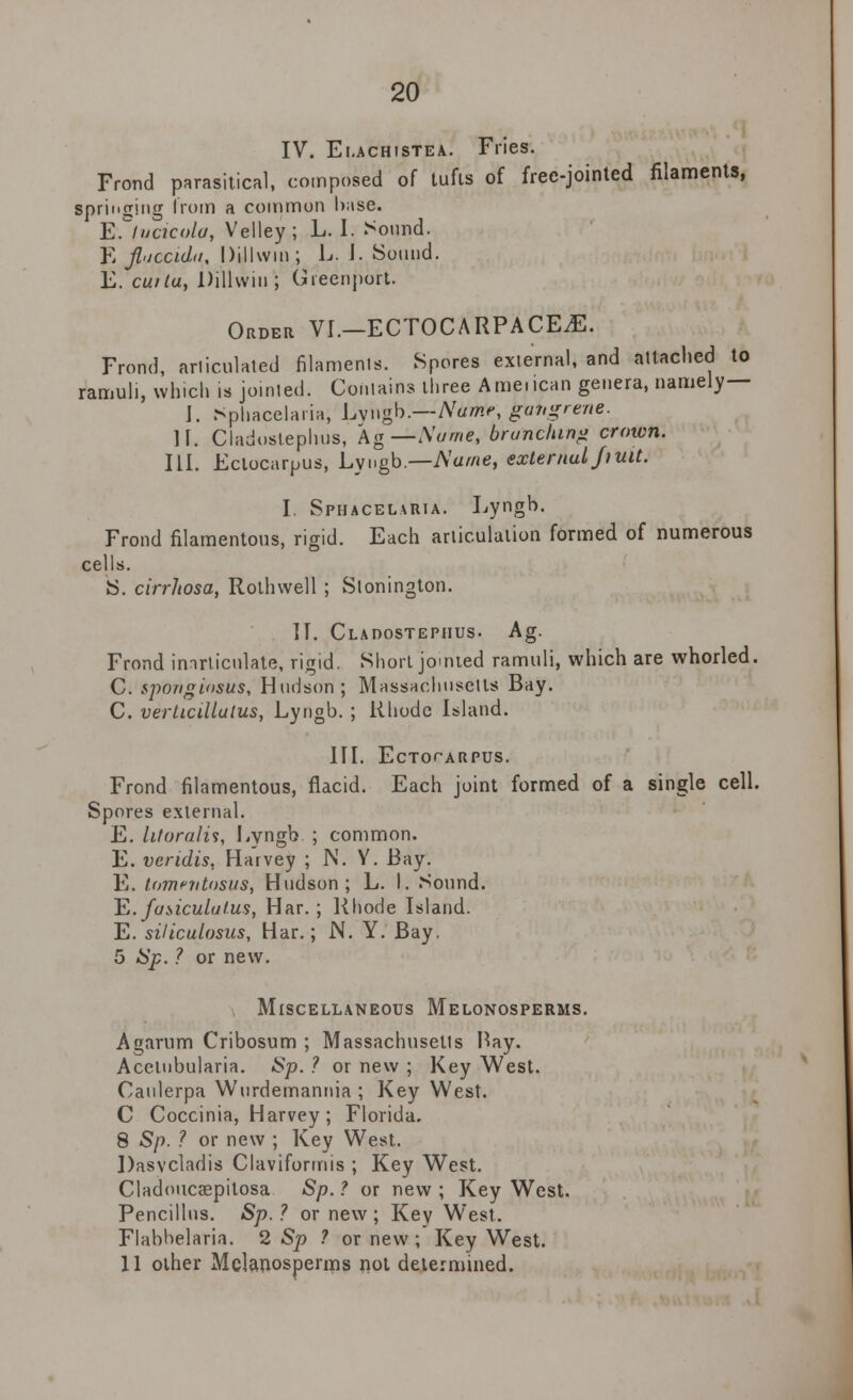 IV. Ei.achistea. Fries. Frond parasitical, composed of tufis of free-jointed filaments, springing from a common base. E. luckola, Velley ; L. I. Sound. E fluccidu, Dillwm; L. I. Sound. E. carta, Dilhvin ; Gieenport. Order VI.—ECTOCARPACEJE. Frond, articulated filaments. Spores external, and attached to ramuli, which is jointed. Contains three Amencan genera, namely— I. Sphacelaria, Lvngb.—Name, gangrene. IF. Cladostephus, Ag—Name, branching crown. III. Ectocarpus, Lvngb.—Name, external Jimt. I. Sphacelaria. Lyngb. Frond filamentous, rigid. Each articulation formed of numerous cells. S. cirrhosa, Rothwell ; Slonington. IT. Cladostephus. Ag. Frond inarticulate, rigid. Short jomted ramuli, which are whorled. C. sponghsus, Hudson; Massachusetts Bay. C. v er tic ilia tus, Lyngb. ; Rhode Island. III. ECTOTARPUS. Frond filamentous, flacid. Each joint formed of a single cell. Spores external. E. htoralis, Lyngb ; common. E. vendis, Harvey ; N. Y. Bay. E. tommtosus, Hudson; L. I. Sound. ~E.fasiculal.us, Har.; Rhode Island. E. siliculosus, Har.; N. Y. Bay. 5 Sp. ? or new. Miscellaneous Melonosperms. Agarum Cribosum ; Massachusetts Hay. Acelnbularia. i>p. ? or new ; Key West. Canlerpa Wurdemannia ; Key West. C Coccinia, Harvey; Florida. 8 Sp. ? or new ; Key West. Dasvcladis Claviformis ; Key West. Cladoucaepitosa Sp. ? or new ; Key West. Pencillns. Sp. ? or new ; Key West. Flabbelaria. 2 Sp ? or new ; Key West. 11 other Mclanosperms not determined.