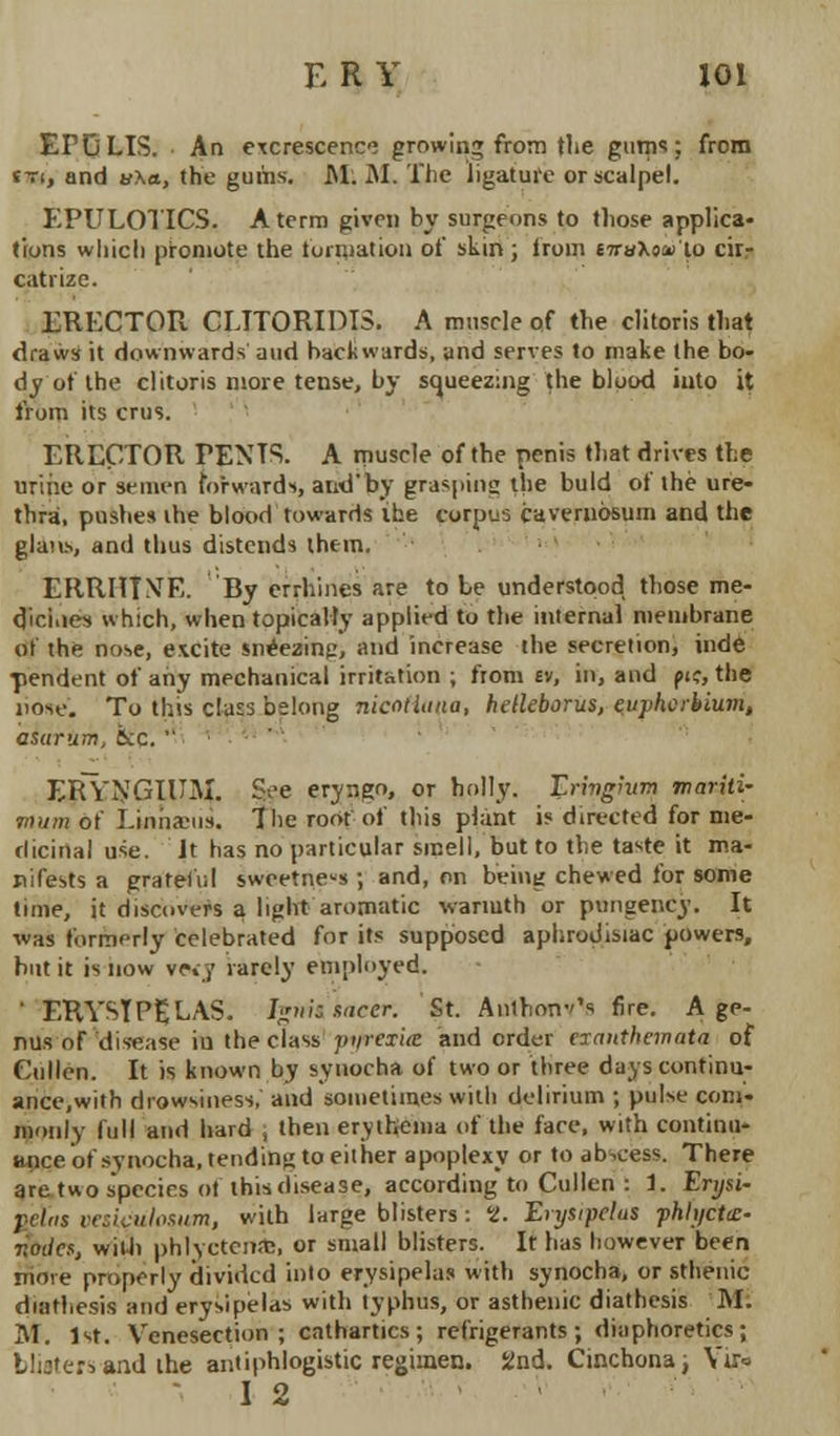 EPQLIS. An excrescence growing from the gulps; from («, and u\a, the gums. M. M. The ligature or scalpel. EPULOTICS. A term given by surgeons to those applica- tions which promote the formation of skin; iroin cirwXoai'io cir- catrize. ERECTOR CETTO RIOTS. A muscle of the clitoris that draws it downwards and backwards, and serves to make the bo- dy of the clitoris more tense, by squeezing the blood into it from its cms. ERECTOR TENTS. A muscle of the penis that drives the urine or semen forwards, and'by grasping the buld of the ure- thra, pushes the blood towards the corpus cavernosum and the glans, and thus distends them. ERRHTNE. By crrhines are to be understood those me- dici.ies which, when topically applied to the internal membrane ot the nose, excite sneezing, and increase the secretion, inde- pendent of any mechanical irritation ; from £v, in, and pic, the nose'. To this class belong nicotiuna, helleborus, qupherbium, asarum, &c.  ERYNGIUM. See eryngo, or holly. 12ringhim tnaritU mum of Lmhaeiis. The root of this plant is directed for me- dicinal use. Jt has no particular smell, but to the taste it ma- nifests a grateful sweetness ; and, on being chewed for some time, it discovers a light aromatic warmth or pungency. It was formerly celebrated for its supposed aphrodisiac powers, but it is now ve«:y rarely employed. ' ERYSTPgLAS. fymisacer. St. Anthonv's fire. A ge- nus of disease iu the class pyrexia and order exanthemata of Cullen. It is known by synocha of two or three days continu- ance,with drowsiness, and sometimes with delirium ; pulse com- monly full and hard , then erythema of the face, with continu- ance otsynocha, tending to either apoplexy or to abscess. There are two species ot this disease, according to Cullen : 1. Erijsi- jielas vesivufosum, with large blisters : 8. Erytipelia phh/ctcc- nodes, with phlyctcntt, or small blisters. It has however been more properly divided into erysipelas with synocha, or sthenic diathesis and erysipelas with typhus, or asthenic diathesis M. M. 1st. Venesection; cathartics; refrigerants; diaphoretics; blisters and. the antiphlogistic regimen. 2nd. Cinchona, Vu* • 12
