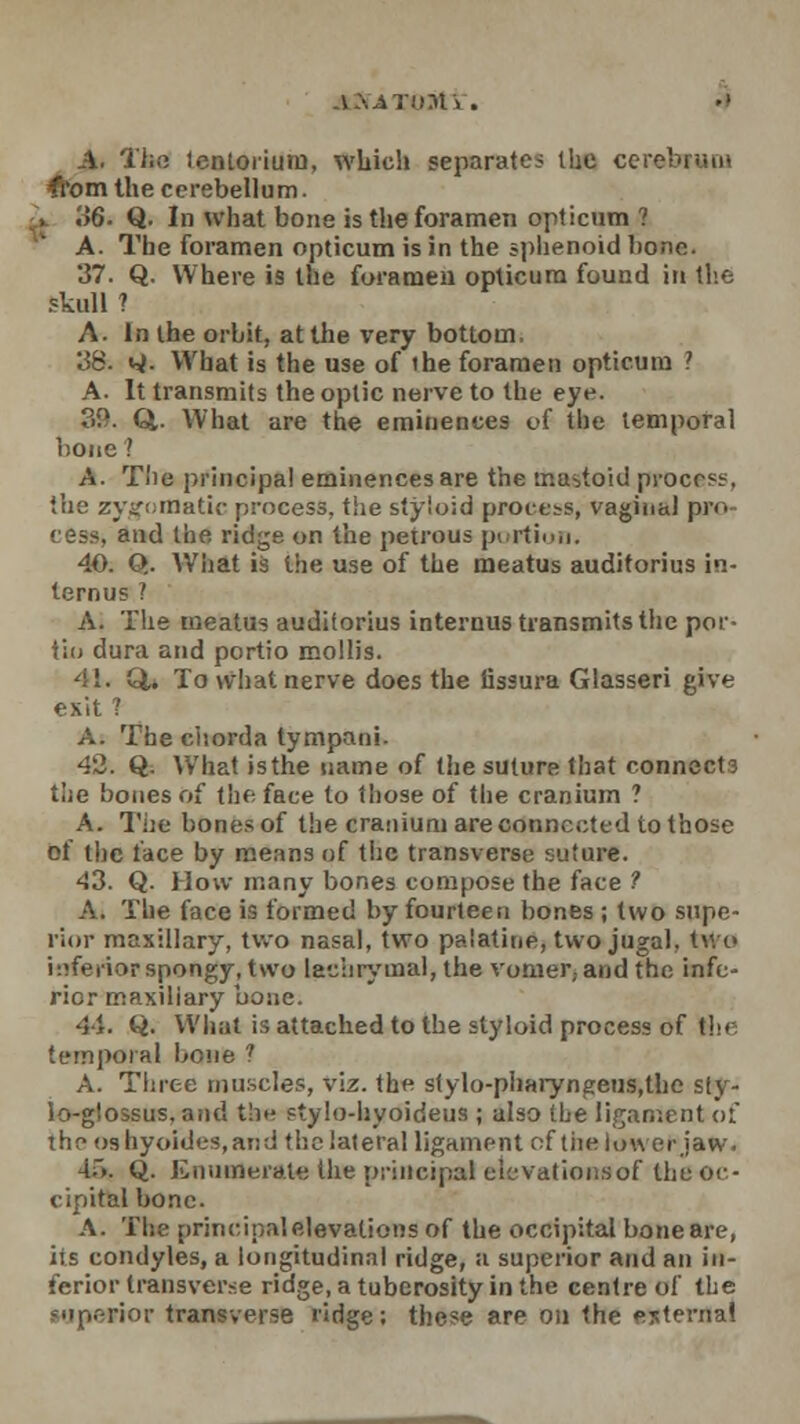 A. The tentorium, which separates the cerebrum ftotn the cerebellum. . .;6. Q. In what bone is the foramen opticum ? A. The foramen opticum is in the splienoid bono. 37. Q. Where is the foramen opticum found in the skull ? A. In the orbit, at the very bottom. 158. W- What is the use of ihe foramen opticum ? A. It transmits the optic nerve to the eye. 39. Q,. What are the eminences of the temporal bone? A. The principal eminences are the mastoid process, the zygomatic process, the styloid process, vaginal pro cess, and the ridge on the petrous portion. 40. Q. What is the use of the meatus audiforius in- ternus I A. The meatus auditorius internus transmits the por- tio dura and portio mollis. 41. Q. To what nerve does the fissura Glasseri give exit ? A. The ciiorda tympani. 42. Q. What is the name of the suture that connects the bones Of the face to those of the cranium ? A. The bones of the cranium are connected to those of the face by means of the transverse suture. 43. Q. How many bones compose the face ? A. The face is formed by fourteen bones ; two supe- rior maxillary, two nasal, two palatine, two jugal, two inferior spongy, two lachrymal, the vomer, and the infe- rior maxiliary bone. 41. Q. What is attached to the styloid process of Hie temporal bone 1 A. Three muscles, viz. the stylo-pharyngeus.the sty- lo-glossus,and tbe stylo-hyoideus ; also the ligament of theoshyoides.and the lateral ligament of the lower jaw. 4~>. Q. Enumerate the principal elcvationsof the oc- cipital bone. A. The principal elevations of the occipital bone are, its condyles, a longitudinal ridge, a superior and an in- ferior transverse ridge, a tuberosity in the centre of the superior transverse ridge; these are on the external