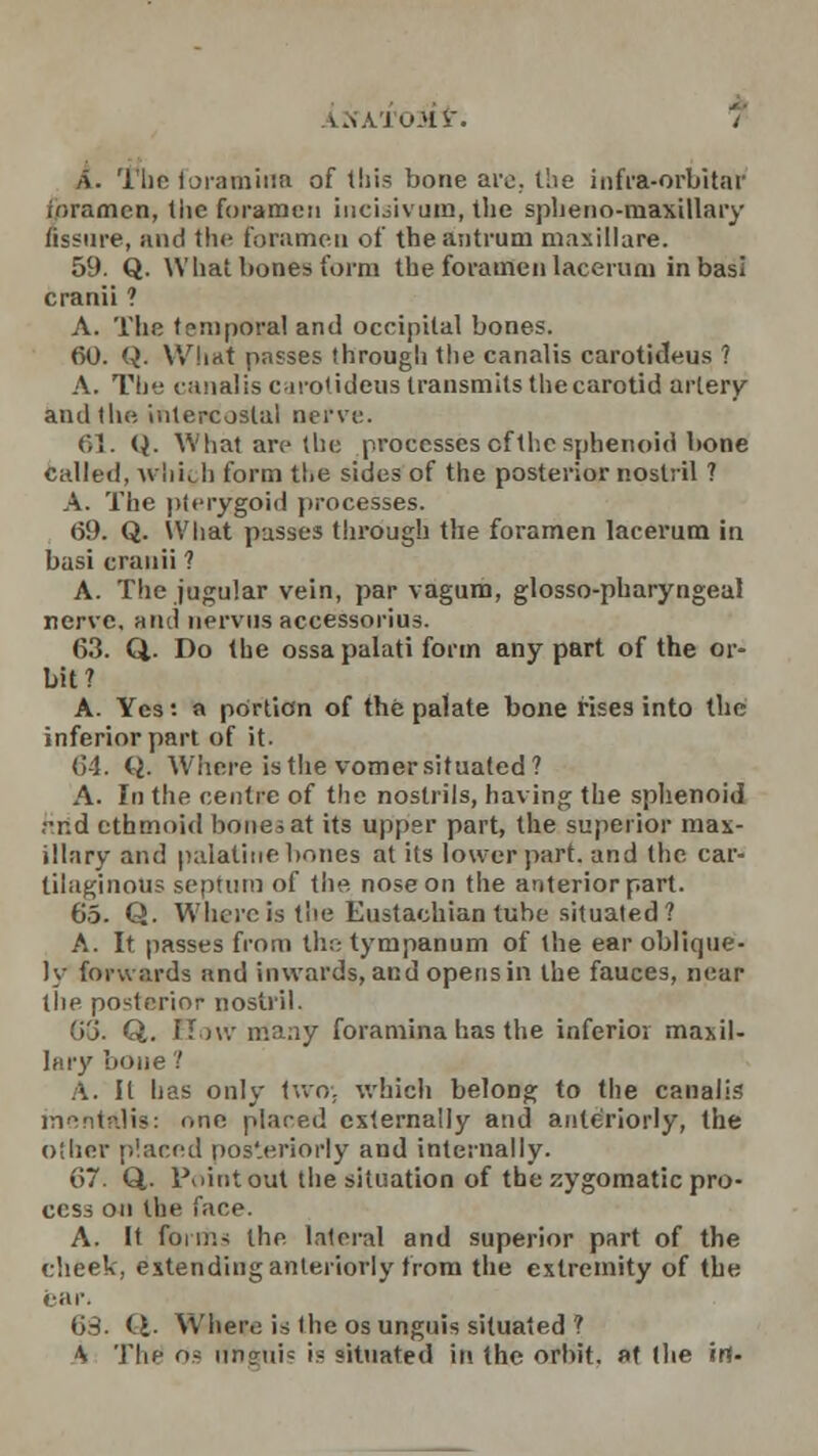 A. The foramina of this bone are. the infra-orbitar ioramcn, the foramen incisivum, the sphenomaxillary fissure, and the foramen of the antrum maxillare. 59. Q. What bones form the foramen lacerum in basi cranii ? A. Tlie temporal and occipital bones. 60. Q. What passes through the canalis carotideus ? A. The canalis carotideus transmits the carotid artery and the intercostal nerve. 61. Q. What are the processes cf the sphenoid bone called, which form the sides of the posterior nostril ? A. The pterygoid processes. 69. Q. What pusses through the foramen lacerum in basi cranii ? A. The jugular vein, par vagum, glossopharyngeal nerve, and nervus accessorius. 63. Q. Do the ossa palati form any part of the or- bit? A. Yes: a portion of the palate bone rises into the inferior part of it. 64. il- Where is the vomer situated? A. In the centre of the nostrils, having the sphenoid ■■•r.d ethmoid bones at its upper part, the superior max- illary and palatine bones at its lower part, and the car- tilaginous septum of the nose on the anterior part. 65. Q. Where is the Eustachian tube situated? A. It passes from the tympanum of the ear oblique- ly forwards and inwards, and opens in the fauces, near the posterior nostril. Go. Q. BoW nJany foramina has the inferior maxil- lary bone 1 A. It has only two. which belong to the canalis tnentidis: one placed externally and anteriorly, the other placed posteriorly and internally- 67. Q. Point out the situation of the zygomatic pro- cess on the face. A. It forms the lateral and superior part of the cheek, extending anteriorly from the extremity of the car. 63. <> Where is the os unguis situated ? \ The 09 un?ui= is situated in the orbit. «t the in-