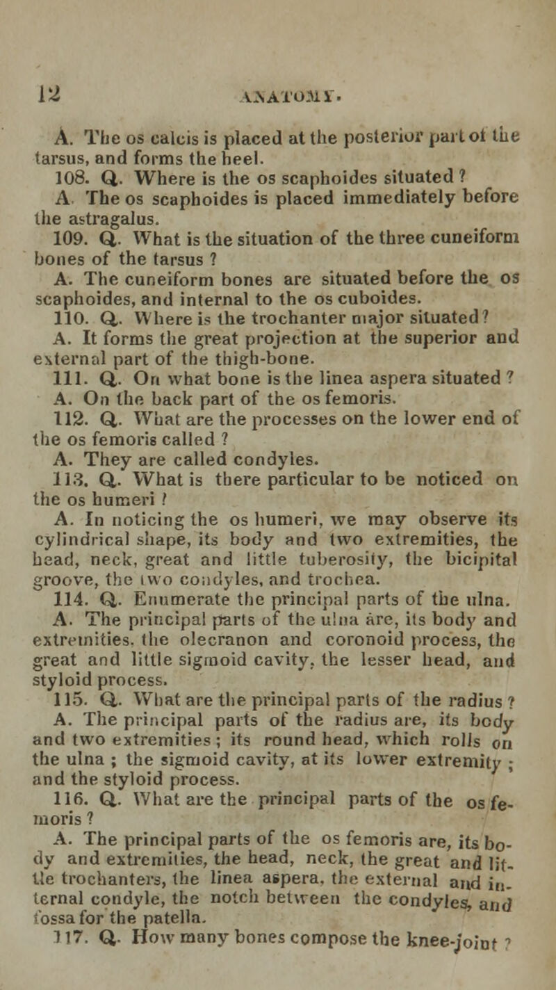 A. The os caleis is placed at the posterior partot tut tarsus, and forms the heel. 108. Q. Where is the os scaphoides situated ? A The os scaphoides is placed immediately before the astragalus. 109. Q,. What is the situation of the three cuneiform bones of the tarsus ? A. The cuneiform bones are situated before the os scaphoides, and internal to the os cuboides. 110. Q,. Where is the trochanter major situated? A. It forms the great projection at the superior and external part of the thigh-bone. 111. Q,. On what bone is the linea aspera situated ? A. On the back part of the os femoris. 112. Q,. What are the processes on the lower end of (lie os femoris called ? A. They are called condyles. 113. Q,. What is there particular to be noticed on the os humeri .' A. In noticing the os humeri, we may observe its cylindrical shape, its body and two extremities, the head, neck, great and little tuberosity, the bicipital groove, the ivvo condyles, and trochea. 114. Q,. Enumerate the principal parts of the ulna. A. The principal parts of the ulna are, its body and extremities, the olecranon and coronoid process, the great and little sigmoid cavity, the lesser head, and styloid process. 115. Q,. What are the principal parts of the radius ? A. The principal parts of the radius are, its body and two extremities; its round head, which rolls on the ulna ; the sigmoid cavity, at its lower extremity ; and the styloid process. 116. Q. What are the principal parts of the os fe- moris ? A. The principal parts of the os femoris are, its bo- dy and extremities, the head, neck, the great and lit- tle trochanters, the linea aspera. the external and in. ternal condyle, the notch between the condyles, and fossa for the patella. 117. Q. How many bones compose the knee-joint ?