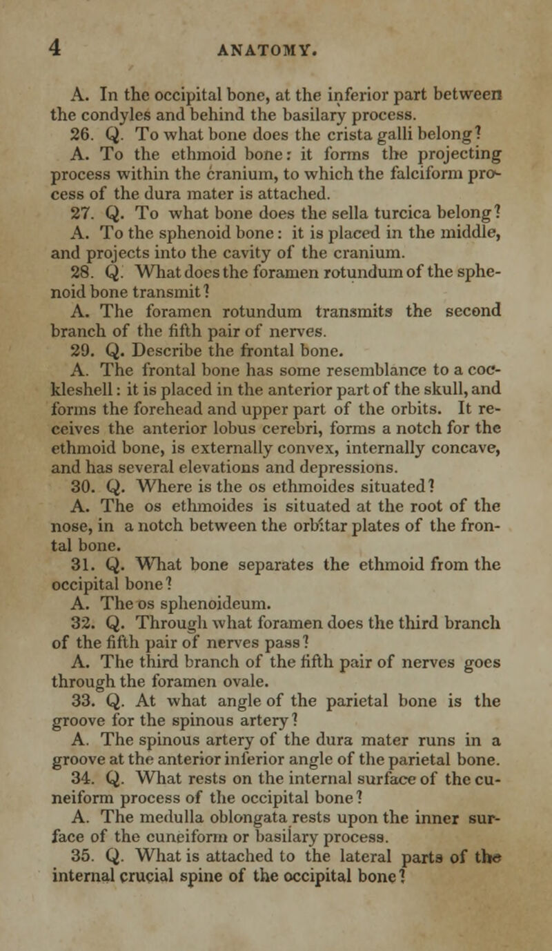 A. In the occipital bone, at the inferior part between the condyles and behind the basilary process. 26. Q. To what bone does the crista galli belong? A. To the ethmoid bone: it forms the projecting process within the cranium, to which the falciform prc*- cess of the dura mater is attached. 27. Q. To what bone does the sella turcica belong1? A. To the sphenoid bone: it is placed in the middle, and projects into the cavity of the cranium. 28. Q; What does the foramen rotundum of the sphe- noid bone transmit ? A. The foramen rotundum transmits the second branch of the fifth pair of nerves. 29. Q. Describe the frontal bone. A. The frontal bone has some resemblance to a coc- kleshell : it is placed in the anterior part of the skull, and forms the forehead and upper part of the orbits. It re- ceives the anterior lobus cerebri, forms a notch for the ethmoid bone, is externally convex, internally concave, and has several elevations and depressions. 30. Q. Where is the os ethmoides situated? A. The os ethmoides is situated at the root of the nose, in a notch between the orbitar plates of the fron- tal bone. 31. Q. What bone separates the ethmoid from the occipital bone? A. The os sphenoideum. 32. Q. Through what foramen does the third branch of the fifth pair of nerves pass ? A. The third branch of the fifth pair of nerves goes through the foramen ovale. 33. Q. At what angle of the parietal bone is the groove for the spinous artery? A. The spinous artery of the dura mater runs in a groove at the anterior inferior angle of the parietal bone. 34. Q. What rests on the internal surface of the cu- neiform process of the occipital bone ? A. The medulla oblongata rests upon the inner sur- face of the cuneiform or basilary process. 35. Q. What is attached to the lateral parts of tb<* internal crucial spine of the occipital bone ?