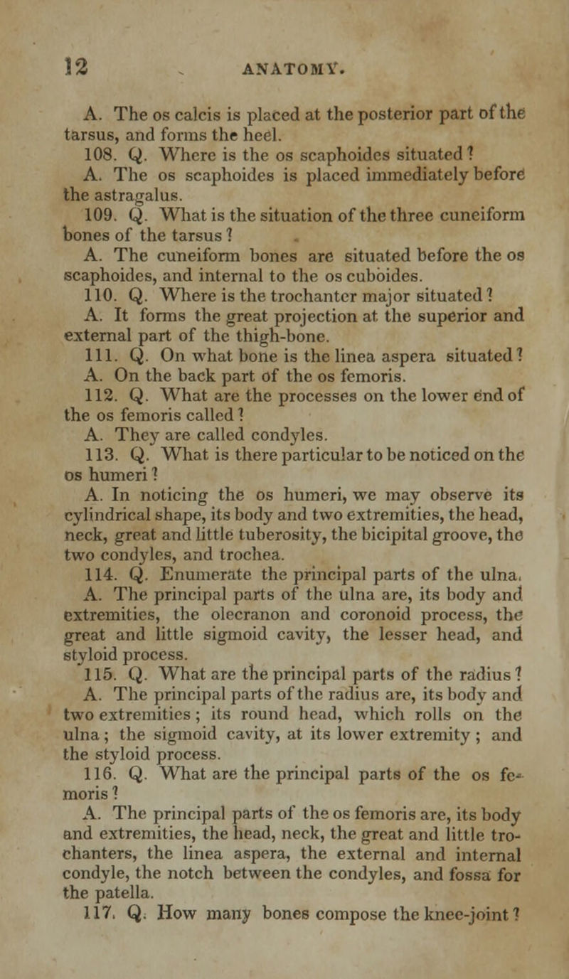 A. The os calcis is placed at the posterior part of the tarsus, and forms the heel. 108. Q. Where is the os scaphoides situated 1 A. The os scaphoides is placed immediately before the astragalus. 109. Q. What is the situation of the three cuneiform bones of the tarsus 1 A. The cuneiform bones are situated before the os scaphoides, and internal to the os cubbides. 110. Q. Where is the trochanter major situated 1 A. It forms the great projection at the superior and external part of the thigh-bone. 111. Q. On what bone is the linea aspera situated? A. On the back part of the os fcmoris. 112. Q. What are the processes on the lower end of the os femoris called 1 A. They are called condyles. 113. Q. What is there particular to be noticed on the os humeri 1 A. In noticing the os humeri, we may observe its cylindrical shape, its body and two extremities, the head, neck, great and little tuberosity, the bicipital groove, the two condyles, and trochea. 114. Q. Enumerate the principal parts of the ulna, A. The principal parts of the ulna are, its body and extremities, the olecranon and coronoid process, the great and little sigmoid cavity, the lesser head, and styloid process. 115. Q. What are the principal parts of the radius 1 A. The principal parts of the radius are, its body and two extremities; its round head, which rolls on the ulna; the sigmoid cavity, at its lower extremity; and the styloid process. 116. Q. What are the principal parts of the os fcj moris 1 A. The principal parts of the os femoris are, its body and extremities, the head, neck, the great and little tro- chanters, the linea aspera, the external and internal condyle, the notch between the condyles, and fossa for the patella. 117. Q. How many bones compose the knee-joint 1