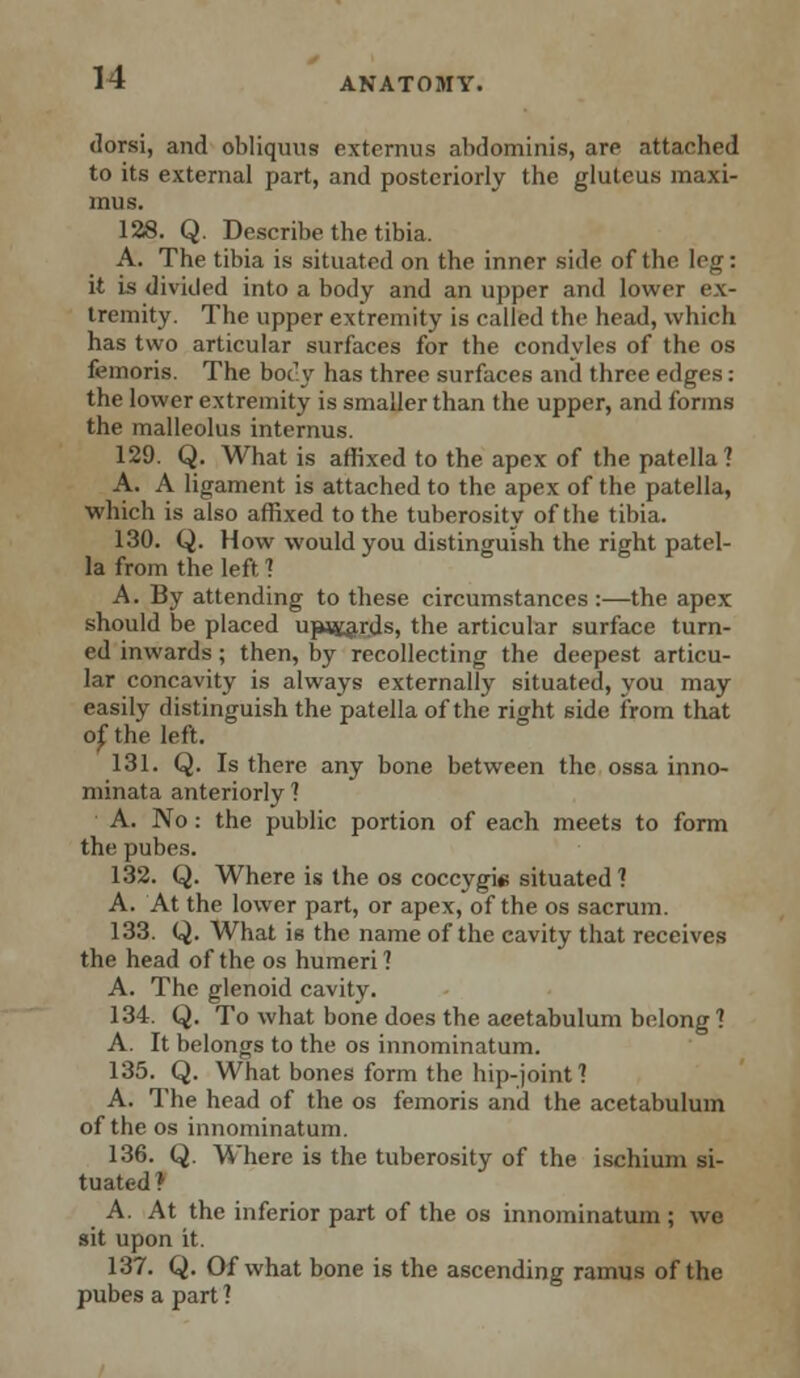 dorsi, and obliquus externus abdominis, aro attached to its external part, and posteriorly the gluteus maxi- mus. 128. Q. Describe the tibia. A. The tibia is situated on the inner side of the leg: it is divided into a body and an upper and lower ex- tremity. The upper extremity is called the head, which has two articular surfaces for the condyles of the os femoris. The boc-y has three surfaces and three edges: the lower extremity is smaller than the upper, and forms the malleolus internus. 129. Q. What is affixed to the apex of the patella? A. A ligament is attached to the apex of the patella, which is also affixed to the tuberosity of the tibia. 130. Q. How would you distinguish the right patel- la from the left 1 A. By attending to these circumstances :—the apex should be placed ujMtards, the articular surface turn- ed inwards; then, by recollecting the deepest articu- lar concavity is always externally situated, you may easily distinguish the patella of the rindvt side from that of, the left. 131. Q. Is there any bone between the ossa inno- minata anteriorly ? A. No: the public portion of each meets to form the pubes. 132. Q. Where is the os coccygie situated? A. At the lower part, or apex, of the os sacrum. 133. Q. What is the name of the cavity that receives the head of the os humeri? A. The glenoid cavity. 134. Q. To what bone does the acetabulum belong ? A. It belongs to the os innominatum. 135. Q. What bones form the hip-joint? A. The head of the os femoris and the acetabulum of the os innominatum. 136. Q. Where is the tuberosity of the ischium si- tuated } A. At the inferior part of the os innominatum ; we sit upon it. 137. Q. Of what bone is the ascending ramus of the pubes a part ?