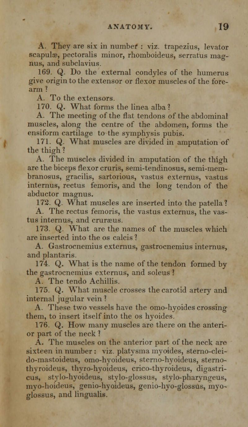 A. They are six in number : viz. trapezius, levator scapulae, pectoralis minor, rhomboideus, serratus mag- nus, and subclavius. 169. Q. Do the external condyles of the humerus give origin to the extensor or flexor muscles of the fore- arm ? A. To the extensors. 170. Q. What forms the linea alba? A. The meeting of the flat tendons of the abdominal muscles, along the centre of the abdomen, forms the ensiform cartilage to the symphysis pubis. 171. Q. What muscles are divided in amputation of the thigh ? A. The muscles divided in amputation of the thigh are the biceps flexor cruris, semi-tendinosus, semi-mem- branosus, gracilis, sartorious, vastus externus, vastus internus, rectus femoris, and the long tendon of the abductor magnus. 172. Q. What muscles are inserted into the patella? A. The rectus femoris, the vastus externus, the vas- tus internus, and cruraeus. 173. Q. What are the names of the muscles which are inserted into the os calcis ? A. Gastrocnemius externus, gastrocnemius internus, and plantaris. 174. Q. What is the name of the tendon formed by the gastrocnemius externus, and soleus ? A. The tendo Achillis. 175. Q. What muscle crosses the carotid artery and internal jugular vein ? A. These two vessels have the omo-hyoides crossing them, to insert itself into the os hyoides. 176. Q. How many muscles are there on the anteri- or part of the neck ? A. The muscles on the anterior part of the neck are sixteen in number : viz. platysma myoides, sterno-clei- do-mastoideus, omo-hyoideus, sterno-hyoideus, sterno- thyroideus, thyro-hyoideus, crico-thyroideus, digastri- cus, stylo-hyoidnus, stylo-glossus, stylo-pharyngeus, myo-hoideus, genio-hyoideus, genio-hyo-glossus, myo~ glossus, and lingualis.