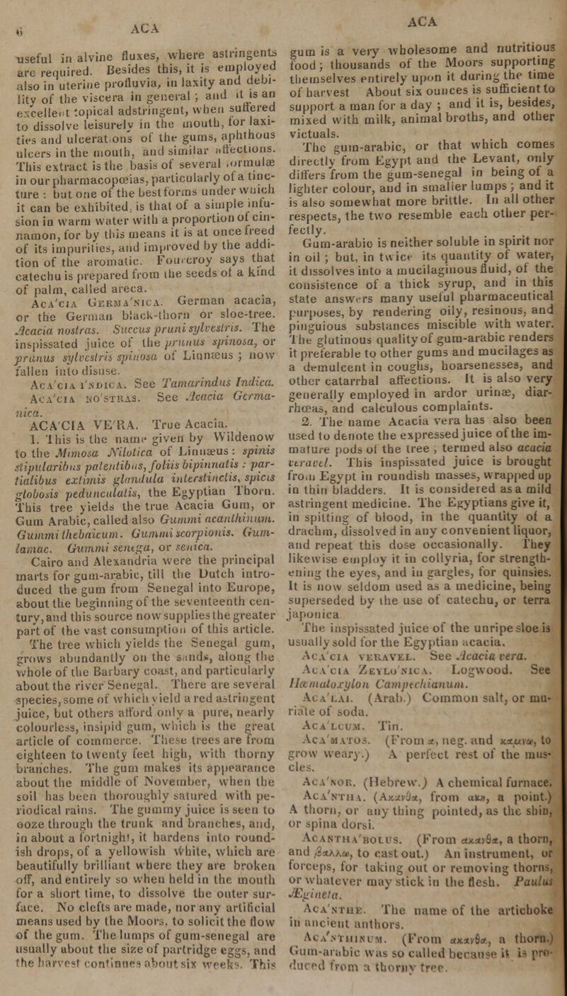 y AC A useful in alvinc fluxes, where astringents are required. Besides this, it is employed also in uterine proiluvia, in laxity and debi- lity of the viscera in general ; and it is an excellent topical adstringent, when sutlered to dissolve leisurely in the mouth, tor laxi- ties and ulceration's of the gums, aphthous ulcers in the mouth, and similar affections. This extract is the basis of several formulae in our pharmacopoeias, particularly ot a tinc- ture : but one of the best forms under winch it can be exhibited, is that of a simple infu- sion in warm water with a proportion of cin- namon, for by this means it is at once freed of its impurities, and improved by the addi- tion of the aromatic. Fourcroy says that catechu is prepared from the seeds ot a kind of palm, called areca. Aca'cia Germa'nica. German acacia, or the German black-thorn or sloe-tree. Acacia nostras. Succus pruni sylvestris. The inspissated juice of the primus spinosa, or pruuus sylvestris spinosa of Liunteus ; now fallen into disuse. Acacia i'.nuica. See Tamarindus Indica. Aca'cia ho'stkas. See Acacia Germa- nica. ACA'CIA VERA. True Acacia. 1. This is the name given by Wildenow to the Mimosa Mlotica of Linua?us: spinis stipularibus paleritibus, foliis bipinnatis : par- tialibus exlimis glnwlula interstinclis, spicis globosis pedunculitis, the Egyptian Thorn. This tree yields the true Acacia Gum, or Gum Arabic, called also Gummi acanlkinum. Gummi thebaicum. Gummi scarpionis. Gum- lamac. Gummi senega, or seuica. Cairo and Alexandria were the principal marts for gum-arabic, till the Dutch intro- duced the gum from Senegal into Europe, about the beginning of the seventeenth cen- tury, and this source now supplies the greater part of the vast consumption of this article. The tree which yields the Senegal gum, grows abundantly on the sand*, along the whole of the Barbary coast, and particularly about the river Senegal. There are several species, some of which yield a red astringent juice, but others afford only a pure, nearly colourless, insipid gum, which is the great article of commerce. These trees are from eighteen to twenty feet high, with thorny branches. The gum makes its appearance about the middle of November, when the soil has been thoroughly satured with pe- riodical rains. The gummy juice is seen to ooze through the trunk and branches, and, in about a fortnight, it hardens into round- ish drops, of a yellowish \vbite, which are beautifully brilliant where they are broken off, and entirely so when held in the mouth for a short time, to dissolve tbe outer sur- face. No clefts are made, nor any artificial means used by the Moors, to solicit the flow of the gum. The lumps of gum-senegal are usually about the size of partridge eggs, and the harvest continues about six weeks. This ACA gum is a very wholesome and nutritious food; thousands of the Moors supporting themselves entirely upon it during the time of harvest About six ounces is sufficient to support a man for a day ; and it is, besides, mixed with milk, animal broths, and other victuals. The gum-arabic, or that which comes directly from Egypt and the Levant, only differs from the gum-senegal in being of a lighter colour, and in smalier lumps ; and it is also somewhat more brittle. In all other respects, the two resemble each other per- fectly. Gum-arabic is neither soluble in spirit nor in oil ; but, in twice its quantity of water, it dissolves into a mucilaginous fluid, of the consistence of a thick syrup, and in this state answ.rs many useful pharmaceutical purposes, by rendering oily, resinous, and pinguious substances miscible with water. The glutinous quality of gum-arabic renders it preferable to other gums and mucilages as a demulcent in coughs, hoarsenesses, and other catarrhal affections. It is also very generally employed in ardor urinae, diar- rhoeas, and calculous complaints. 2. The name Acacia vera has also been used to denote the expressed juice of the im- mature pods of the tree , termed also acacia vtraoel. This inspissated juice is brought from Egypt in roundish masses, wrapped up in thin bladders. It is considered as a mild astringent medicine. The Egyptians give it, in spitting of blood, in the quantity ot a drachm, dissolved in any convenient liquor, and repeat this dose occasionally. l'hey likewise employ it in collyria, for strength- ening the eyes, and in gargles, for quinsies. It is now seldom used as a medicine, being superseded by the use of catechu, or terra japonica The inspissated juice of the unripe sloe is usually sold for the Egyptian acacia. Acacia vkuavel. See .Icacia vera. Aca'cia Zeylo'nica. Logwood. See Ilctmatoxylon Camptchianum. Ai a i.ai. (Arab.) Common salt, or mu- riate of soda. Aca'lcuai. Tin. Aca'matos. (From =r, neg. and xauvu, to grow weary.) A perfect rest of the mus- cles. Aca'nok. (Hebrew.) A chemical furnace, Aca'ntua. (Akjlv&u., from a**, a point.) A thorn, or any thing pointed, as the shin, or spina dorsi. Acartha'bolus. (From cotavfia, a thorn, and i2*KXu>, to cast out.) An instrument, or forceps, for taking out or removing thorns, or whatever may stick in the flesh. Paulus JEginela. Aca'nthe. The name of the artichoke in ancient authors. Aca'mimnlm. (From «x*v6a, a thorn.) Gum-arabic was so called because i* i duced from a thorny tree.