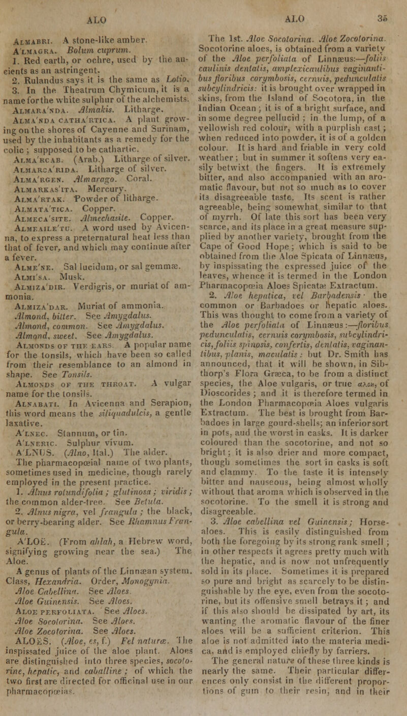 3o Almabri. A stone-like amber. A'lmac.ra. Bolum cuprum. 1. Red earth, or ochre, used by the an- cients as an astringent. 2. Rulandus says it is the same as Lotto. 3. In the Theatrum Chymicum, it is a nameforthe white sulphur of the alchemists. Almara'sda. Mmakis. Litharge. Alma'nda catha'rtica. A plant grow- ing on the shores of Cayenne and Surinam, used by the inhabitants as a remedy for the colic; supposed to be cathartic. At.ma'rcab. (Arab.) Litharge of silver. Almarca'rida. Litharge of silver. Alma'rgen. Almarago. Coral. Almarkas'ita. Mercury. Ai.ma'rtak. Powder of litharge. Ai-mata'tica. Copper. Almeca'site. Almechasile. Copper. Axmf.aile'tu. A word used by Avicen- na, to express a preternatural heat less than that of fever, and which may continue after a fever. Alme'ne. Sal lucidum, or sal gemma. Auci'sa. Musk. Almi/.a dir. Verdigris, or muriat of am- monia. Almiza'dar. Muriat of ammonia. Almond, bitter. See Amygdalus. Almond, common. See Amygdalus. Almond, swett. See Amygdalus. Aluokds of the ears. A popular name for the tonsils, which have been so called from their resemblance to an almond in shape. See Tonsils. Almo.vds of the throat. A vulgar name for the tonsil-. Al.vabati. In Avicenna and Serapion, this word means the siliquadulcis, a gentle laxative. A'lnec Stannum, or tin. A'lneric Sulphur vivum. A'LWJS. (Alno, Hal.) The alder. The pharmacopoeia! name of two plant-, sometimes used in medicine, though rarely employed in the present practice. 1. Abuts rolundifolia ; glutinosa; viridis; the common alder-tree. See Bttula. 2. Alnus nigra, vel frangula ; the black, or berry-bearing alder. See liltamnus Fran- gula. A'LOE. (From ahlah, a Hebrew word, signifying growing near the sea.) The Aloe. A genus of plants of the Linnsan system. Class, Hexnndria. Order, Monogynia. Aloe Cabdlinn. See Aloes. Aloe Guintnsis. See Aloes. Aloe perfoliata. See Aloes. Aloe Sorotorina. See Aloe. Aloe Zocotorina. See Aloes. ALOjiS. (Aloe, e.i,{.) Felnnturce. The inspissated juice of the aloe plant. Aloes are distinguished into three species, socoto- rine, hepatic, and caballine ; of which the two first are directed for officinal use in our pharrnacopo The 1st. Aloe Socotorina. Aloe Zocotorina Socotorine aloes, is obtained from a variety of the Aloe perfoliata of Linnaeus:—•foliii caulini.i dentalis, amplexicaulibus vaginanli- bus floribus corymbosis, rcrnvis, pedunculalis subeylindricis: it is brought over wrapped in skins, from the Island of Bocotora. in the Indian Ocean ; it is of a bright surface, and in some degree pellucid ; in the lump, of a yellowish red colour, with a purplish cast; when reduced into powder, it is of a golden colour. It is hard and friable in very cold weather; but in summer it softens very ea- sily betwixt the fingers. It is extremely bitter, and also accompanied with an aro- matic flavour, but not so much as to cover its disagreeable taste. Its scent is rather agreeable, being somewhat similar to that of myrrh. Of late this sort has been very scarce, and its place in a great measure sup- plied by another variety, brought from the Cape of Good Hope; which is said to be obtained from the Aloe Spicata of Linnaeus, by inspissating the expressed juice of the leaves, whence it is termed in the London Pharmacopoeia Aloe; Spicatai Extractum. 2. Aloe hepatica, id Barbadensis ■ the common or Barbadoes or hepatic aloes. This was thought to come from a variety of the Aloe perfoliata of Linnaeus :—-floribus pedunculatis, cernuis corymbosis, sulcylindri- cis,foliis spinosisr conferlis, denlatis, vaginan- tibus. plants, maculatis: but Dr. Smith has announced, that it will be shown, in Sib- thorp's Flora Grajca, to be from a distinct species, the Aloe vulgaris, or true a>.on, of Dioscorides ; and it is therefore termed in the London Pharmacopoeia Aloes vulgaris Extractum. The best is brought from Bar- badoes in large gourd-shells; an inferiorsort in pols, aud the worst in casks. It is darker coloured than the socotorine, and not so bright ; it is also drier and more compact, though sometimes the sort in casks is soft and clammy. To the taste it is intensely bitter and nauseous, being alnrost wholly without that aroma which is observed in the socotorine. To the smell it is strong and disagreeable. 3. Aloe cabellina vel Guinensis; Horse- aloes. This is easily distinguished from both the foregoing by its strong rank smell ; in other respects it agrees pretty much with the hepatic, and is now not unfrequently sold in its place. Sometimes it is prepared so pure and bright as scarcely to lie distin- guishable by the eye, even from the socoto- rine, but its offensive smell betrays it ; and if this also should be dissipated by art, its wanting the aromatic flavour of the finer aloes will be a sufficient criterion. This aloe is not admitted into the materia medi- ca, and is employed chiefly by farriers. The general nature of these three kinds is nearly the same. Their particular differ- ences only consist in the different propor- tions of gum to their resin; and in their