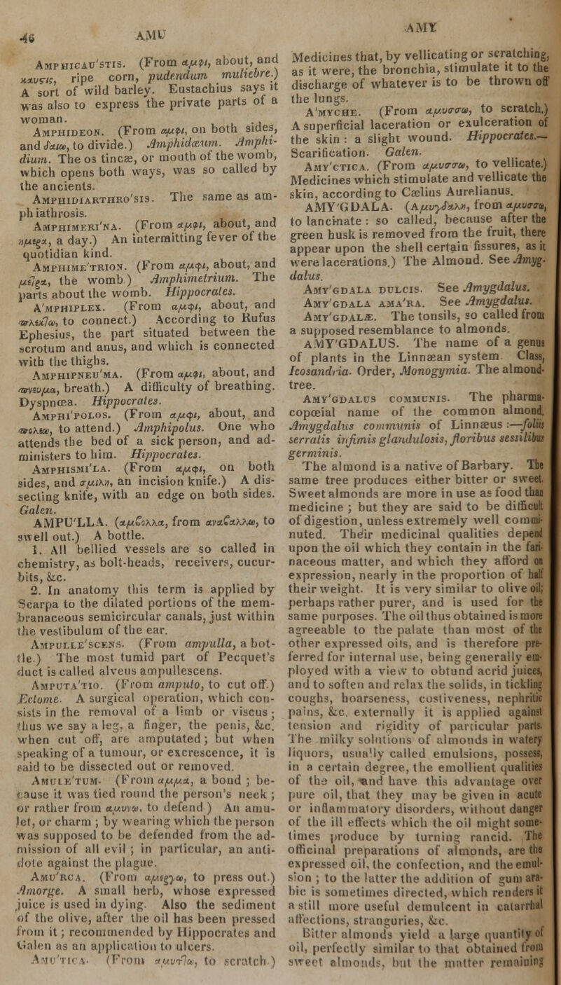 AMU Amphicau'stis. (From *pn, about, and xxvn;, ripe corn, pudendum muhtbre.) A sort of wild barley. Eustachius says it was also to express the private parts of a woman. . Amphideon. (From ayifi, on both sides, and Jkw., to divide.) Amphiddum. Jtmphi- dium. The os tincae, or mouth ot the womb, which opens both ways, was so called by the ancients. Amphidiarthro'sis. The same as am- phiathrosis. Amphimeri'na. (From *w, about, and Hf**g*, a day.) An intermitting fever of the quotidian kind. Amphime'trion. (From */x<j>/, about, and fxilgx, the womb) Amphimetrium. The parts about the womb. Hippocrates. A'mphiplex. (From a,uyi, about, and vrxutlce, to connect.) According to Kufus Ephesius, the part situated between the scrotum and anus, and which is connected with the thighs. Amphipneu'ma. (From a/juft, about, and wiufjia, breath.) A difficulty of breathing. Dyspncea. Hippocrates. Amphi'polos. (From ajuqi, about, and -woxac, to attend.) Amphipolus. One who attends the bed of a sick person, and ad- ministers to him. Hippocrates. Amphismi'ea. (From a.f*qt, on both sides, and (r/ut.tM, an incision knife.) A dis- secting knife, with an edge on both sides. Galen. AMPU'LLA. {x/xStK\a., from <wa£*K>M, to swell out.) A bottle. 1. All bellied vessels are so called in chemistry, as bolt-heads, receivers, cucur- bits, &.C. 2. In anatomy this term is applied by Scarpa to the dilated portions of the mem- branaceous semicircular canals, just within the veslibulum of the ear. Ampulle'sckns. (From ampulla, a bot- tle.) The most tumid part of Pecquet's duct is called alveus ampullescens. Amputa'tio. (From amputo, to cut oft') Ectome. A surgical operation, which con- sists in the removal of a limb or viscus ; thus we say a leg, a finger, the penis, &c. when cut off, are amputated; but when speaking of a tumour, or excrescence, it is paid to be dissected out or removed. Amule'tum- (Vvom u/u/ux, a bond ; be- cause it was tied round the person's neck ; or rather from *[avw, to defend ) An amu- let, or charm ; by wearing which the person was supposed to be defended from the ad- mission of all evil ; in particular, an anti- dote against the plague. Amu'rca. (From a/Mgyu, to press out) Amorce. A small herb, whose expressed juice is used in dying. Also the sediment of the olive, after the oil has been pressed from it; recommended by Hippocrates and Galen as an application to ulcers. Amu'tica. (From xuvrlv, to scratch) AMY Medicines that, by vellicating or scratching, as it were, the bronchia, stimulate it to the discharge of whatever is to be thrown off the lungs. A'myche. (From uy.vtrcru, to scratch.) A superficial laceration or exulceration of the skin : a slight wound. Hippocrates.— Scarification. Galen. Amy'ctica. (From ay.v<r<rui, to vellicate.) Medicines which stimulate and vellicate the skin, according to Caelius Aurelianus. AMY'G DAL A. (A/uvyfxM, from ttpvwu, to lancinate : so called, because after the green husk is removed from the fruit, there appear upon the shell certain fissures, as it were lacerations.) The Almond. SeeAmyg- dolus. Amy'gdala dulcis. See Amygdalus. Amy'gdala ama'ra. See Amygdalus. Amy'ddal^:. The tonsils, so called from a supposed resemblance to almonds. AMYGDALUS. The name of a genus of plants in the Linnaean system Class, Icosandria. Order, Monogymia. The almond- tree. Amy'gdalus communis. The pharma- copceial name of the common almond. Amygdalus communis of Linnaeus :—folw serratis infimis glandulosis, floribus sessilibm germinis. The almond is a native of Barbary. The same tree produces either bitter or sweet. Sweet almonds are more in use as food thai medicine ; but they are said to be difficult of digestion, unless extremely well commi- nuted. Thefir medicinal qualities depend upon the oil which they contain in the fari- naceous matter, and which they afford on expression, nearly in the proportion of half their weight. It is very similar to olive oil; perhaps rather purer, and is used for the same purposes. The oil thus obtained is more agreeable to the palate than most of the other expressed oils, and is therefore pre- ferred for internal use, being generally em- ployed with a view to obtund acrid juices, and to soften and relax the solids, in tickling coughs, hoarseness, costiveness, nephritic pains, &c. externally it is applied against tension and rigidity of particular parls. The milky solutions of almonds in watery liquors, usually called emulsions, possess, in a certain degree, the emollient qualities of the oil, tind have this advantage over pure oil, that they may be given in acute or inflammatory disorders, without danger of the ill effects which the oil might some- limes produce by turning rancid. The officinal preparations of almonds, are the expressed oil, the confection, and the emul- sion ; to the latter the addition of gum ara- bic is sometimes directed, which renders it a still more useful demulcent in catarrhal affections, stranguries, fee. Bitter almonds yield a large quantity of oil, perfectly similar to that obtained f'roiu ' almonds, hut the matter remaining