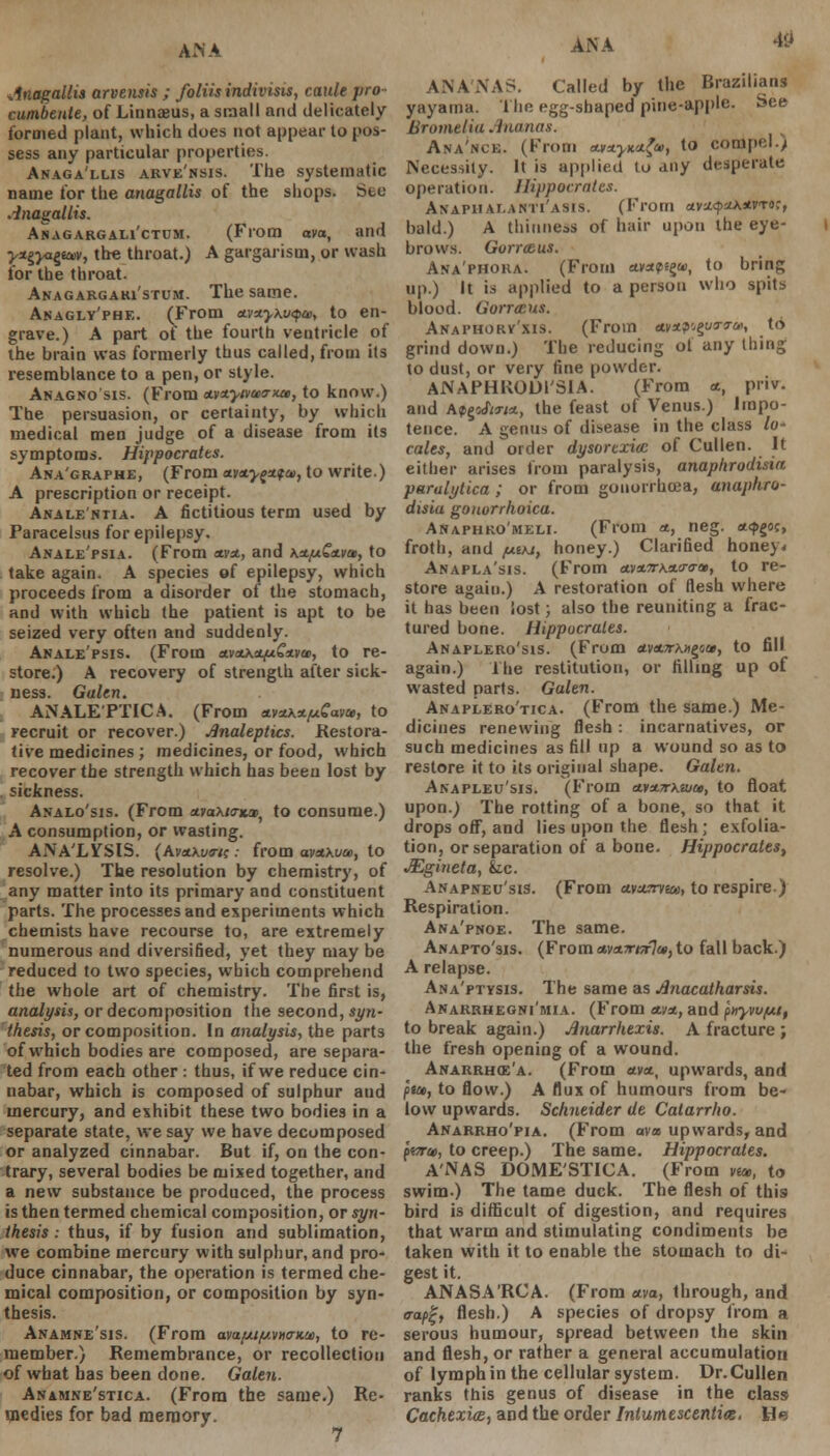 Jnagallia arvensis ; foliisindivisis, caule pro cumbenle, of Linnaeus, a small and delicately formed plant, which does not appear to pos- sess any particular properties. Anaga'llis arve'nsis. The systematic name for the anagallis of the shops. See Anagallis. Asagargah'ctum. (From avo, and yugyagw, the throat.) A gargarism, or wash tor the throat. Anagargakistum. The same. Anagly'phe. (From uMxyw^u, to en- grave.) A part of the fourth ventricle of the brain was formerly thus called, from its resemblance to a pen, or style. Anagno'sis. (From uMAyivceo-xa, to know.) The persuasion, or certainty, by which medical men judge of a disease from its symptoms. Hippocrates. Ana'graphe, (From amy^ai, to write.) A prescription or receipt. Anale'ntia. A fictitious term used by Paracelsus for epilepsy. Anale'psia. (From a.va., and hx/xCuva, to take again. A species of epilepsy, which proceeds from a disorder of the stomach, and with which the patient is apt to be seized very often and suddenly. Anale'psis. (From *vtt\z/x£*va>, to re- store.) A recovery of strength after sick- ness. Galen. ANALEPTIC A. (From Av^x/uCwai, to recruit or recover.) Analeptics. Restora- tive medicines; medicines, or food, which recover the strength which has been lost by sickness. Analo'sis. (From avox/<rx», to consume.) A consumption, or wasting. ANA'LYSIS. (Ava.\vo-t;: from am\ua>, to resolve.) The resolution by chemistry, of any matter into its primary and constituent parts. The processes and experiments which chemists have recourse to, are extremely numerous and diversified, yet they may be reduced to two species, which comprehend the whole art of chemistry. The first is, analysis, or decomposition the second, syn- thesis, or composition. In analysis, the parts of which bodies are composed, are separa- ted from each other : thus, if we reduce cin- nabar, which is composed of sulphur and mercury, and exhibit these two bodies in a separate state, we say we have decomposed or analyzed cinnabar. But if, on the con- trary, several bodies be mixed together, and a new substance be produced, the process is then termed chemical composition, or syn- thesis : thus, if by fusion and sublimation, we combine mercury with sulphur, and pro- duce cinnabar, the operation is termed che- mical composition, or composition by syn- thesis. Anamne'sis. (From ava/jLi/jtvua-Km, to re- member.) Remembrance, or recollection of what has been done. Galen. Anamne'stica. (From the same.) Re- medies for bad memory. ANA 49 ANANAS. Called by the Brazilians yayama. Hie egg-shaped pine-apple. See Eromelia Ananas. Ana'ncb. (From awxyKtifa, to compel.) Necessity. It is applied to any desperate operation. Hippocrates. ANAriivr-ANTiAsis. (From uvu.^cix*vto;, bald.) A thinness of hair upon the eye- I brows. Gorrceus. Ana'phoka. (From etvapsgw, to bring up.) It is applied to a person who spits blood. Gorrtcus. Anaphorv'xis. (From airapsgwo-*, to grind down.) The reducing ot any thing to dust, or very fine powder. ANAPHRODI'SIA. (From *, priv. and Apgcftcr/*, the feast of Venus.) Impo- tence. A genus of disease in the class lo- cales, and order dysorcxiaz of Cullen. It either arises from paralysis, anaphrodisia paralytica ; or from gonorrhoea, anaphro- disia gonorrhoica. Anaphko'meli. (From *, neg. *<?>goc, froth, and y.iKt, honey.) Clarified honey. Anapla'sis. (From eLva.7r\a.<r<rv, to re- store again.) A restoration of flesh where it has been lost; also the reuniting a frac- tured bone. Hippocrates. Anaplero'sis. (From *v*7rx>ig5», to fill again.) The restitution, or filling up of wasted parts. Galen. Anaplero'tica. (From the same.) Me- dicines renewing flesh: incarnatives, or such medicines as fill up a wound so as to restore it to its original shape. Galen. Anapleu'sis. (From ctvx7rka>ce, to float upon.) The rotting of a bone, so that it drops off, and lies upon the flesh ; exfolia- tion, or separation of a bone. Hippocrates^ JEgineta, kc. Anapneu'sis. (From ctvaxyiu, to respire) Respiration. Ana'pnoe. The same. Anapto'sis. (From umiraflat) to fall back.) A relapse. Ana'ptysis. The same as Anacatharsis. Anarrhegni'mia. (From aa±, and piryw/u, to break again.) Anarrhexis. A fracture ; the fresh opening of a wound. Anarrhce'a. (From avat, upwards, and put, to flow.) A flux of humours from be- low upwards. Schneider de Catarrho. Anarrho'pia. (From ava upwards, and j>«r», to creep.) The same. Hippocrates. ANAS DOME'STICA. (From via,, to swim.) The tame duck. The flesh of this bird is difficult of digestion, and requires that warm and stimulating condiments be taken with it to enable the stomach to di- gest it. ANASA'RCA. (From *ra, through, and cap!;, flesh.) A species of dropsy from a serous humour, spread between the skin and flesh, or rather a general accumulation of lymph in the cellular system. Dr. Cullen ranks this genus of disease in the class Cachexies, and the order Iniumescenties. He