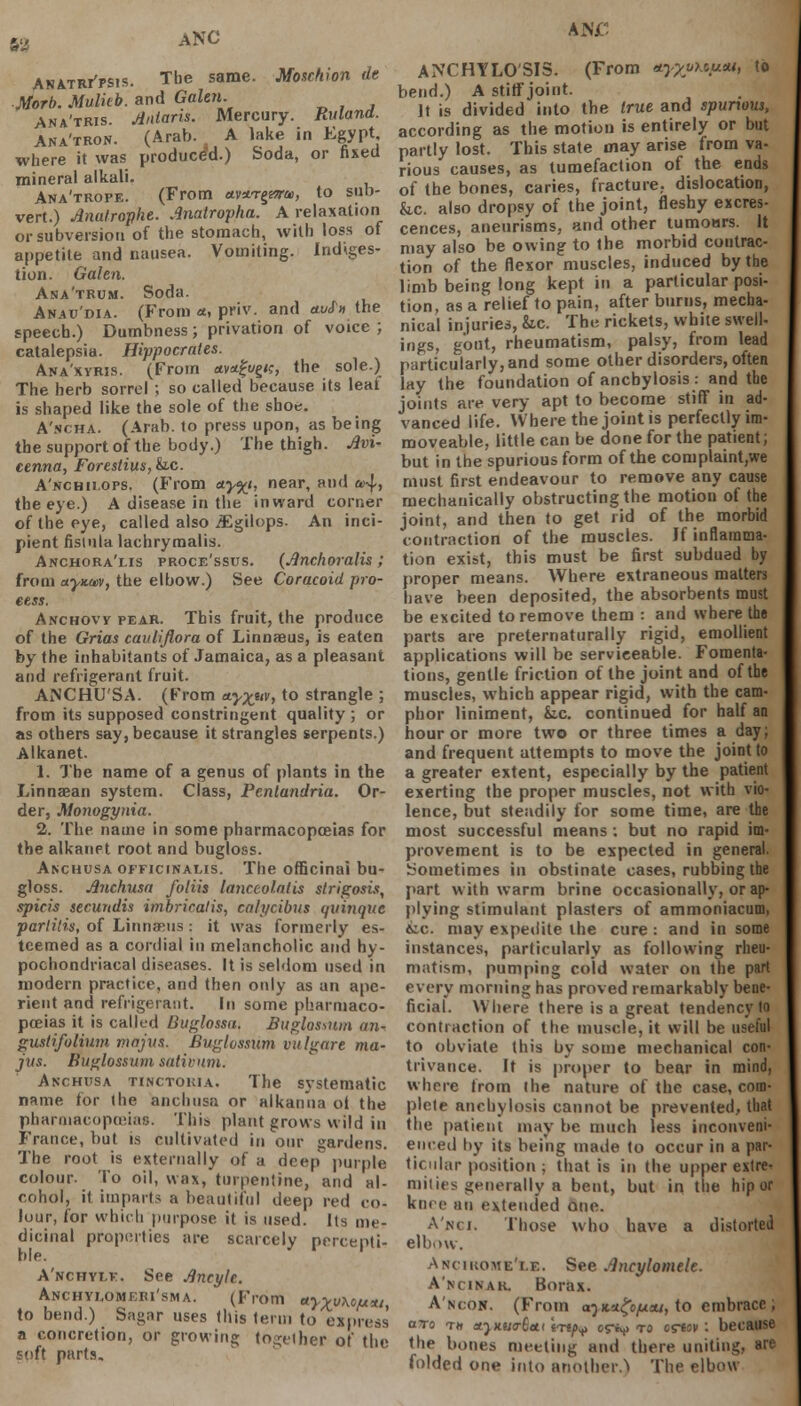 M ANC Anatrt'psis. The same. Moschion de ■Merb. Mulieb. and Galen. Ana'tris. Anions. Mercury. Ruland. Ana'tron. (Arab. A lake in Egypt where it was produced.) Soda, or fixed mineral alkali. Ana'trope. (From etv*.nr%0ru>, to sub- vert.) Analrophe. Jnatropha. A relaxation or subversion of the stomach, with loss of appetite and nausea. Vomiting. Indiges- tion. Galen. Ana'trum. Soda. Anav'dia. (From a, priv. and au£>i the speech.) Dumbness; privation of voice ; catalepsia. Hippocrates. Ana'xyris. (From av*£v§<c, the sole.) The herb sorrel ; so called because its leaf is shaped like the sole of the shoe. A'ncha. (Arab, to press upon, as being the support of the body.) The thigh. Avi- cenna, Forestius, k.c. A'nchii.ops. (From *y%i, near, and a>4> the eye.) A disease in the inward corner of the eye, called also iEgilops. An inci- pient fistula lachryraalis. Anchora'ms proce'ssus. (Anchoralis; from ccyKivv, the elbow.) See Coracoid pro- cess. Anchovy pear. This fruit, the produce of the Grias cavliflora of Linnaeus, is eaten by the inhabitants of Jamaica, as a pleasant and refrigerant fruit. ANCHUSA. (From etyjftiv, to strangle ; from its supposed constringent quality ; or as others say, because it strangles serpents.) Alkanet. 1. The name of a genus of plants in the Linnaean system. Class, Penlandria. Or- der, Monogynia. 2. The name in some pharmacopoeias for the alkanet root and bugloss. Anchusa officinalis. The officinal bu- gloss. Jinchusa foliis lanceolatis slrigosis, spicis securtdis imbricatis, calycibus quinqut partilis, of Linnffius : it was formerly es- teemed as a cordial in melancholic and hy- pochondriacal diseases. It is seldom used in modern practice, and then only as an ape- rient and refrigerant. In some pharmaco- poeias it is called Buglossu. Buglossum an- gustifoKum majus. Buglosnim vulgare ma- jus. Buglossitm sativum. Anchusa tinctohia. The systematic name for the anchusa or alkanna oi the pharmacopoeias. This plant grows wild in France, but is cultivated in our gardens. The root is externally of a deep purple colour. To oil, wax, turpentine, and al- cohol, il imparts a beautiful deep red co- lour, for which purpose it is used. Its me- dicinal properties are scarcely percepti- ble. A'nchylk. See Ancylr. Anchylomeri'sma. (From uy^y\ofxti, to bend.) Sagar uses this term to express a concretion, or growing together of the soft parts. A«£ ANCHYLOSIS. (From nyxutopM, to bend.) A stiff joint. It is divided into the true and spurwus, according as the motion is entirely or but partly lost. This state may arise from va- rious causes, as tumefaction of the ends of the bones, caries, fracture, dislocation, fac. also dropsy of the joint, fleshy excres- cences, aneurisms, and other tumoars. It may also be owing to the morbid contrac- tion of the flexor muscles, induced by the limb being long kept in a particular posi- tion, as a relief to pain, after burns, mecha- nical injuries, he. The rickets, white swell- ings, gout, rheumatism, palsy, from lead particularly, and some other disorders, often lay the foundation of anchylosis : and the joints are very apt to become stiff in ad- vanced life. Where the joint is perfectly im- moveable, little can be done for the patient; but in the spurious form of the complaint,we must first endeavour to remove any cause mechanically obstructing the motion of the joint, and then to get rid of the morbid contraction of the muscles. If inflamma- tion exist, this must be first subdued by proper means. Where extraneous matters have been deposited, the absorbents must be excited to remove them : and where the parts are preternaturally rigid, emollient applications will be serviceable. Fomenta- tions, gentle friction of the joint and of the muscles, which appear rigid, with the cam- phor liniment, he. continued for half an hour or more two or three times a day; and frequent attempts to move the joint to a greater extent, especially by the patient exerting the proper muscles, not with vio- lence, but steadily for some time, are the most successful means; but no rapid im- provement is to be expected in general. Sometimes in obstinate cases, rubbing the part with warm brine occasionally, or ap- plying stimulant plasters of ammoniacum, he. may expedite the cure : and in some instances, particularly as following rheu- matism, pumping cold water on the part every morning has proved remarkably bene- ficial. Where there is a great tendency to contraction of the muscle, it will be useful to obviate this by some mechanical con- trivance. It is proper to bear in mind, where from the nature of the case, com- plete anchylosis cannot be prevented, that the patient may be much less inconveni- enced by its being made to occur in a par- ticular position ; that is in the upper extre- mities generally a bent, but in the hip or knee an extended one. A'nci. Those who have a distorted elbow. Anc-iuome'le. See Ancylomele. A'ncinar. Borax. A'ncon. (From 05k*£o/j.iu, to embrace ; qto t» n^nua-dttt trip*? or«v to cTtov: because the bones meeting and there uniting, are folded one into another.) The elbow