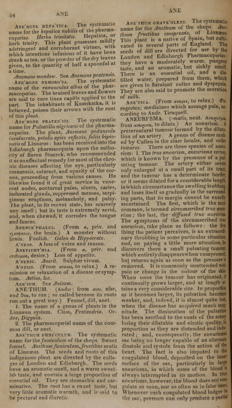 Ane'mone hepa'tica. The systematic name for the hepatica nobilis of the pharma- copoeias. Herba trinilatis. Hepatica, or herb trinity. This plant possesses mild y adstringent and corroborant virtues, with which intentions infusions of it have been drank as tea. or the powder of the dry leaves given, to the quantity of half a spoonful at a time. Anemone meadow. See Anemone pralensis. Ane'mone nemoro'sa. The systematic name of the ranunculus albus of the phar- macopoeias. The bruised leaves and flowers are said to cure tinea capitis applied to the part. The inhabitants of Kamskatka, it is believed, poison their arrows with the root of this plant. Ane'mone praten'sis. The systematic name for Pulsatilla nigricans of the pharma- copoeias. The plant, Anemone pedunculo involucrato, petalis apice refitris, foliis bipin- natis of Linnaeus : has been received into the Edinburgh pharmacopoeia upon the autho- rity of Baron Stoerck, who recommended it as an effectual remedy for most of the chro- nic diseases affecting the eye, particularly amaurosis, cataract, and opacity of the cor- nea, proceeding from various causes. He likewise found it of great service in vene- real nodes, nocturnal pains, ulcers, caries, indurated glands, suppressed menses, serpi- ginous eruptions, melancholy, and palsy. The plant, in its recent state, has scarcely any smell ; but its taste is extremely acrid, and, when chewed, it corrodes the tongue and fauces. Anence'phalus. (From <*, priv. and tyx(Q*.x<ic, the brain.) A monster without brain. Foolish. Galen de Hippocrate. A'neos. A loss of voice and reason. Anepithy'mia. (From <*, priv. and imbvpi*., desire.) Loss of appetite. A'neric Anerit. Sulphur vivum. A'nesis. (From avmui, to relax.) A re- mission or relaxation of a disease or symp- tom. Aetius, &c. Ane'sum. See Anisum. ANE'THUM. (Av»6ov. from avzj, afar, and S-s», to run ; so called because its roots run out a great way.) Fennel, dill, anet. 1. The name of a genus of plants in the Linnaean system. Class, Pentandria. Or- der, Digynia. 2. The pharmacopceial name of the com- mon dill, or anet. Ane'thum fceni'cuxum. The systematic name forthe/nsjfrcw/ujn of the shops. Sweet fennel. Anetbumfoiniculum,fructibus oralis of Linnaeus. The seeds and roots of this indigenous plant are directed by the colle- ges of London and Edinburgh. The seeds have an aromatic smell, and a warm sweet- ish taste, and contain a large proportion of essential oil. They are stomachic and car- minative. The root has a sweet taste, but very little aromatic warmth, and is sftid to be pectoral and diuretic A*E Ane'thum grave'oless. The systematic name for the Anclhum of the shops. Ane. thum fructibus compressis, of Linnaeus. This plant is a native of Spain, but culti- vated in several parts of England. The seeds of dill are directed for use by the London and Edinburgh Pharmacopoeias: they have a moderately warm, pungent taste, and an aromatic, but sickly smell. There is an essential oil, and a dis- tilled water, prepared from them, which are given in flatulent colics and dyspepsia. They are also said to promote the secretion of milk. Ane'tica. (From etvuifjn, to relax.) Pa- regorics; medicines which assuage pain, ac- cording to Andr. Tiraquell. ANEURl'SMA. {-malis, neut. Avai^r/it, from awguva, to dilate.) An aneurism. A preternatural tumour formed by the dilata- tion of an artery. A genus of disease rank- ed by Cullen in the class locales, and order lumores. There are three species of aneu- rism: 1. The true aneurism, aneurisma rerun, which is known by the presence of a pul- sating tumour. The artery either seems only enlarged at a small part of its tract, and the tumour has a determinate border, or it seems dilated for a considerable length, inwhich circumstancethe swelling isoblong, and loses itself so gradually in the surround- ing parts, that its margin cannot be exactly ascertained. The first, which is the most common, is termed circumscribed true aneu- rism ; the last, the diffused true anevrim. The symptoms of the circumscribed (me aneurism, take place as follows : the first thing the patient perceives, is an extraordi- nary throbbing in some particular situation, and, on paying a little more attention, h« discovers there a small pulsating tumour, which entirely disappears when compressed, but returns again as soon as the pressure i; removed. It is commonly unattended with pain or change in the colour of the skin When once the tumour has originated. H continually grows larger, and at length at- tains a very considerable size. In proportion as it becomes larger, its pulsation become? weaker, and, indeed, it is almost quite lost, when the disease has acquired much mag- nitude. The diminution of the pulsation has been ascribed to the coats of the artery losing their dilatable and elastic quality, in proportion as they are distended and indu- rated ; and, consequently, the aneurisma! sac being no longer capable of an alternate diastole and systole from the action of the heart. The fact is also imputed to the coagulated blood, deposited on the inner surface of the sac, particularly in large aneurisms, in which some of the blood is always interrupted in its motion. In true aneurisms, however, the blood does not coa- gulate so soon, nor so often as in talse ones. Whenever such coagulated blood lodge? in the sac, pressure can only produce a partial