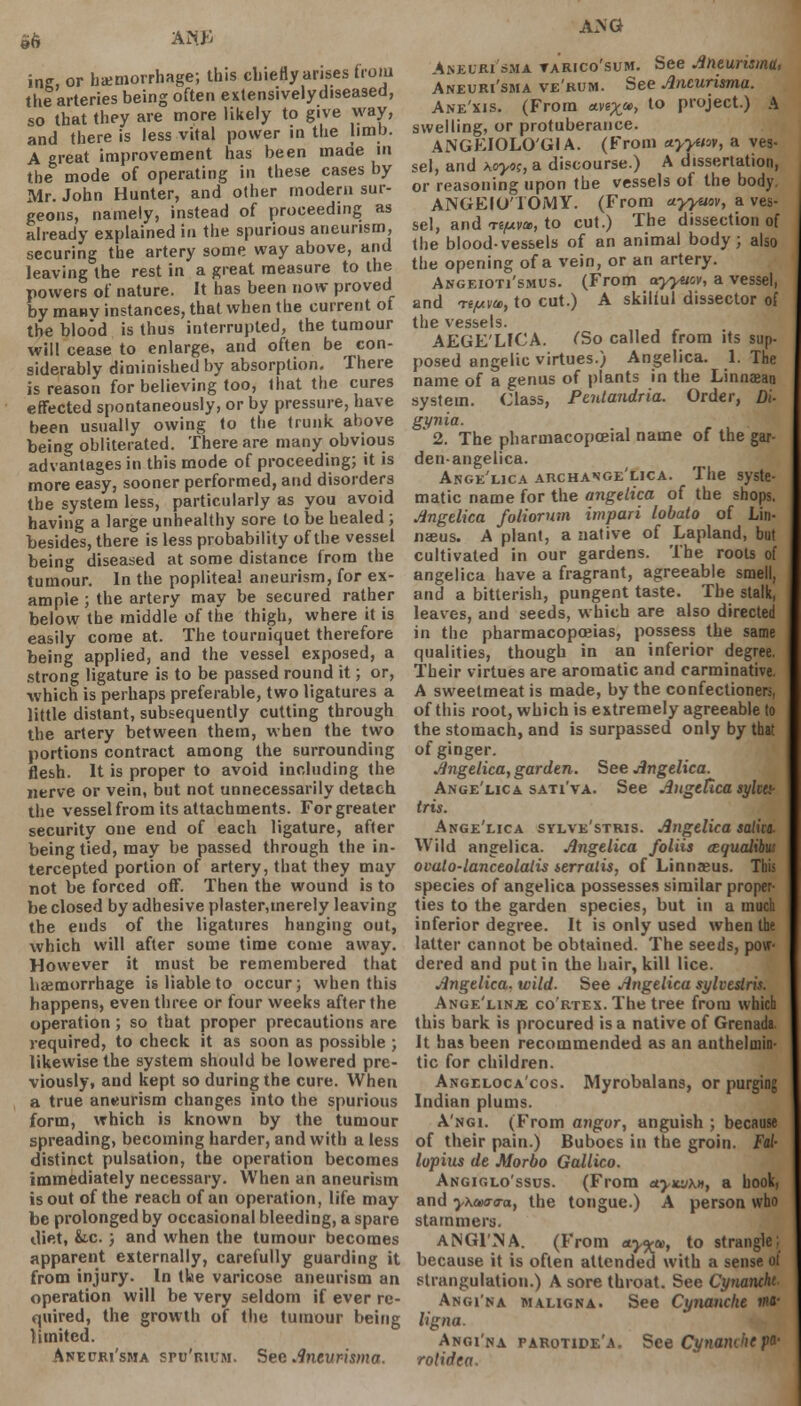 inz, or haemorrhage; this chiefly arises from the arteries being often extensivelydiseased, so that they are more likely to give way, and there is less vital power in the limb. A great improvement has been maae in the mode of operating in these cases by Mr. John Hunter, and other modern sur- geons, namely, instead of proceeding as already explained in the spurious aneurism, securing the artery some way above, and leaving the rest in a great measure to the powers of nature. It has been now proved by mawy instances, that when the current of tbe blood is thus interrupted, the tumour will cease to enlarge, and often be con- siderably diminished by absorption. There is reason for believing too, that the cures effected spontaneously, or by pressure, have been usually owing to the trunk above being obliterated. There are many obvious advantages in this mode of proceeding; it is more easy, sooner performed, and disorders the system less, particularly as you avoid having a large unhealthy sore to be healed ; besides, there is less probability of the vessel being diseased at some distance from the tumour. In the popliteal aneurism, for ex- ample ; the artery may be secured rather below the middle of the thigh, where it is easily come at. The tourniquet therefore being applied, and the vessel exposed, a strong ligature is to be passed round it; or, which is perhaps preferable, two ligatures a little distant, subsequently cutting through the artery between them, when the two portions contract among the surrounding flesh. It is proper to avoid including the nerve or vein, but not unnecessarily detacb the vessel from its attachments. For greater security one end of each ligature, after being tied, may be passed through the in- tercepted portion of artery, that they may not be forced off. Then the wound is to be closed by adhesive plaster,merely leaving the ends of the ligatures hanging out, which will after some time come away. However it must be remembered that haemorrhage is liable to occur; when this happens, even three or four weeks after the operation ; so that proper precautions are required, to check it as soon as possible ; likewise the system should be lowered pre- viously, and kept so during the cure. When a true aneurism changes into the spurious form, which is known by the tumour spreading, becoming harder, and with a less distinct pulsation, the operation becomes immediately necessary. When an aneurism is out of the reach of an operation, life may be prolonged by occasional bleeding, a spare diet, &.c. ; and when the tumour becomes apparent externally, carefully guarding it from injury. In tke varicose aneurism an operation will be very seldom if ever re- quired, the growth of the tumour being limited. .^nepri'sma sru'muM. See Ancvrisma. ANG Aneuri sma tarico'sum. See Aneunsma, Aneuri'sma ve'rum. See Ancurisma. Ane'xis. (From *v%a>, to project.) A swelling, or protuberance. ANGEIOLO'GIA. (From ctyyvov, a ves- sel, and hoyos, a discourse.) A dissertation, or reasoning upon the vessels of the body. ANGEIO TOMY. (From ayyuov, a ves- sel, and Tip™, to cut.) The dissection of the blood-vessels of an animal body; also the opening of a vein, or an artery. Angeioti'smus. (From ayyucv, a vessel, and Ttfxm, to cut.) A skilful dissector of the vessels. AEGE'LICA. CSo called from its sup- posed angelic virtues.) Angelica. 1. The name of a genus of plants in the Linnaeao system. Class, Pentandria. Order, Di- gynia. 2. The pharuiacopceial name of the gar- den-angelica. Ange'lica archange'lica. The syste- matic name for the angelica of the shops. Angelica foliorutn imparl lobato of Lin- naeus. A plant, a native of Lapland, but cultivated in our gardens. The roots of angelica have a fragrant, agreeable smell, and a bitterish, pungent taste. The stalk, leaves, and seeds, which are also directed in the pharmacopoeias, possess the same qualities, though in an inferior degree. Their virtues are aromatic and carminative. A sweetmeat is made, by the confectioners, of this root, which is extremely agreeable to the stomach, and is surpassed only by that of ginger. Angelica, garden. See Angelica. Ange'lica sati'va. See AngeCica sykti- tris. Ange'lica sylve'stris. Angelica satin. Wild angelica. Angelica foliis eequalibus ocato-lanceolalis serralis, of Linnaeus. This species of angelica possesses similar proper- ties to the garden species, but in a much inferior degree. It is only used when the latter cannot be obtained. The seeds, pow- dered and put in the hair, kill lice. Angelica, wild. See Angelica sylvesiris. Ange'lin* cortex. The tree from which this bark is procured is a native of Grenada It has been recommended as an anthelmin- tic for children. Angeloca'cos. Myrobalans, or purging Indian plums. A'ngi. (From angor, anguish ; because of their pain.) Buboes in the groin. Fal- lopius de Morbo Gallico. Angiglo'ssds. (From etyituXM, a hook, and y\a>tr<ra, the tongue.) A person who stammers. ANG1'»A. (From etymon, to strangle; because it is often attended with a sense of strangulation.) A sore throat. See Cynancht Angi'na maligna. See Cynancht ma- ligna. Angi'na parotide'a. See Cynanthe pa- rol idea.