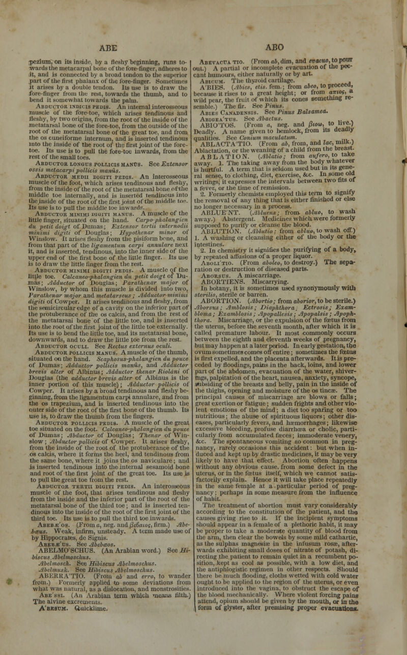 ABE :pezium, on its inside, by a fleshy beginning, runs to- wards the metacarpal hone of the fore-finger, adheres to it, and is connected by a broad tendon to the superior part Of the first phalanx or'the lore-finger. Sometimes it arises by a double tendon. Its use is to draw the fore-finger from the rest, towards the thumb, and to bend it somewhat towards the palm. Abductor indicis pedis. An internal interosseous muscle of the fore-toe, which arises tendinous and fleshy, by two origins, from the root of the inside of the metatarsal bone of the fore-toe, from the outside of the root of the metatarsal bone of the great toe, and from the os cuneiforme internum, and is inserted tendinous into the inside of the root of the first joint of the fore- toe. Its use is to pull the fore-toe inwards, from the rest of the small toes. Abductor longus pollicis manus. See Extensor ossis metacarpipollicis mantis. Abductor medii digiti pedis. An interosseous muscle of the foot, which arises tendinous and fleshy, from the inside of the root of the metatarsal bone ofthe middle toe internally, and is inserted tendinous into the inside ofthe root of the first joint ofthe middle toe. Its use is to pull the middle toe inwards. Abductor minimi digiti manus. A muscle of the Utile finger, situated on the hand. Carpo-phalangicn du petit doigl of Dumas; Extensor tertii internodii 'minimi dtjilt of Douglas; Hupothcnar -minor of Winslow. It arises fleshy from the pisiform bene, and from that part of the lie-amentum carpi annulare next it, and is inserted, tendinous, into the inner side of the upper end of the first bone of the little finger. Its us« is to draw the little finger from the rest. Abductor minimi digiti pedis. A muscle of the little toe. Calcaneo-phalangien da petit doigt of Du- mas ; Adductor of Douglas; Parathtnar major of Winslow, by whom this muscle is divided into two, Paralhcnar major and metatarseus; Adductor minimi dig-iti of Cowper. It arises tendinous and fleshy, from the semicircular edge of a cavity on the inferior part of the protuberance of the os calcis, and from the rest of the metatarsal bone of the little toe, and is inserted into the root of the first joint of the little toe externally. Its use is to bend the little toe, and its metatarsal bone, downwards, and to draw the little toe from the rest. Abductor oculi. See Rectus extcrnus oculi. Abductor pollicis manus. A muscle of the thumb, situated on the hand. Scaphosus-phalangicn dapouce of Dumas; Adductor pollicis man&s, and Adductor brevis alter of Albinus; Adductor thenar Rioldni of Douglas (the adductor brevis alter of Albinus is the inner portion of this muscle); Adductor pollicis of Cowper. It arises by a broad tendinous and fleshy be- ginning, from the ligamentum carpi annulare, and from the os trapezium, and is inserted tendinous into the outer side of the root of the first bone of the thumb. Its use is, to draw the thumb from the fingers. Abductor pollicis pedis. A muscle of the great toe situated on the foot. Calcaneo-phalangien du pouce of Dumas; Abductor of Douglas; Thenar of Win- slow ; Abductor pollicis of Cowper. It arises fleshy, from the inside of the root of the protuberance of the os calcis, where it forms the heel, and tendinous from the same bone, where it joins the os naviculare; and is inserted tendinous into the internal sesamoid bone and root of the first joint of the great toe. Its use is to pull the great toe from the rest. Abductok tertii digiti pedis. An interosseous muscle of the foot, that arises tendinous and fleshy from the inside and the inferior part of the root of the metatarsal bone of the third toe; and is inserted ten- dinous into the inside of the root of the first joint of the third toe. Its use is to pull the third toe inwards. Abeb«'os. (Prom a, neg. and (Idaioc, firm.) Abe- hir.us. Weak, infirm, unsteady. A term made use of by Hippocrates, de Signis. Abebje'us. See Abebaos. ABELMO'SCHUS. (An Arabian word.) See Hi- biscus Abelnwsckus. Abelmosch. See Hibiscus Abelmoschus. Abelmusk. See Hibiscus Abelmoschus. ABKRRA'TIO. (From ab and erro, to wander from.) Formerly applied to some deviations from what was natural, as a dislocation, and monstrosities. Abe'ssi. (An Arabian term which means filth.) The alvine excrements. A'besum. Quicklime. ABO Abevactja tio. (From ab, dim, and evacuo, to pom out.) A partial or incomplete evacuation of the pec- cant humours, either naturally or by art. : m. The thyroid cartilage. A 'HIES. (Mies, etis. fem.; from abeo, to proceea, because it rises to a great height; or from amos, a wild pear, the fruit of which its cones something re- semble.) The fir. See Pinus. Abies Canadensis. See Pinus Balsamea. Abigea'tus. See Abactus. ABIO'TOS. (From a, neg. and piou, to uve-J Deadly. A name given to hemlock, from its deadly qualities. See Cotiium maculatum. ABLACTA'TIO. (From ab, from, and Zac,mUK.) Ablactation, or the weaning of a child from the breast. ABLATION. (Ablatio; from aufero, to taKe away. 1. The taking away from the body whatever is hurtful. A term that is seldom used but in its gene- ral sense, to clothing, diet, exercise, &c. In some old writings, it expresses the intervals between two fits of a fever, or the time of remission. 2. Formerly chemists employed this term to signify the removal of any thing that is either finished or else no longer necessary in a process. ABLUE'NT. (Abluens; from abluo, to wash away.) Abstergent. Medicines which were formerly supposed to purify or cleanse the blood. ABLUTION. (Ablatio; from abluo, to wash off.) 1. A washing or cleansing either of the body or the intestines. 2. In chemistry it signifies the purifying of a body, by repeated affusions of a proper liquor. Aboli'tio. (From aboleo, to destroy.) The sepa- ration or destruction of diseased parts. Aborsus. A miscarriage. ABOKTIENS. Miscarrying. In botany, it is sometimes used synonymously with sterilis, sterile or barren. ABORTION. (Abortio; from dborior, to be sterile.) Aborsus; Amblosis; Diaphthora, Ectrosis; Exam- bloma; Examblosis; Apopallcsis; Apopalsis ; Apoph- thora. Miscarriage, or the expulsion of the foetus from the uterus, before the seventh month, after which it is called premature labour. It most commonly occurs between the eighth and eleventh weeks of pregnancy, but may happen at a later period. In early gestation, the ovum sometimes comes off entire; sometimes the foetus is first expelled, and the placenta afterwards. Itis pre- ceded by floodings, pains in the back, loins, and lower part of the abdomen, evacuation of the water, shiver- mgs, palpitation of the heart, nausea, anxiety, syncope, subsiding of the breasts and belly, pain in the inside of the thighs, opening and moisture ofthe os tincae. The principal causes of miscarriage are blows or falls; great exertion or fatigue; sudden frights and other vio- lent emotions of the mind; a diet too sparing or too nutritious; the abuse of spirituous liquors; other dis- eases, particularly fevers, and haemorrhages; likewise excessive bleeding, profuse diarrhoea or cholic, parti- cularly from accumulated faxes; immoderate venery, &c. The spontaneous vomiting so common in preg- nancy, rarely occasions this accident: but when in- duced aud kept up by drastic medicines, it may be very likely to have that eflect. Abortion often happens without any obvious cause, from some defect in the uterus, or in the foetus itself, which we cannot satis- factorily explain. Hence it will take place repeatedly in the same female at a. particular period of preg- nancy ; perhaps in some measure from the influence of habit. The treatment of abortion must vary considerably according to the constitution of the patient, and the causes giving rise to it. If the incipient symptoms should appear in a female of a plethoric habit, it may be proper to take a moderate quantity of blood from the arm, then clear the bowels by some mild cathartic, as the sulphas magnesia; in the infusum rosae, after- wards exhibiting small doses of nitrate of potash, di- recting the patient to remain quiet in a recumbent po- sition, kept as cool as possible, with a low diet, and the antiphlogistic regimen in other respects. Should there be much flooding, cloths wetted with cold water ought to be applied to the region of the uterus, or even introduced into the vagina, to obstruct the escape of the blood mechanically. Where violent forcing pains attend, opium should be given by the mouth, or In the | form of glyster, after premising proper evacuations.