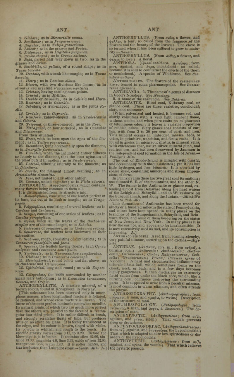 S. Globose; as In MercuHalis annua. 3. Semilunar; as in Fragaria vesca. 4. Angular; as in Tulipa gesneriana. 5. Linear; as in the grasses and Protea. 6. Uidymous; as in Vigitalis purpurea. 7. Arrow-shaped; as in Crocus satiuus. 8 ^yid, parted bail' way down in two ; as in the grasses and Erica. 9. Shield-like, or peltate, of a round shape; as in Taxus baccata. 10. Ventate, with a tooth-like margin; as in Taxus baccata. 11. Hairy ; as in Lamium album. 12. Bitorn, with two divisions like horns; as In Arbutus uva ursi and Vaccinium myrtillus. 13. Cristate, having cartilaginous points. 14. Crucial; as in Mellitis. 15. Double or twin-like; as in Callisia and I Jar a. 16. Rostrate; as in Osbeckia. 17. SitouZate, or awl-shaped; as in the genus iJo- ella. 18. Gwdate; as in Cupraria. 19. Reniform, kidney-shaped; as in Tradescantia and Oinora. 20. Trigonal, or three-cornered ; as in the /Jose. 21. Tetragonal, or four-cornered, as in Cannabis and Dictamnus. From their situation: 22. Erect, with its base upon the apex of the fila- ment ; as in Tulipa gesneriana. 23. Incumbent, lying horizontally upon the filament, as in Amaryllis formossima. 24. Versatile, when the incumbent anther adheres so loosely to the filament, that the least agitation of the plant puts it in motion ; as in Secale cereale. 25. Lateral, adhering laterally to the filament; as in Dianthera. 26. Sessile, the filament almost wanting; as in Aristolochia clematitis. 27. Free, not united to any other anther. 28. Connate, united together; as in Viola odorata. ANTHODITJM. A species ofcalyx, which contains many flowers being common to them all. It is distinguished from its structure into, 1. Mvnophijllous, consisting of one leaflet perfect at its base, but cut at its limb or margin ; m in Tragn- pogon. 2. Polyphyllous, consisting of several leaflets; as in Carduus and Centaurea. 3. Simple, consisting of one series of leaflets; as in Cacalia porophyllum. 4. Equal, when all the leaves of the Anthodium simplex are of the same length, as in Ethu, 5. Jmbrecate or squamosc, as in Centauna cyanus. 6. Squarrose, the leaflets bent backward at their extremities. 7. Scabrous, rough, consisting of dry leaflets; as in Centaurea glastifolia and jacea. 8. Spinous, the leaflets having thorns; as in Cynaa scolymus and Centaurea snnt , 9. Turbinate; as in Tarconanthus camphoratus. 10. Globose ; as in Centaurea calcitrapa. 11. Hemispherical, round below and flat above; as in Anthemis and Chrysocoma. 12. Cylindrical, long and round; as with Eupato- rium. 13. Calcyculate, the basts surrounded by another small leafy anthodium; as in Lcontodon taraxacum, Senecio, and Orepis. ANTHOPHYLLITE. A massive mineral, of a brown colour, found at Konigsberg, in Norway. [This substance has been observed only in amor- phous masses, whose longitudinal fracture is foliated, or radiated, and whose cross fracture is uneven. The lustre of the most perfect laminae is somewhat metallic. Its natural joints, of which two are much more perfect than the others, are parallel to the faces of a rectan- gular four-sided prism. It is rather difficult to break, and strongly scratches fluate of lime, but produces little or no effect on glass. It is feebly translucent at the edges, and its colour is brown, tinged with violet. Its powder is whitish, and rough to the touch. Its specific gravity varies from 3.11, to 3.29. Before the blow-pipe it is infusible. It contains silex 62.66, alu- minel3 33, magnesia 4.0, lime 3.33, oxide of iron 12.00, manganese 3.-Jj, water 1.43. It is softer, lighter, and has It*.-lustre, thai. Labrador stone.—GVtuu. Min. A.] 72 J ANTHOPHY'LLUS. (From av0oc, a flower, and (pvWov, a leaf; so called from the Iragance of the flowers and the beauty of the leaves.) The clove is BO lei inecl when it has been suffered to grow to matu- rity.— Bauhin. ANTHOPHY'LLUS. (From avOoc, a flower, and 0iXtta), to love.) A tlorist. A'NTlloRA. (Quasi antilhora. Avridopa ; from am, against, and Sopa, monkshood: so called, because it is said to counteract the effects of the thorn or monkshood.) A species of Wolfsbane. See Aco- nitum anthora. A'nthos florks. The flowers of the rosmarinus are so tinned in some pharmacopoeias. See Rosma- rinus officinalis. A H Til U A'CI A. 1. The name of a genus of diseases in Good's Nosology. See Nosology. 2. A name of the carbuncle. See Anthrax. ANTHRACITE. Blind coal, Kilkenny coal, or glance coal. There are three varieties, conchoidal, slaty, and columnar. [When pulverized and heated, it becomes red, and slowly consumes with a very light lambent flame, without smoke, and when pure emits no sulphureous or bituminous odour; it leaves a variable proportion of reddish ashes. Slaty glance coal consists of car- bon, with from 3 to 30 per cent, of earth and iron. This mineral occurs in imbedded masses, bods, or veins, in primitive, transition, and lloetz rocks. It is found in gneiss, in micaceoucshistus, in mineral veins, with calcareous spar, native silver, mineral pitch, and red iron ore; and has been discovered by Jameson in the independent coal formation in the Isle of Arran.— Phillips'* Min. The coal of Rhode-Island is mingled with quartz, and occasionally with fibrous asbestos ; yet it has but little hydrogen, and less bitumen. It is overlaid by coarse shale, containing numerous and strong impres- sions of ferns. In Pennsylvania there are two great coal formations; one situated S. E. of the mountains, and the other N. XV. The former is the Anthracite or glance coal, ex- tending almost from Delaware along the head waters of the Lehigh and Schuylkill, and to Wilkesbarre od the Susquehannah, and along the Juniata.—MitchiWl Notes to Phil. Mm. This formation of Anthracite has been traced for ninety or a hundred miles in the state of Pennsylvania, and mines have been opened in many places on the blanches of the Susquehannah, Schuylkill, and Dela- ware rivers, and some of them bordering on the states of New-Jersey and New-York. In many places it is near the surface, and appears to be inexhaustible. It ; nsively used as fuel, and its consumption is increasing. A.] Anthraco'sib octjm. A red, livid, burning, sloughy, very painful tumour, occurring on the eyelids.—JEgi- nua. ANTHRAX. (Anthrax, acts. m.; from av6pa\, a burning coal.) Anlhrucia; Anthrocosia; Anthro- cuiiia; Carbunculus; Carbo ; Rubinus versus; Codi- sella; Granatrislum; Pruna; Persicus ignus of Aviccnna. A hard and circumscribed inflammatory like a boil, which sometimes forms on the cheek, neck, or back, and in a few days becomes highly gangrenous, it then discharges an extremely foetid sanies from under the black core, which, like a burning coal, continues destroying the surrounding parts It is supposed to arise from a peculiar miasma, is most common in warm climates, and often attends the plague. ANTHROPOGRA'PHY. (Anthropographia; from oiOmttos, a man, and ypaq)w, to write.) Description of the structure of man. ANTHROPOLOGY. (Anthpopologia; from avOowros, a man, and Aoyoj, a discourse.) The de- scription of man. ANTHYPNOTIC. (Anthypnoticus ; from avji, against, and v-nvoc, sleep.) That which prevents sleep or drowsiness. ANTHYPi ICHONDEI'AC. (Anthypochondnacus ; from av~]i, against, and imoxovipta, the hypochondria.) That which is adapted to cure low-spiritedness or dis- mlria. ANTHYSTFHIC. (Anthystericns; from „v7i, against, and v-coa, the womb.) That which relieve* the hysteric passion