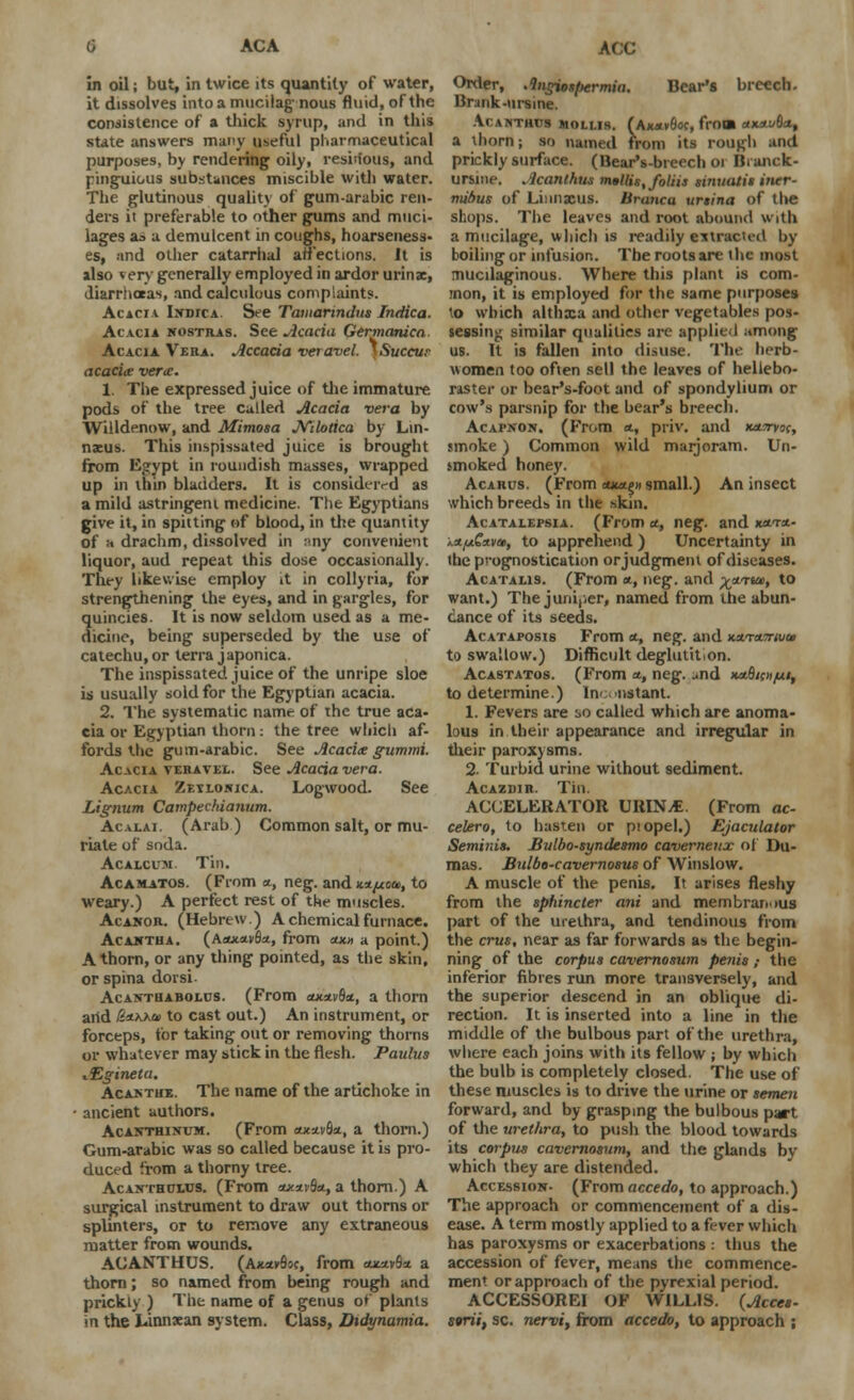 ACA ACC in oil; but, in twice its quantity of water, it dissolves into a mucilag nous fluid, of the consistence of a thick syrup, and in this state answers many useful pharmaceutical purposes, by rendering oily, resinous, and ringuious substances miscible with water. The glutinous quality of gum-arabic ren- ders it preferable to other gums and muci- lages a* a demulcent in coughs, hoarseness- es, and other catarrhal affections. It is also * ery generally employed in ardor urinx, diarrhoeas, and calculous complaints. Acacia. Indica. See Tamarindus Indica. Acacia nostras. See Acacia Germanica Acacia Vera. Accacia veiavel. \Succur acacia vera. 1. The expressed juice of the immature pods of the tree called Acacia vera by Willdenow, and Mimosa Nilotica by Lin- naeus. This inspissated juice is brought from Egypt in roundish masses, wrapped up in thin bladders. It is considered as a mild astringent medicine. The Egyptians give it, in spitting of blood, in the quantity of a drachm, dissolved in :my convenient liquor, aud repeat this dose occasionally. They likewise employ it in collyria, for strengthening the eyes, and in gargles, for quincies. It is now seldom used as a me- dicine, being superseded by the use of catechu, or terra japonica. The inspissated juice of the unripe sloe is usually sold for the Egyptian acacia. 2. The systematic name of the true aca- cia or Egyptian thorn: the tree which af- fords the gum-arabic. See Acacix gummi. Acacia veravel. See Acacia vera. Acacia Zeylonica. Logwood. See Lignum Campechianum. Acaxai. (Arab ) Common salt, or mu- riate of soda. Acaixum. Tin. Acamatos. (From a, neg. and Ktf*ca>, to weary.) A perfect rest of the muscles. Acanor. (Hebrew.) A chemical furnace. Acantha. (Aax*v9a, from aut» a point.) A thorn, or any thing pointed, as the skin, or spina dorsi- Acanthabolus. (From aunvBtL, a thorn arid k(t\\ai to cast out.) An instrument, or forceps, for taking out or removing thorns or whatever may stick in the flesh. Paulus AZgineta. Acantue. The name of the artichoke in ancient authors. Acanthinum. (From owavSat, a thorn.) Gum-arabic was so called because it is pro- duced from a thorny tree. Acanthoujs. (From 0**1 ■$*, a thorn) A surgical instrument to draw out thorns or splinters, or to remove any extraneous matter from wounds. ACANTHUS. (Ax*v9oc, from eut*»9* a thorn; so named from being rough and prickly ) The name of a genus of plants in the Linnxan system. Class, Didynamia. Order, Angiosfiermia. Bear's breech. Bra nk-ursine. Acanthus mollis. (Ak«v6oc, from axatufla, a thorn; so named from its rough and prickly surface. (BearVbreech or Branck- ursme. Acanthus m»llis,foliis si nu at is iner- mibus of Linnxus. Branca ursina of the shops. The leaves and root abound with a mucilage, which is readily extracted by boiling or infusion. The roots are the most mucilaginous. Where this plant is com- mon, it is employed for the same purposes to which althxa and other vegetables pos- sessing similar qualities are applied among us. It is fallen into disuse. Tin- herb- women too often sell the leaves of heliebo- raster or bear's-foot and of spondylium or cow's parsnip for the bear's breech. AcArxoN. (From a, priv. and Ktt7ryo(, smoke) Common wild marjoram. Un- smoked honey. Acarcs. (From axa§» small.) An insect which breedb in the skin. Acatalepsia. (From at., neg. and x*t*- /*//favai, to apprehend ) Uncertainty in the prognostication orjudgmeni of diseases. Acatalis. (From *, neg. and x*Ttui, to want.) The juniper, named from the abun- dance of its seeds. Acataposis From a, neg. and Kxntmvu to swallow.) Difficult deglutition. Acastatos. (From *, neg. .md xaBiat/ui, to determine.) ln< -nstant. 1. Fevers are so called which are anoma- lous in their appearance and irregular in their paroxysms. 2- Turbid urine without sediment. Acazdir. Tin. ACCELERATOR URINjE. (From ac- celero, to hasten or piopel.) Ejaculator Seminis. Bulbo-syndesmo caverneux of Du- mas. Bulbo-cavernosus of Winslow. A muscle of the penis. It arises fleshy from the sphincter ani and membranous part of the urethra, and tendinous from the crus, near as far forwards as the begin- ning of the corpus cavernosum penis ; the inferior fibres run more transversely, and the superior descend in an oblique di- rection. It is inserted into a line in the middle of the bulbous part of the urethra, where each joins with its fellow ; by which the bulb is completely closed. The use of these muscles is to drive the urine or semen forward, and by grasping the bulbous pact of the urethra, to push the blood towards its corpus cavernosum, and the glands by which they are distended. Accession- (From accedo, to approach.) The approach or commencement of a dis- ease. A term mostly applied to a fever which has paroxysms or exacerbations : thus the accession of fever, means the commence- ment or approach of the pyrexial period. ACCESSOREI OF WILLIS. (Acces- sgrii, sc. nervi, from accedo, to approach ;