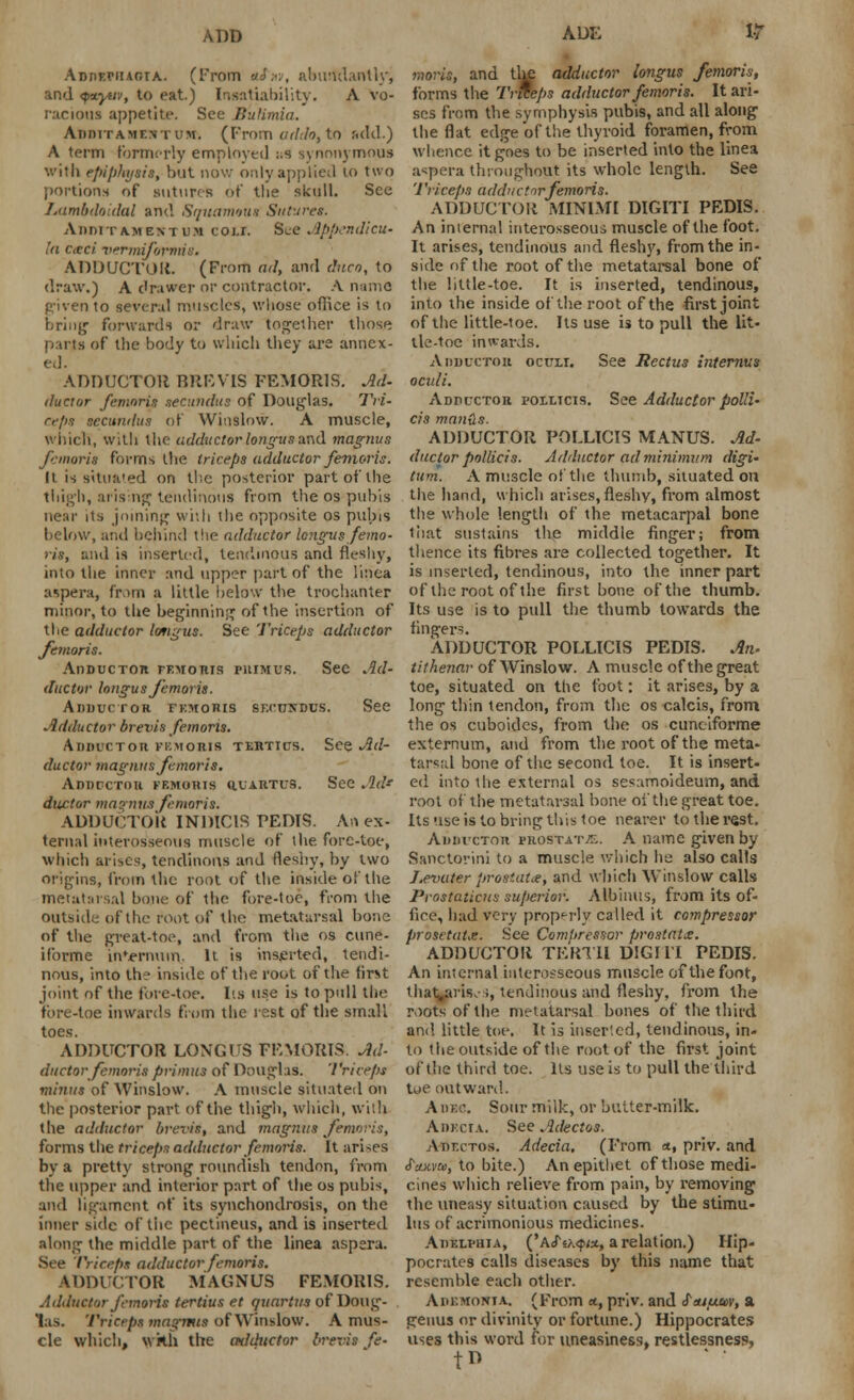 ADD ADE Abikvhista.. (From aix, aburtdantlyj and <p*.yttv, to eat.) Insatiability. A vo- racious appetite. See Bulimia. AnniTAMENiuM. (From adch, to add.) A term fbnnpriy employed ;.s synonymous with epiphysis, but now only applied to two portions of sutures of tlie skull. See Lambdoidal and Squamous Sutures. AnnixA-MENTUM coi.r. See Appendieu- la Cicci vrmiformis. ADDUCTOR. (From ad, and duco, to draw.) A drawer or contractor. A name given to several muscles, whose office is to bring' forwards or draw together those parts of the body to which they are annex- ed. ADDUCTOR BREVIS FEMOR1S. Ad- ductor femoris secundus of Douglas. Tri- rr/i.i secundus of Winslow. A muscle, which, with the adductor longusand magnus femoris forms the triceps adductor femoris. It is situated on the posterior part of the thigh, arising tendinous from the os pubis near its joining with the opposite os pubis below, and behind the adductor lengus femo- ris, and is inserted, tendinous and fleshy, into the inner and upper part of the iinca aspera, from a little below the trochanter minor, to the beginning of the insertion of the adductor lofigus. See Triceps adductor femoris. Adductor femoris putmus. Sec Ad- ductor longus femoris. Adductor femoris SErtrxDus. See Adductor brevis femoris. Adductor femoris tertius. See Ad- ductor magntts femoris. Adductor femoris q.uartus. See Ad* ductor magntus femoris. ADDUCTOK INDIC1S PEDIS. An ex- ternal interosseous muscle of the fore-toe, which arises, tendinous and fleshy, by two origins, from the root of the inside of the metatarsal bojie of the fore-toe, from the outsid;; of the root of the metatarsal bone of the great-toe, and from the os cune- iforme inVrnum. It is inserted, tendi- nous, into the inside of the root of the fir>t joint of the fore-toe. lis use is to pull the fore-toe inwards from the rest of the small toes. ADDUCTOR LONGUS FEMORIS. Ad- ductor femoris primus of Douglas. 'Triceps minus of Winslow. A muscle situated on the posterior part of the thigh, which, with the adductor brevis, and magnus femoris, forms the triceps adductor femoris. It arises by a pretty strong roundish tendon, from the upper and interior part of the os pubis, and ligament of its synchondrosis, on the inner side of tiic pectineus, and is inserted along the middle part of the linea aspera. See Triceps adductor femoris. ADDUCTOR MAGNUS FEMORIS. Adductor femoris tertius et quartus of Doug- las. Triceps magmts of Winslow. A mus- cle which, with the mlductor brevis fe- moris, and the adductor longus femoris, forms the Trtteps adductor femoris. It ari- ses from the symphysis pubis, and all along the flat edge of the thyroid foramen, from whence it goes to be inserted into the linea aspera throughout its whole length. See '1 'deeps adductor femoris. ADDUCTOR MINIMI DIGITI PEDIS. An internal interosseous muscle of the foot. It arises, tendinous and fleshy, from the in- side of the root of the metatarsal bone of the little-toe. It is inserted, tendinous, into the inside of the root of the first joint of the little-toe. Its use is to pull the lit- tle-toe inwards. Adductor oculi. See Rectus internus oculi. Adductor jpoilicis. See Adductor polli- cis mands. ADDUCTOR POLLICIS MANUS. Ad- ductor pollicis. Adductor ad minimum digi- turn. A muscle of the thumb, situated on the hand, which arises, fleshy, from almost the whole length of the metacarpal bone that sustains the middle finger; from thence its fibres are collected together. It is inserted, tendinous, into the inner part of the root of the first bone of the thumb. Its use is to pull the thumb towards the fingers. ADDUCTOR POLLICIS PEDIS. An- tithenar of Winslow. A muscle of the great toe, situated on the foot: it arises, by a long thin tendon, from the os calcis, from the os cuboides, from the os cunciforme externum, and from the root of the meta- tarsal bone of the second toe. It is insert- ed into the external os sesamoideum, and root of the metatarsal bone of the great toe. Its use is to bring this toe nearer to the rest. Adductor urostat^,. A name given by Sanctorini to a muscle which he also calls Levater prostata, and which Winslow calls Pvostaticus superior. Albinus, from its of- lire, had very properly called it compressor prosetatx. See Compressor prostata. ADDUCTOR TERTII DIGIII PEDIS. An internal interosseous muscle of the foot, that.aris. ;, tendinous and fleshy, from the roots of the metatarsal bones of the third and little toe. It is inser'.ed, tendinous, in- to the outside of the root of the first joint of the third toe. Us use is to pull the third toe outward. A me. Sour milk, or butter-milk. Adecia. See Adectos. ADr.cTos. Adecia. (From a, priv. and <JW», to bite.) An epithet of those medi- cines which relieve from pain, by removing the uneasy situation caused by the stimu- lus of acrimonious medicines. Adelpuia, ('A<f«>.<p«, a relation.) Hip- pocrates calls diseases by this name that resemble each other. Adsmohta, (From *, priv. and fauitm, a genus or divinity or fortune.) Hippocrates uses this word for uneasiness, restlessness, tD