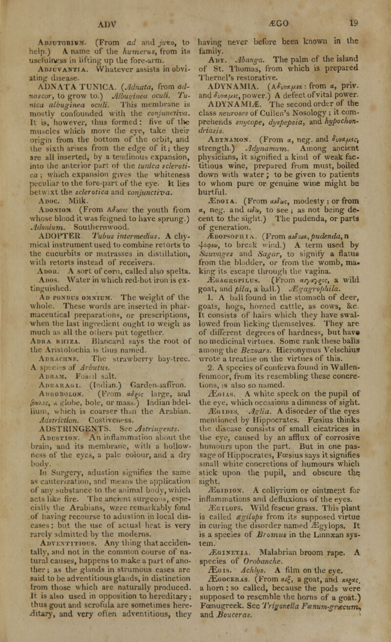 An.iuTORivM. (From ad and juvo, to help.) A name of the humerus, from its usefulness in lifting up the fore-arm. Adjlvantia. Whatever assists in obvi- ating disease. ADNATA TUNICA. {Adnata, from ad- nascor, to grow to.) Albuuinea oculi. Tu- nica albuginea ocnli. This membrane is mostly confounded with the conjunctiva. It is, however, ihus formed: five of the muscles which move the eye, take their origin from the bottom of the orbit, and the sixth arises from the edge of it; they are all inserted, by a tendinous expansion, into the anterior part of the tunica scleroti- ca ; which expansion gives the whiteness peculiar to the lore-part of the eye. It lies betwixt the sclerotica and conjunctiva. Adoc. Milk. Adonion (From Attanc the youth from whose blood it was feigned to have sprung.) Adonium. Southernwood. ADOPTER. Tubus intermedius. A chy- mical instrument used to combine retorts to the cucurbits or matrasses in distillation, with retorts instead of receivers. Anon. A sort of corn, called also spelta. Anos. Water in which red-hol iron is ex- tinguished. A i) pondus omnium. The weight of the whole. These words are inserted in phar- maceutical preparations, or prescriptions, when the last ingredient ought to weigh as much as all the others put together. Aura hhiza. JJiancard says the root of the Anstolochia is thus named. Adrachnk The strawberry bay-tree. \ , <■' s of Arbutui. A n it am. Fossil s.tlt. AiuiARAoi. (Indian.) Garden-saffron. AiiROBOLOir. (From aJ^oc large, and ,W:>-, a globe, bole, or mass.) Indian bdel- lium, vvhich is coarser than the Arabian. Adstriction. Costivewss. ADSTUINGENTS. See Jstrmgents. Adustion. An inflammation about the brain, and its membrane, with a hollow- rtess of the eves, a pale colour, and a dry body. In Surgery, adustion signifies the same as cauterization, and means the application of any substance to the animal body, which acts like lire. The ancient surgeons, espe- cially the Arabians, were remarkably fond of having recourse to adustion in local dis- eases : but the use of actual heat is very rarely admitted by the moderns. Adventitious. Any thing that acciden- tally, and not in the common course of na- tural causes, happens to make a part of ano- ther; as the glands in strumous cases are said to be adventitious glands, in distinction from those which are naturally produced. It is also used in opposition to hereditary; thus gout and scrofula are sometimes here- ditary, and very often adventitious, they having never before been known in the family. Any. Abanga. The palm of the island of St. Thomas, from which is prepared Thernel's restorative. ADYNAMIA. (A<W,u/*: from *, priv. and fuwtpit, power.) A defect of vital power. ADYNAMIC. The second order of the class neuroses of Cullen's Nosology ; it com- prehends snycope, dyspepsia, and hypochon- driasis. Adihamos. (From «., neg. and <Tt/v*,utr, strength.) Adynamum. Among ancient physicians, it signified a kind of weak fac- titious wine, prepared from must, boiled down with water; to be given to patients to whom pure or genuine wine might be hurtful. iEnoi a. (From a/<fa>c, modesty ; or from *, neg. and «<$&>, to see ; as not being de- cent to the sight.) The pudenda, or parts of generation. yEooi'sorn i a. (From a/JW,pudenda, n 4<i<j>ai>, to break wind.) A term used by Suuvages and Sagur, to signify a flatus from the bladder, or from the womb, ma« king its escape through the vagina. JEgagrofilus. (From anyxyg^, a wild goat, and pila, a hall.) JEgagrophila. 1. A ball found in the stomach of deer, goats, hogs, horned cattle, as cows, &c. It consists of hairs which they have swal- lowed from licking themselves. They are of dilFercnt degrees of hardness, but have no medicinal virtues. Some rank these balls among the Bezoars. Hieronymus Yelschius wrote a treatise on the virtues of this. 2. A species of conferva found in Wallen- fenmoor, from its resembling these concre- tions, is also so named. /Em as. A white speck on the pupil of the eye, which occasions a dimness of sight. JEgijiks. Ag/ia. A disorder of the eyes mentioned by Hippocrates. Fcesius thinks the disease consists of small cicatrices in the eye, caused by an afflux of corrosive humours upon the part. But in one pas- sage of Hippocrates, Fresius says it signifies small white concretions of humours which stick upon the pupil, and obscure the, sight. iEGiniox. A collyrium or ointment for inflammations and defluxions of the eyes. iEr:it.ors. Wild fescue grass. This plant is called cegilops from its supposed virtue in curing the disorder named iEgylops. It is a species of Bromus in the Linnxan sys- tem. 7Egiuetia. Malabrian broom rape. A species of Orobanche. ./Egis. Achlys. A film on the eye. iEGOcERAS. (From »;|, a goat, and ««§*?, a horn : so called, because the pods were supposed to resemble the horns of a goat.) Foenugreek. See Trigonella Fesnum-grxcum*, and Bouceras.