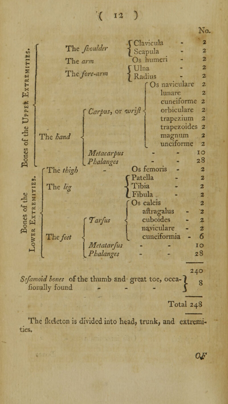 The Jhcitlder The am The fore-arm X Clavicuh £ Scapula Os humeri f Ulna ^Radius  Os naviculare lunare c o t w ° H o The jfonw/ The //&#£ The leg The/at Carpus, or wri/? <{ cuneiforme orbiculare trapezium No. 2 2 2 2 2 2 2 2 2 2 magnum unciforme MefacarJ>us Phalanges Tarfu. Os femoris f Patella 4 Tibia t Fibula Os calcis aftragalus cuboides naviculare cuneiformia Metatarfns Phalanges trapezoides 2 2 2 IO 28 2 2 2 2 2 2 2 2 6 io 28 240 Sefamold bones of the thumb and great toe, occa- 7 o fionally found j Total 248 The fkeieton is divided into head, trunk, and extremi- ties. OF