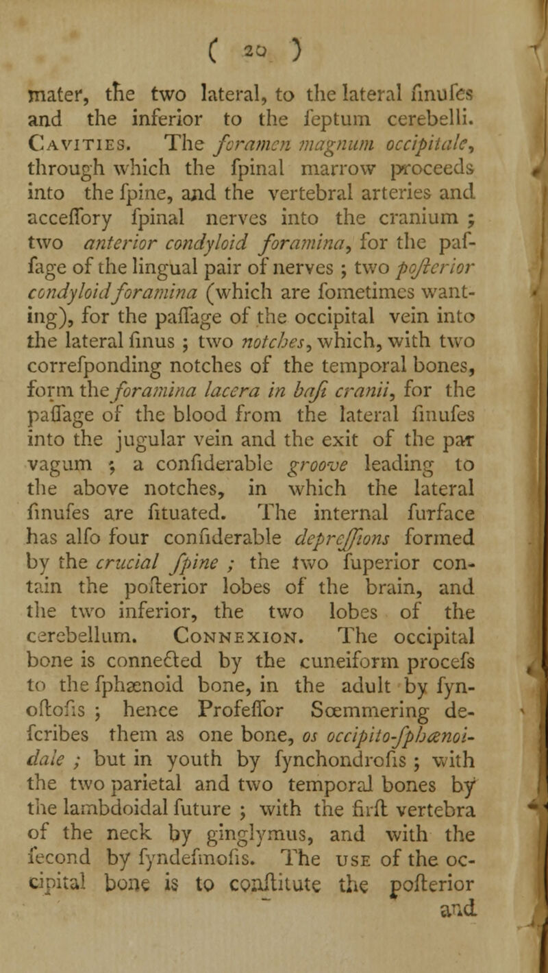 mater, the two lateral, to the lateral finufes and the inferior to the feptum cerebelli. Cavities. The foramen magnum occipital?, through which the fpinal marrow proceeds into the fpine, and the vertebral arteries and acceffory fpinal nerves into the cranium ; two anterior condyloid foramina, for the paf- fage of the lingual pair of nerves ; two pojierior condyloid foramina (which are fometimes want- ing), for the paffage of the occipital vein into the lateral finus ; two notches, which, with two correfponding notches of the temporal bones, form the foramina lacera in baft cranii, for the paflage of the blood from the lateral finufes into the jugular vein and the exit of the par vagum ', a confiderablc groove leading to the above notches, in which the lateral finufes are fituated. The internal furface has alfo four connderable deprejfions formed by the crucial fpine ; the two fuperior con- tain the pofterior lobes of the brain, and the two inferior, the two lobes of the cerebellum. Connexion. The occipital bone is connected by the cuneiform procefs to the fphsenoid bone, in the adult by fyn- ofliofis ; hence Profeffor Soemmering de- fcribes them as one bone, os occipito-fphanoi- dale ; but in youth by fynchondrofis ; with the two parietal and two temporal bones by the lambdoidal future ; with the firft vertebra of the neck by ginglymus, and with the fecond by fyndefmofis. The use of the oc- cipital bone is to conititute the poflerior and
