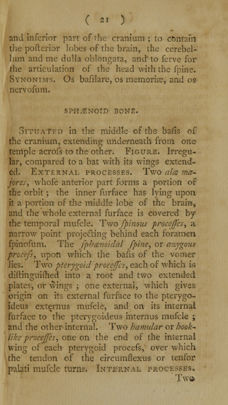 ( « ) and inferior part of the cranium ; to contafri the poflerior lobes of the brain, the cerebel- lum and me dulla oblongata, and' to ferve for the articulation of the head with the fpine. Synonims. Os bafilare, os memories, and os nervofum. SPHENOID BONE. Situated in the middle of the bafis of the cranium, extending underneath from one temple acroi's to the other. Figure. Irregu- lar, compared to a bat with its wings extend- ed. External processes. Two alts ma~ fores, whofe anterior part forms a portion of the orbit; the inner furface has lying upon it a portion of the middle lobe of the brain, and the whole external furface is covered by the temporal mufcle. Two fpimns proceffes, a narrow point projecting behind each foramen fpinofum. The fphamidal fpine, or azygom proicj}, upon which the bafis of the vomer lies. Two pterygoid proceffes, each of which is diftimruiihed into a root and two extended o plates, or wings ; one external, which gives origin on its external furface to the pterygo- ideus externus mufcle, and on its internal furface to the pterygoideus interims mufcle ; and the other internal. Two hamular or hook- ■roceffes, one on the end of the internal wing of each pterygoid procefs, over which the tendon of the circumflexus or tenfor palati mufcle turns. Internal processes* Tw»