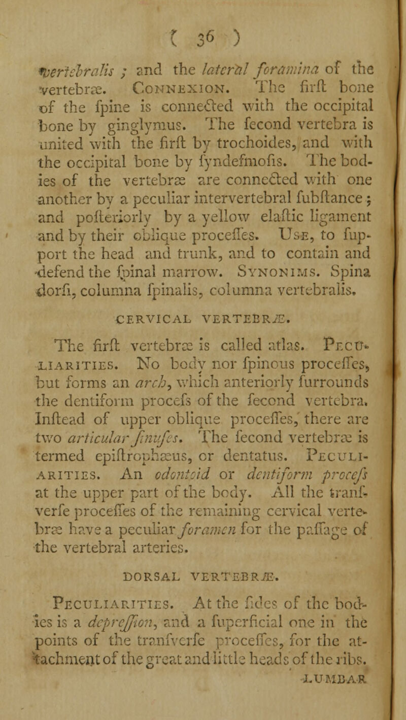 J 6 ) tyertehrafis ; and the lateral foramina of the vertebrae. Connexion. The firfl bone of the fpine is connected with the occipital bone by ginglyraus. The fecond vertebra is united with the firfl by trochoides, and with the occipital bone by iyndefmofis. The bod- ies of the vertebras are connected with one another by a peculiar intervertebral fubflance; and posteriorly by a yellow elaftic ligament and by their oblique procefles. Use, to fup- port the head and trunk, and to contain and -defend the Spinal marrow. Synonims. Spina ilorfi, columna fpinalis, columna vertebralis. CERVICAL VERTEBRiE. The firfl vertebras is called atlas. Pecu- liarities. No body nor fpinous procefles, but forms an arch, which anteriorly furrounds the dentiform procefs of the fecond vertebra. Inflead of upper oblique procefles, there are two articular Jinufes. The fecond vertebrae is termed epiftrophaeus, or dentatus. Peculi- arities. An odontoid or dentiform procefs at the upper part of the body. All the tranfc verfe procefles of the remaining cervical verte- bra have a ^ccwVy-AX foramen for the paffage of •the vertebral arteries. dorsal vertebrje. Peculiarities. At tr of the bod- ies is a depre/fon, and a fuperficial one in the points of the tranfverfe procefles, for the at- tachment of the great and iittle heads of the ribs. LUMBAR