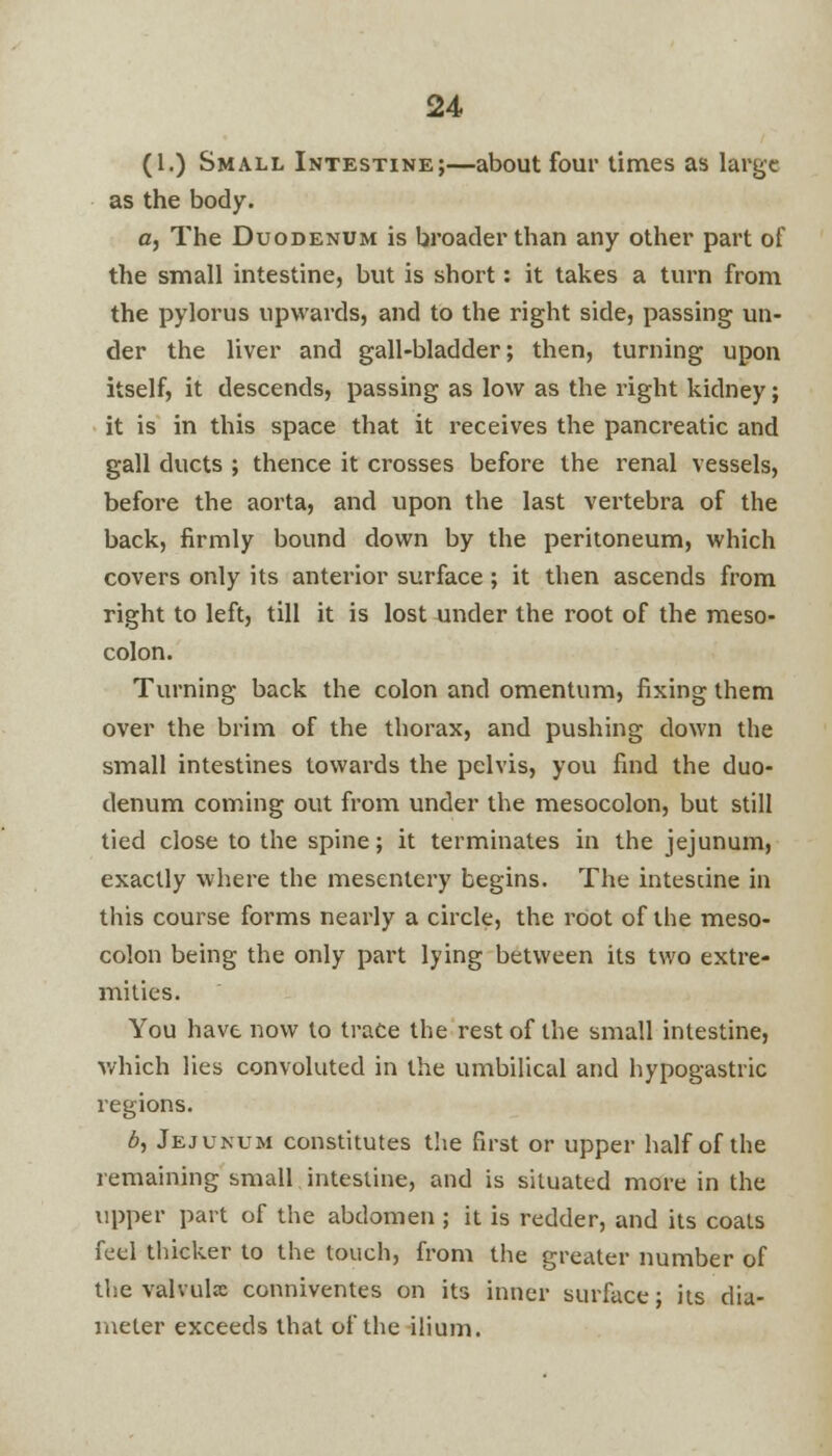 (1.) Small Intestine;—about four times as large as the body. a, The Duodenum is broader than any other part of the small intestine, but is short: it takes a turn from the pylorus upwards, and to the right side, passing un- der the liver and gall-bladder; then, turning upon itself, it descends, passing as low as the right kidney; it is in this space that it receives the pancreatic and gall ducts ; thence it crosses before the renal vessels, before the aorta, and upon the last vertebra of the back, firmly bound down by the peritoneum, which covers only its anterior surface; it then ascends from right to left, till it is lost under the root of the meso- colon. Turning back the colon and omentum, fixing them over the brim of the thorax, and pushing down the small intestines towards the pelvis, you find the duo- denum coming out from under the mesocolon, but still tied close to the spine; it terminates in the jejunum, exactly where the mesentery begins. The intescine in this course forms nearly a circle, the root of the meso- colon being the only part lying between its two extre- mities. You have now to trace the rest of the small intestine, which lies convoluted in the umbilical and hypogastric regions. 6, Jejunum constitutes the first or upper half of the remaining small intestine, and is situated more in the upper part of the abdomen; it is redder, and its coats feel thicker to the touch, from the greater number of the valvulx conniventes on its inner surface; its dia- meter exceeds that of the ilium.