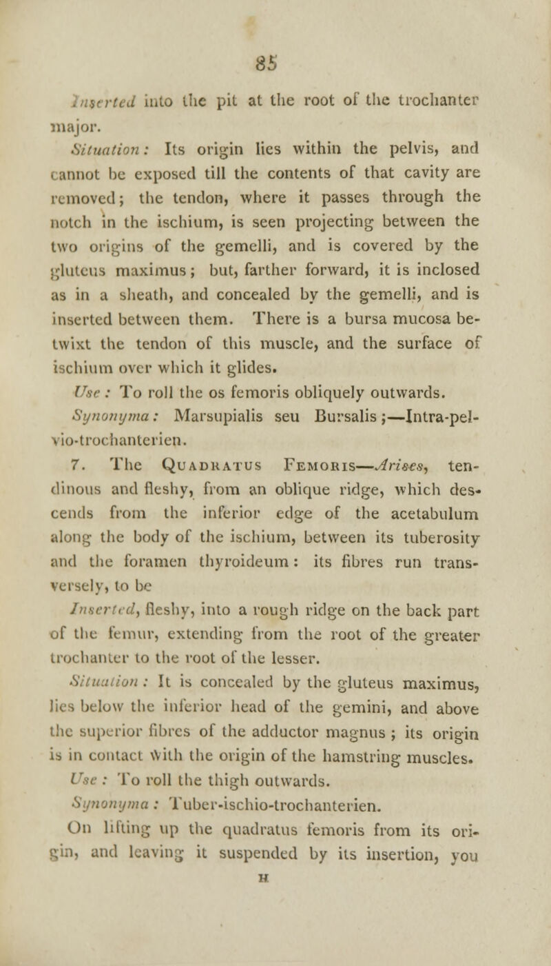 terted into i!ie pit at the root of the trochanter major. Situation: Its origin lies within the pelvis, and cannot he exposed till the contents of that cavity are removed; the tendon, where it passes through the notch in the ischium, is seen projecting between the two origins of the gemelli, and is covered by the gluteus maximus; but, farther forward, it is inclosed as in a sheath, and concealed by the gemelli, and is inserted between them. There is a bursa mucosa be- twixt the tendon of this muscle, and the surface of ischium over which it glides. Use : To roll the os femoris obliquely outwards. Synouyma : Marsupialis seu Bursalis ;—Intra-pel- vio-trochanterien. 7. The Quadkatus Femoris—4rises, ten- dinous and fleshy, from an oblique ridge, which des- cends from the inferior edge of the acetabulum along the body of the ischium, between its tuberosity and the foramen thyroideum: its fibres run trans- versely, to be Inserted, fleshy, into a rough ridge on the back part of the femur, extending from the root of the greater trochanter to the root of the lesser. Situation : It is concealed by the gluteus maximus, lies below the inferior head of the gemini, and above the superior fibres of the adductor magnus ; its origin is in contact With the origin of the hamstring muscles. • To roll the thigh outwards. Sytiomjma ; Tuber-ischio-trochanterien. On lifting up the quadratus femoris from its ori- gin, and leaving it suspended by its insertion, you H