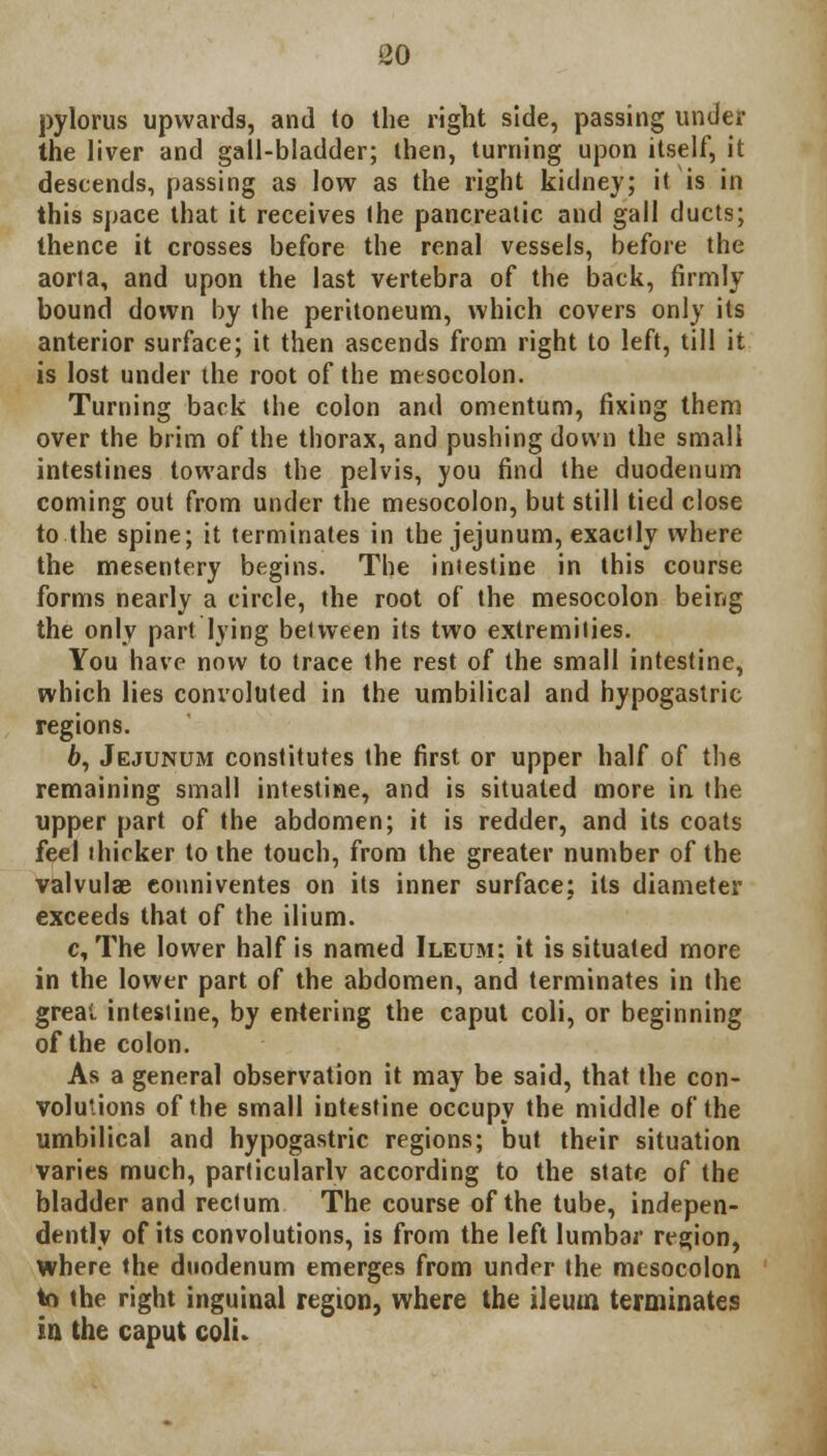 pylorus upwards, and to the right side, passing under the liver and gall-bladder; then, turning upon itself, it descends, passing as low as the right kidney; it is in this space that it receives the pancreatic and gall ducts; thence it crosses before the renal vessels, before the aorta, and upon the last vertebra of the back, firmly bound down by the peritoneum, which covers only its anterior surface; it then ascends from right to left, till it is lost under the root of the mesocolon. Turning back the colon and omentum, fixing them over the brim of the thorax, and pushing down the small intestines towards the pelvis, you find the duodenum coming out from under the mesocolon, but still tied close to the spine; it terminates in the jejunum, exactly where the mesentery begins. The iniestine in this course forms nearly a circle, the root of the mesocolon being the only part lying between its two extremities. You have now to trace the rest of the small intestine, which lies convoluted in the umbilical and hypogastric regions. 6, Jejunum constitutes the first or upper half of the remaining small intestine, and is situated more in the upper part of the abdomen; it is redder, and its coats feel thicker to the touch, from the greater number of the valvulae eonniventes on its inner surface: its diameter exceeds that of the ilium. c, The lower half is named Ileum: it is situated more in the lower part of the abdomen, and terminates in the great intestine, by entering the caput coli, or beginning of the colon. As a general observation it may be said, that the con- volutions of the small intestine occupy the middle of the umbilical and hypogastric regions; but their situation varies much, particularly according to the state of the bladder and rectum The course of the tube, indepen- dently of its convolutions, is from the left lumbar region, where the duodenum emerges from under the mesocolon to the right inguinal region, where the ileum terminates in the caput colt.