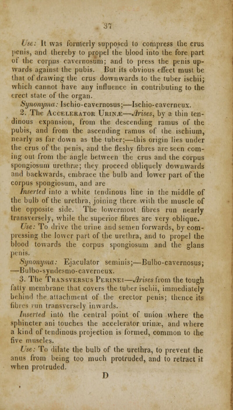 Use: It was formerly supposed to compress the crus penis, and thereby to propel the blood into the fore part of the corpus cavcmosum; and to press the penis up- wards against the pubis. But its obvious effect must be that of drawing the crus downwards to the tuber ischii; which cannot have any influence in contributing to the erect state of the organ. Synonyma: Ischio-cavernosus;—Ischio-caverneux. 2. The Accelerator Urin.e—Arises, by a thin ten- dinous expansion, from the descending ramus of the pubis, and from the ascending ramus of the ischium, nearly as far down as the tuber;—this origin lies under the crus of the penis, and the fleshy fibres are seen com- ing out from the angle between the crus and the corpus spongiosum urethral; they proceed obliquely downwards and backwards, embrace the bulb and lower part of the corpus spongiosum, and are Inserted into a white tendinous line in the middle of the bulb of the urethra, joining there with the muscle of the opposite side. The lowermost fibres run nearly transversely, while the superior fibres are very oblique. Use: To drive the urine and semen forwards, by com- pressing the lower part of the urethra, and to propel the blood towards the corpus spongiosum and the glans penis. Synonyma: Ejaculator seminis;—Bulbo-cavernosus; —Bulbo-syndesmo-caverneux. 3. The Transversus Perinei—Arises from the tough fatly membrane that covers the tuber iscliii, immediately behind the attachment of the erector penis; thence its fibres run transversely inwards. Inserted into the central point of union where the sphincter ani touches the accelerator urinae, and where a kind of tendinous projection is formed, common to the five muscles. Use: To dilate the bulb of the urethra, to prevent the anus from being too much protruded, and to retract it when protruded. D