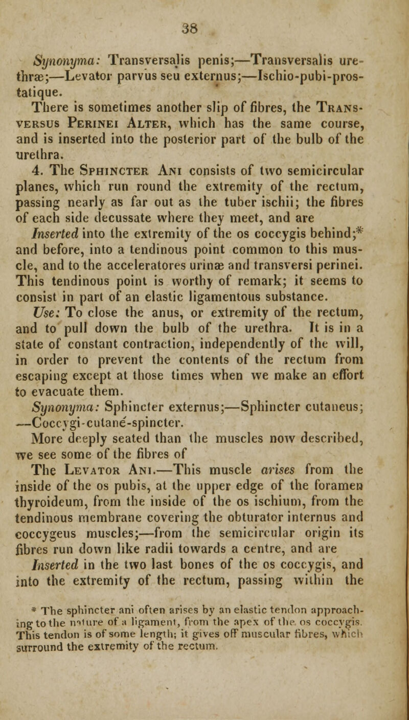 Synonyma: Transversalis penis;—Transversalis ure- thras;—Levator parvus seu externus;—Ischio-pubi-pros- tatique. There is sometimes another slip of fibres, the Trans- versa Perinei Alter, which has the same course, and is inserted into the posterior part of the bulb of the urethra. 4. The Sphincter Am consists of two semicircular planes, which run round the extremity of the rectum, passing nearly as far out as the tuber ischii; the fibres of each side decussate where they meet, and are Inserted into the extremity of the os coccygis behind;* and before, into a tendinous point common to this mus- cle, and to the acceleratores urinae and transversi perinei. This tendinous point is worthy of remark; it seems to consist in part of an elastic ligamentous substance. Use: To close the anus, or extremity of the rectum, and to pull down the bulb of the urethra. It is in a state of constant contraction, independently of the will, in order to prevent the contents of the rectum from escaping except at those times when we make an effort to evacuate them. Synonyma: Sphincter externus;—Sphincter cutaneus; —Coccvgi-cutane-spincter. More deeply seated than the muscles now described, we see some of the fibres of The Levator Ani.—This muscle arises from the inside of the os pubis, at the upper edge of the foramen thyroideum, from the inside of the os ischium, from the tendinous membrane covering the obturator internus and coccygeus muscles;—from the semicircular origin its fibres run down like radii towards a centre, and are Inserted in the two last bones of the os coccygis, and into the extremity of the rectum, passing within the * The sphincter ani often arises by an elastic tendon approach- ing to the nature of a ligament, from the apex of the os coccygis. This tendon is of some length; it gives off muscular fibres, which surround the extremity of the rectum.