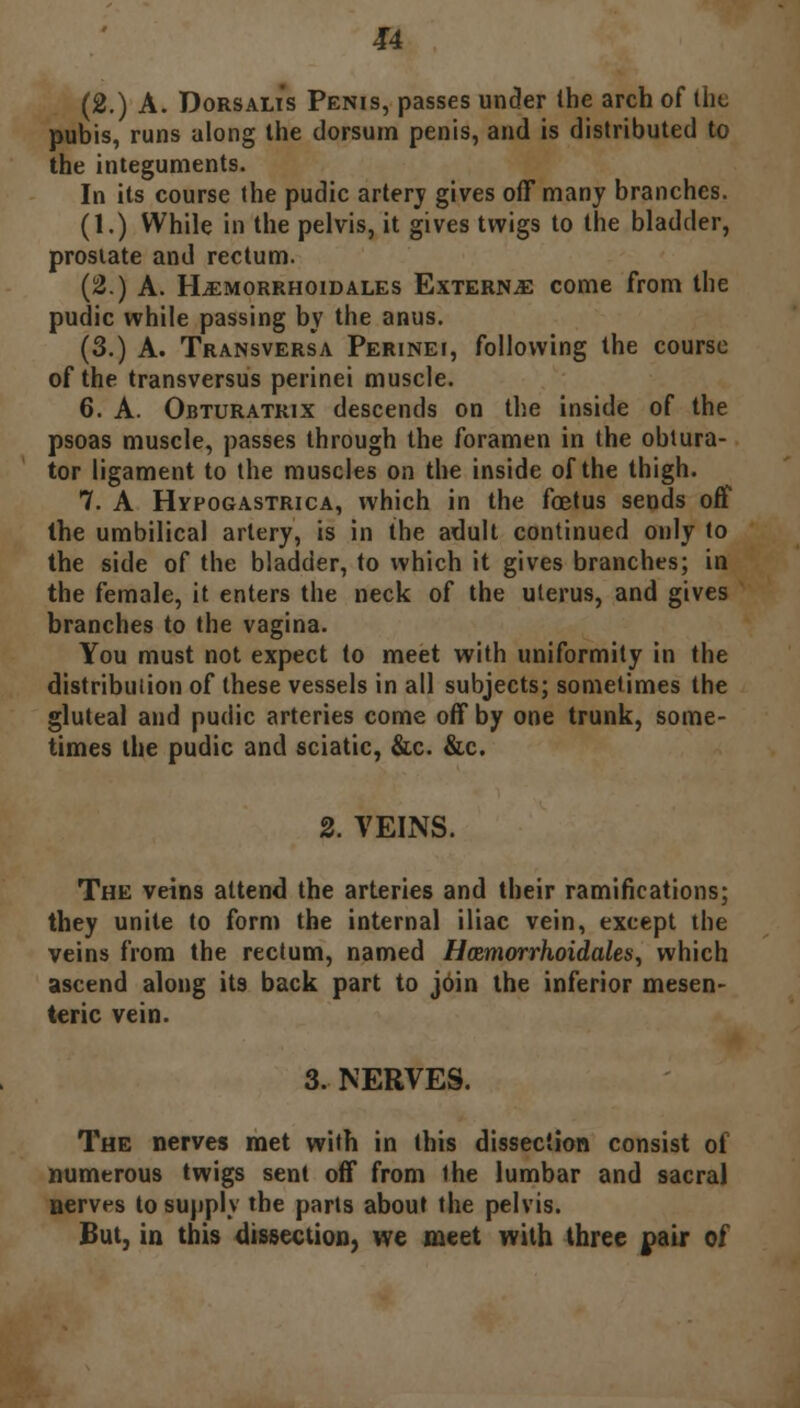 u (2.) A. Dorsalis Penis, passes under the arch of tilt pubis, runs along the dorsum penis, and is distributed to the integuments. In its course the pudic artery gives off many branches. (1.) While in the pelvis, it gives twigs to the bladder, prostate and rectum. (2.) A. Hemorrhoid ales Externa come from the pudic while passing by the anus. (3.) A. Transversa Perinei, following the course of the transversus perinei muscle. 6. A. Obturatrix descends on the inside of the psoas muscle, passes through the foramen in the obtura- tor ligament to the muscles on the inside of the thigh. 7. A Hypogastrics, which in the foetus sends off the umbilical artery, is in the adult continued only to the side of the bladder, to which it gives branches; in the female, it enters the neck of the uterus, and gives branches to the vagina. You must not expect to meet with uniformity in the distribution of these vessels in all subjects; sometimes the gluteal and pudic arteries come off by one trunk, some- times the pudic and sciatic, &c. &c. 2. VEINS. The veins attend the arteries and their ramifications; they unite to form the internal iliac vein, except the veins from the rectum, named Hazmorrhoidales, which ascend along its back part to join the inferior mesen- teric vein. 3. NERVES. The nerves met with in this dissection consist of numerous twigs sent off from the lumbar and sacral nerves to supply the parts about the pelvis. But, in this dissection, we meet with three pair of