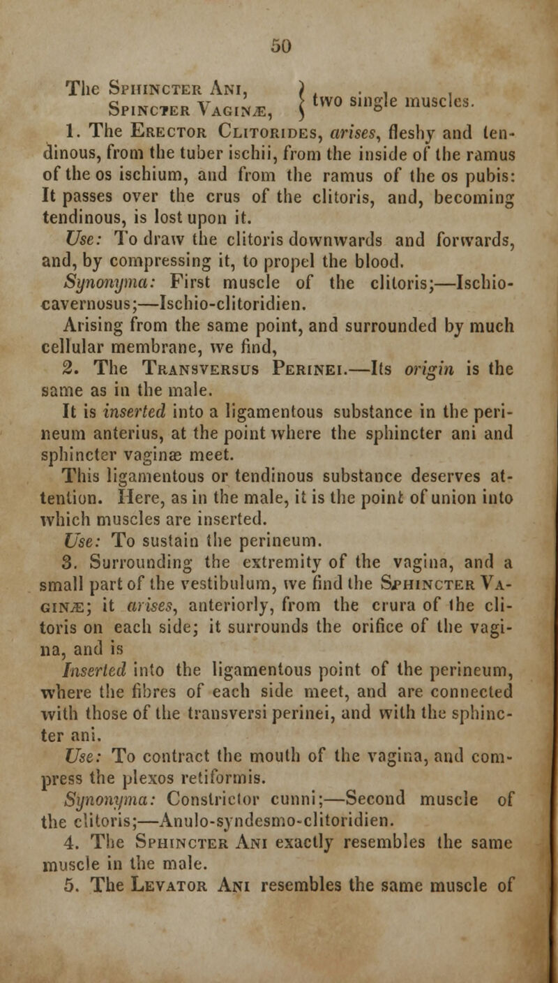 The Sphincter Ani, ) . . , . Spincter Tawi, \ two sn,S,e muscl«- 1. The Erector Clitorides, arises, fleshy and ten- dinous, from the tuber ischii, from the inside of the ramus of the os ischium, and from the ramus of the os pubis: It passes over the crus of the clitoris, and, becoming tendinous, is lost upon it. Use: To draw the clitoris downwards and forwards, and, by compressing it, to propel the blood. Synonyma: First muscle of the clitoris;—Ischio- cavernosus;—Ischio-clitoridien. Arising from the same point, and surrounded by much cellular membrane, we find, 2. The Transversus Perinei.—Its origin is the same as in the male. It is inserted into a ligamentous substance in the peri- neum anterius, at the point where the sphincter ani and sphincter vaginas meet. This ligamentous or tendinous substance deserves at- tention. Here, as in the male, it is the point of union into which muscles are inserted. Use: To sustain the perineum. 3. Surrounding the extremity of the vagina, and a small part of the vestibulum, we find the Sjphincter Va- ginae; it arises, anteriorly, from the crura of ihe cli- toris on each side; it surrounds the orifice of the vagi- na, and is Inserted into the ligamentous point of the perineum, where the fibres of each side meet, and are connected with those of the transversa perinei, and with the sphinc- ter ani. Use: To contract the mouth of the vagina, and com- press the plexos retiformis. Synonyma: Constrictor cunni;—Second muscle of the clitoris;—Anulo-syndesmo-clitoridien. 4. The Sphincter Ani exactly resembles the same muscle in the male. 5. The Levator Ani resembles the same muscle of