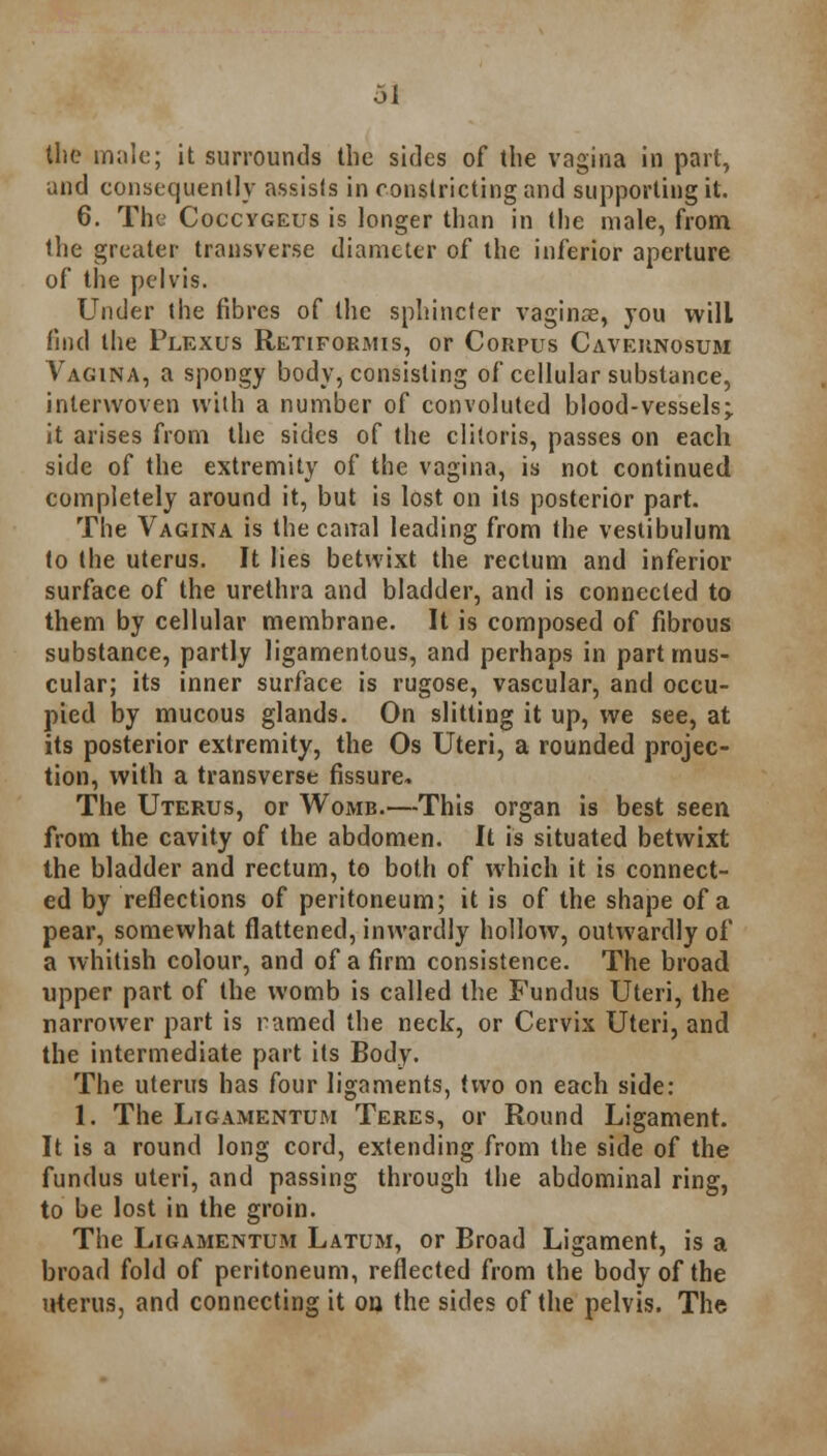 the male; it surrounds the sides of the vagina in part, and consequently assists in constricting and supporting it. 6. The Coccygeus is longer than in the male, from the greater transverse diameter of the inferior aperture of the pelvis. Under the fibres of the sphincter vaginae, you will find the Plexus Retifoeiviis, or Corpus Caveunosum Vagina, a spongy body, consisting of cellular substance, interwoven with a number of convoluted blood-vessels; it arises from the sides of the clitoris, passes on each side of the extremity of the vagina, is not continued completely around it, but is lost on its posterior part. The Vagina is the canal leading from the vestibulum to the uterus. It lies betwixt the rectum and inferior surface of the urethra and bladder, and is connected to them by cellular membrane. It is composed of fibrous substance, partly ligamentous, and perhaps in part mus- cular; its inner surface is rugose, vascular, and occu- pied by mucous glands. On slitting it up, we see, at its posterior extremity, the Os Uteri, a rounded projec- tion, with a transverse fissure. The Uterus, or Womb.—This organ is best seen from the cavity of the abdomen. It is situated betwixt the bladder and rectum, to both of which it is connect- ed by reflections of peritoneum; it is of the shape of a pear, somewhat flattened, inwardly hollow, outwardly of a whitish colour, and of a firm consistence. The broad upper part of the womb is called the Fundus Uteri, the narrower part is named the neck, or Cervix Uteri, and the intermediate part its Body. The uterus has four ligaments, two on each side: 1. The Ltgamentum Teres, or Round Ligament. It is a round long cord, extending from the side of the fundus uteri, and passing through the abdominal ring, to be lost in the groin. The Ligamentum Latum, or Broad Ligament, is a broad fold of peritoneum, reflected from the body of the irterus, and connecting it on the sides of the pelvis. The