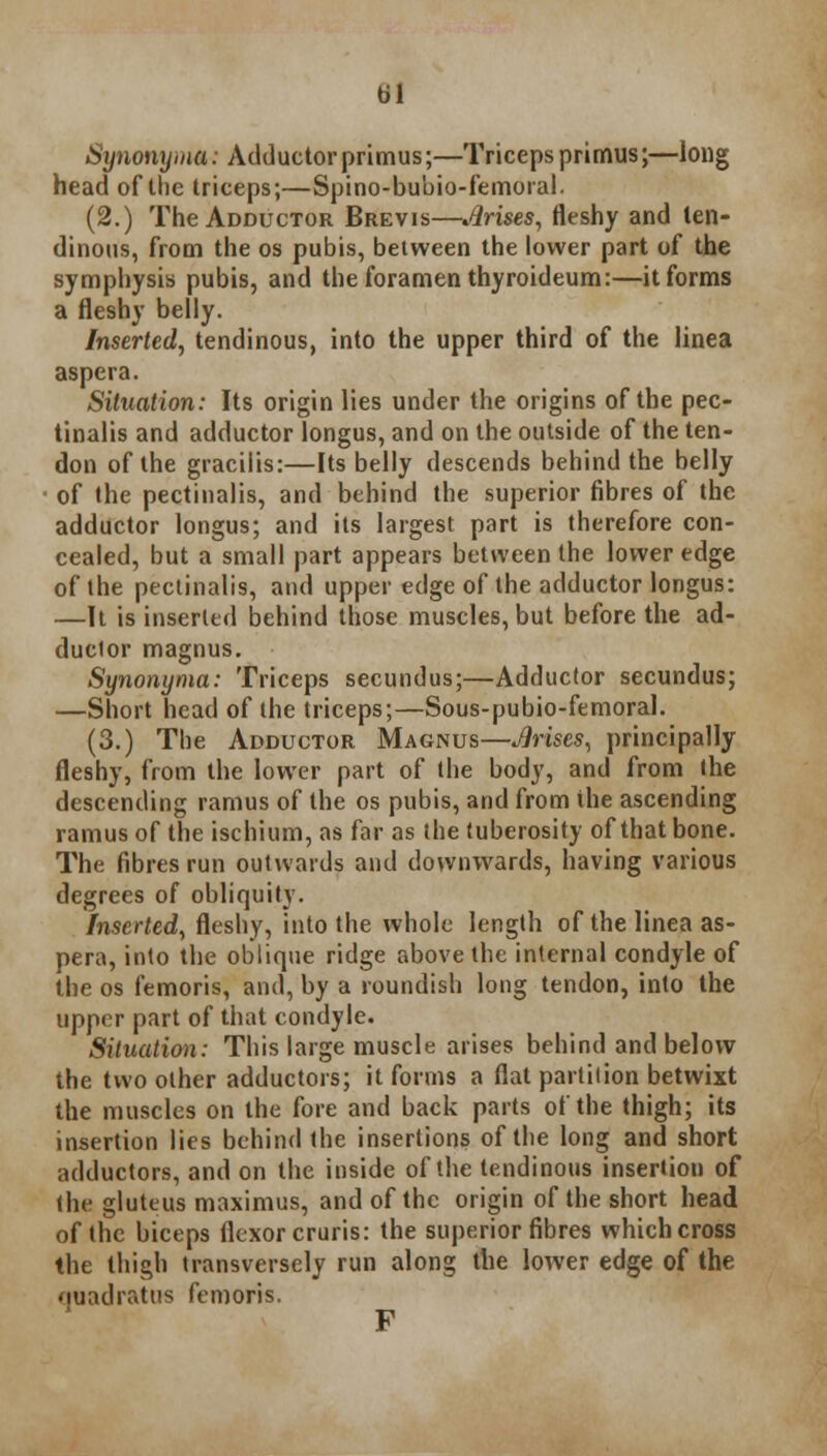 til Synonyma: Adductor primus;—Triceps primus;—long head of the triceps;—Spino-bubio-femoral. (2.) The Adductor Brevis—Arises, fleshy and ten- dinous, from the os pubis, between the lower part of the symphysis pubis, and the foramen thyroideum:—it forms a fleshy belly. Inserted, tendinous, into the upper third of the linea aspera. Situation: Its origin lies under the origins of the pec- tinalis and adductor longus, and on the outside of the ten- don of the gracilis:—Its belly descends behind the belly of the pectinalis, and behind the superior fibres of the adductor longus; and its largest part is therefore con- cealed, but a small part appears between the lower edge of the pectinalis, and upper edge of the adductor longus: —It is inserted behind those muscles, but before the ad- ductor magnus. Synonyma: Triceps secundus;—Adductor secundus; —Short head of the triceps;—Sous-pubio-femoral. (3.) The Adductor Magnus—Arises, principally fleshy, from the lower part of the body, and from the descending ramus of the os pubis, and from the ascending ramus of the ischium, as far as the tuberosity of that bone. The fibres run outwards and downwards, having various degrees of obliquity. Inserted, fleshy, into the whole length of the linea as- pera, into the oblique ridge above the internal condyle of the os femoris, and, by a roundish long tendon, into the upper part of that condyle. Situation: This large muscle arises behind and below the two other adductors; it forms a flat partition betwixt the muscles on the fore and back parts of the thigh; its insertion lies behind the insertions of the long and short adductors, and on the inside of the tendinous insertion of the gluteus maximus, and of the origin of the short head of the biceps flexor cruris: the superior fibres which cross the thigh transversely run along the lower edge of the ouadrattis femoris. F