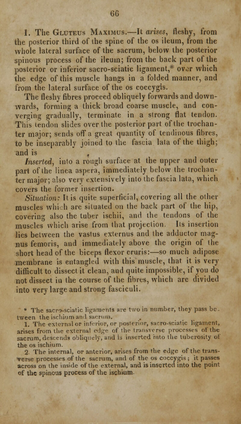 1. The Gluteus Maximus.—It arises, fleshy, from the posterior third of the spine of the os ileum, from the whole lateral surface of the sacrum, below the posterior spinous process of the ileum; from the back part of the posterior or inferior sacro-sciatic ligament,* over which the edge of this muscle hangs in a folded manner, and from the lateral surface of the os coccygis. The fleshy fibres proceed obliquely forwards and down- wards, forming a thick broad coarse muscle, and con- verging gradually, terminate in a strong flat tendon. This tendon slides over the posterior part of the trochan- ter major; sends off a great quantity of tendinous fibres, to be inseparably joined to the fascia lata of the thigh; and is Inserted, into a rough surface at the upper and outer part of the linea aspera, immediately below the trochan- ter major; also very extensively into the fascia lata, which covers the former insertion. Situation: It is quite superficial, covering all the other muscles which are situated on the back part of the hip, covering also the tuber ischii, and the tendons of the muscles which arise from that projection. Its insertion lies between the vastus externus and the adductor mag- nus femoris, and immediately above the origin of the short head of the biceps flexor cruris:—so much adipose membrane is entangled with this muscle, that it is very difficult to dissect it clean, and quite impossible, if you do not dissect in the course of the fibres, which are divided into very large and strong fasciculi. * The sacro-sciatic ligaments are two in number, they pass be- tween the ischium and sacrum. 1. The external or interior, or posterior, sacro-sciatic ligament, arises from the external edge of the transverse processes of the sacrum, descends obliquely, and is inserted into the tuberosity of the os ischium. 2 The internal, or anterior, arises from the edge of the trans- Terse processes of the sacrum, and of the os coccygis; it passes across on the inside of the external, and is inserted into the point of the spinous process of the ischium.