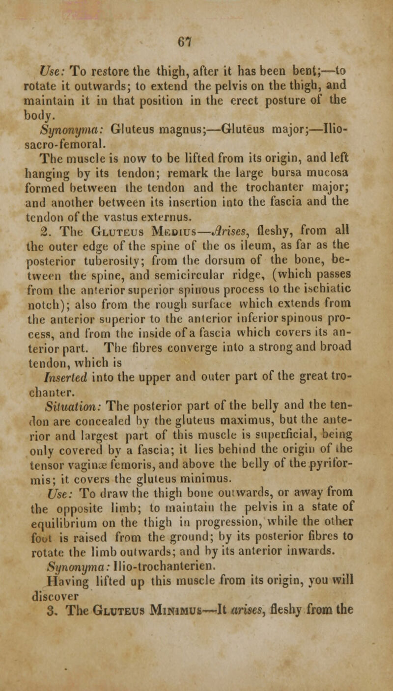Use: To restore the thigh, after it has been bent;—to rotate it outwards; to extend the pelvis on the thigh, and maintain it in that position in the erect posture of the body. Synonyma: Gluteus magnus;—Gluteus major;—Ilio- sacro-femoral. The muscle is now to be lifted from its origin, and left hanging by its tendon; remark the large bursa mucosa formed between the tendon and the trochanter major; and another between its insertion into the fascia and the tendon of the vastus externus. 2. The Gluteus Medius—Arises, fleshy, from all the outer edge of the spine of the os ileum, as far as the posterior tuberosity; from the dorsum of the bone, be- tween the spine, and semicircular ridge, (which passes from the anterior superior spinous process to the ischiatic notch); also from the rough surface which extends from the anterior superior to the anterior inferior spinous pro- cess, and from the inside of a fascia which covers its an- terior part. The fibres converge into a strong and broad tendon, which is Inserted into the upper and outer part of the great tro- chanter. Situation: The posterior part of the belly and the ten- don are concealed by the gluteus maximus, but the ante- rior and largest part of this muscle is superficial, being only covered by a fascia; it lies behind the origin of the tensor vagiine femoris, and above the belly of thepyrifor- mis; it covers the gluteus minimus. Use: To draw the thigh bone outwards, or away from the opposite limb; to maintain the pelvis in a state of equilibrium on the thigh in progression, while the other foot is raised from the ground; by its posterior fibres to rotate the limb outwards; and by its anterior inwards. Synonyma: llio-trochanterien. Having lifted up this muscle from its origin, you will discover 3. Trie Gluteus Minimus—It arises, fleshy from the