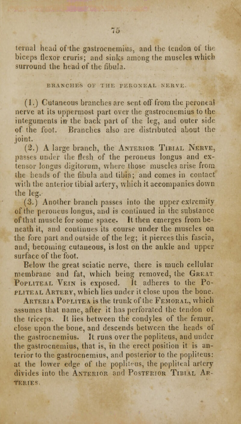 ternal head of the gastrocnemius, and the tendon of (he biceps flexor cruris; and sinks among the muscles which surround the head of the fibula. BRANCHES OF THE PERONEAL NERVE. (1.) Cutaneous branches are sent off from the peroneal nerve at its uppermost part over the gastrocnemius to the integuments in the back part of the leg, and outer side of the foot. Branches also are distributed about the joint. (2.) A large branch, the Anterior Tibial Nerve, passes under the flesh of the peroueus longus and ex- tensor longus digitorum, where those muscles arise from the heads of the fibula and tibia; and comes in contact with the anterior tibial artery, which it accompanies down the leg. (3.) Another branch passes into the upper extremity of the peroueus longus, and is continued in the substance of that muscle for some space. It then emerges from be- neath it, and continues its course under the muscles on the fore part and outside of the leg; it pierces this fascia, and, becoming cutaneous, is lost on the ankle and upper surface of the foot. Below the great sciatic nerve, there is much cellular membrane and fat, which being removed, the Great Popliteal Vein is exposed. It adheres to the Po- pliteal Artery, which lies under it close upon the bone. Arteri a Poplite a is the trunk of the Femoral, which assumes that name, after it has perforated (he tendon of the triceps. It lies between the condyles of the femur, close upon the bone, and descends between the heads of the gastrocnemius. It runs over the popliteus, and under the gastrocnemius, that is, in the erect position it is an- terior to the gastrocnemius, and posterior to the popliteus: at the lower eds,e of (he popliteus, thfe popliteal artery divides into the Anterior and Postfrior Tibial Ar- teries.