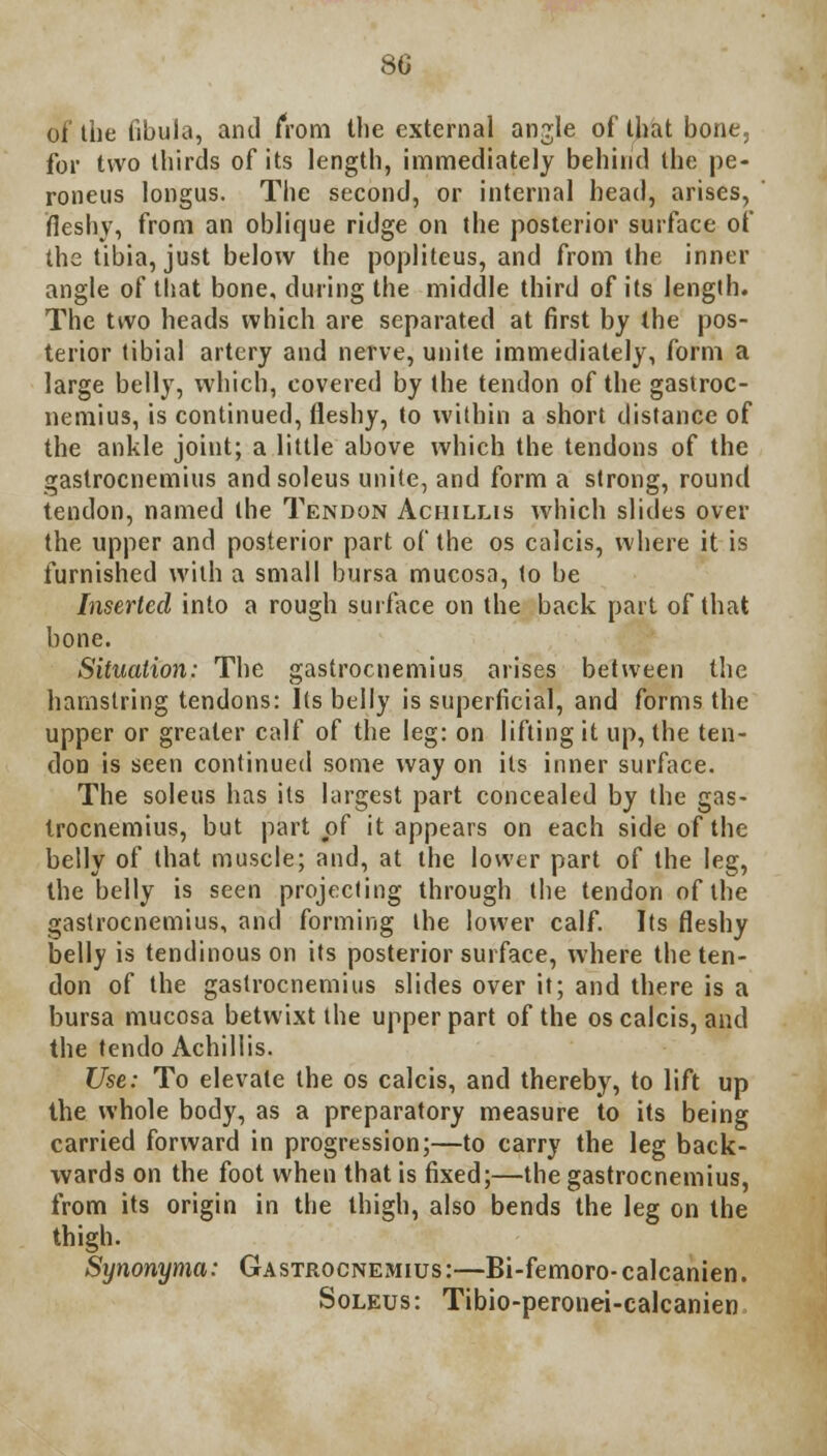 of the fibula, and from the external anjle of that bone, for two thirds of its length, immediately behind the pe- roneus longus. The second, or internal head, arises, fleshy, from an oblique ridge on the posterior surface of the tibia, just below the popliteus, and from the inner angle of that bone, during the middle third of its length. The two heads which are separated at first by the pos- terior tibial artery and nerve, unite immediately, form a large belly, which, covered by the tendon of the gastroc- nemius, is continued, fleshy, to within a short distance of the ankle joint; a little above which the tendons of the gastrocnemius andsoleus unite, and form a strong, round tendon, named the Tendon Achillis which slides over the upper and posterior part of the os calcis, where it is furnished with a small bursa mucosa, to be Inserted into a rough surface on the back part of that bone. Situation: The gastrocnemius arises between the hamstring tendons: Its belly is superficial, and forms the upper or greater calf of the leg: on lifting it up, the ten- don is seen continued some way on its inner surface. The soleus has its largest part concealed by the gas- trocnemius, but part of it appears on each side of the belly of that muscle; and, at the lower part of the leg, the belly is seen projecting through the tendon of the gastrocnemius, and forming the lower calf. Its fleshy belly is tendinous on its posterior surface, where the ten- don of the gastrocnemius slides over it; and there is a bursa mucosa betwixt the upper part of the os calcis, and the tendo Achillis. Use: To elevate the os calcis, and thereby, to lift up the whole body, as a preparatory measure to its being carried forward in progression;—to carry the leg back- wards on the foot when that is fixed;—the gastrocnemius, from its origin in the thigh, also bends the leg on the thigh. Synonyma: Gastrocnemius:—Bi-femoro-calcanien. Soleus : Tibio-peronei-calcanien