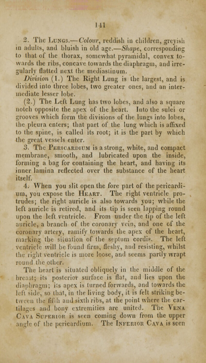 2. The Lungs.— Colour, reddish in children, greyish in adults, and bluish in old age.—Shape, corresponding to that of the thorax, somewhat pyramidal, convex to- wards the ribs, concave towards the diaphragm, and irre- gularly flatted next the mediastinum. Division (1.) The Right Lung is the largest, and is divided into three lobes, two greater ones, and an inter- mediate lesser lobe. (2.) The Left Lung has two lobes, and also a square notch opposite the apex of the heart. Into the sulei or grooves which form the divisions of the lungs into lobes, the pleura enters; that part of the lung which is affixed to the spine, is called its root; it is the part by which the great vessels enter. 3. The Pericardium is a strong, white, and compact membrane, smooth, and lubricated upon the inside, forming a bag for containing the heart, and having its inner lamina reflected over the substance of the heart itself. 4. When you slit open the fore part of the pericardi- um, you expose the Heart. The right ventricle pro- trudes; the right auricle is also towards you; while the left auricle is retired, and its tip is seen hipping round upon the left ventricle. From under the tip of the left auricle, a branch of the coronary vein, and one of the coronary artery, ramify towards the apex of the heart, marking the situation of the septum cordis. The left ventricle will be found firm, fleshy, and resisting, whilst the right ventricle is more loose, and seems partly wrapt round the other. The heart is situated obliquely in the middle of the breast; its posterior surface is flat, and lies upon the diaphragm; i!s apex is turned forwards, and towards the left side, so that, in the living body, it is felt striking be- tween the fifth and sixth ribs, at the point where the car- tilages and bony extremities are united. The Vena Cava Superior is seen coming down from the upper of the pericardium. The Inferior Cava is seen