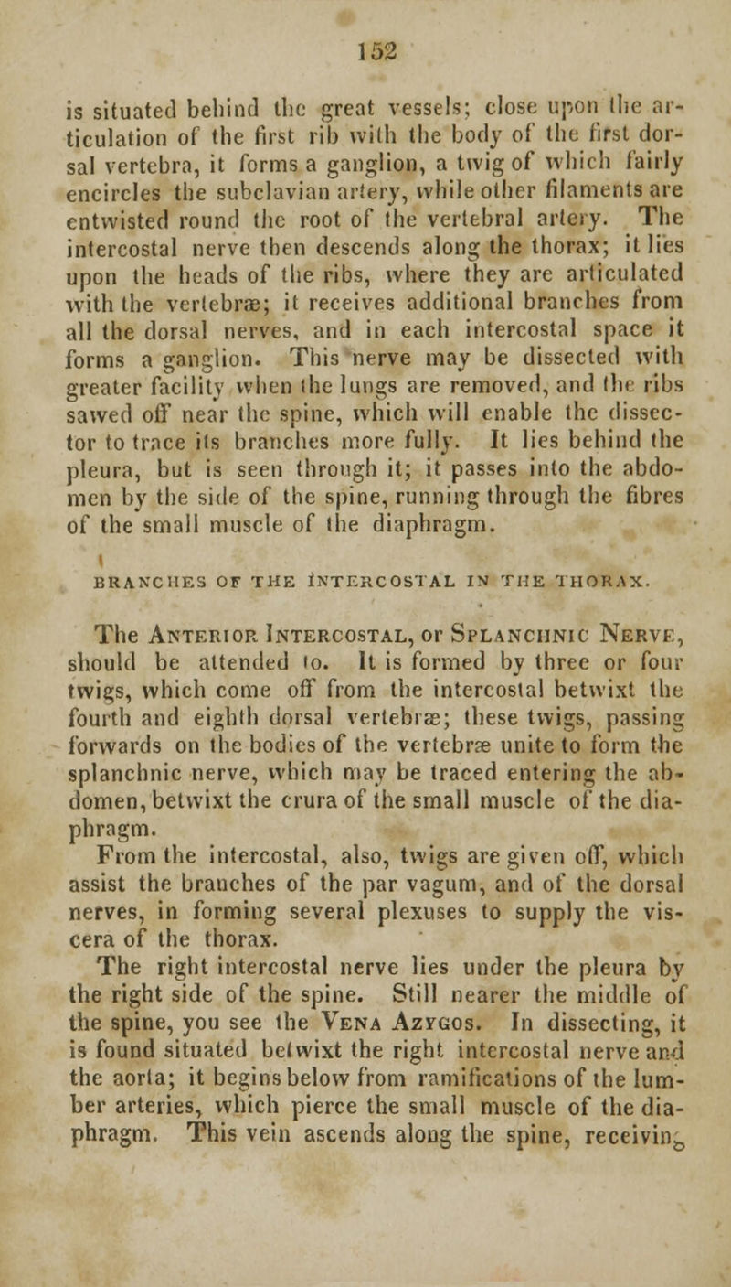 is situated behind the great vessels; close upon the ar- ticulation of the first rib with the body of the first dor- sal vertebra, it forms a ganglion, a twig of which fairly encircles the subclavian artery, while other filaments are entvvisted round the root of the vertebral artery. The intercostal nerve then descends along the thorax; it lies upon the heads of the ribs, where they are articulated with the vertebrae; it receives additional branches from all the dorsal nerves, and in each intercostal space it forms a ganglion. This nerve may be dissected with greater facility when ihe lungs are removed, and the ribs sawed off near the spine, which will enable the dissec- tor to trace its branches more fully. It lies behind the pleura, but is seen through it; it passes into the abdo- men by the side of the spine, running through the fibres of the small muscle of the diaphragm, i BRANCHES OF THE INTERCOSTAL IN THE THORAX. The Anterior Intercostal, or Splanchnic Nerve, should be attended to. It is formed by three or four twigs, which come off from the intercostal betwixt the fourth and eighth dorsal vertebras; these twigs, passing forwards on the bodies of the vertebrse unite to form the splanchnic nerve, which may be traced entering the ab- domen, betwixt the crura of the small muscle of the dia- phragm. From the intercostal, also, twigs are given off, which assist the branches of the par vagum, and of the dorsal nerves, in forming several plexuses to supply the vis- cera of the thorax. The right intercostal nerve lies under the pleura by the right side of the spine. Still nearer the middle of the spine, you see the Vena Azvgos. In dissecting, it is found situated betwixt the right intercostal nerve and the aorta; it begins below from ramifications of the lum- ber arteries, which pierce the small muscle of the dia- phragm. This vein ascends along the spine, receivin&