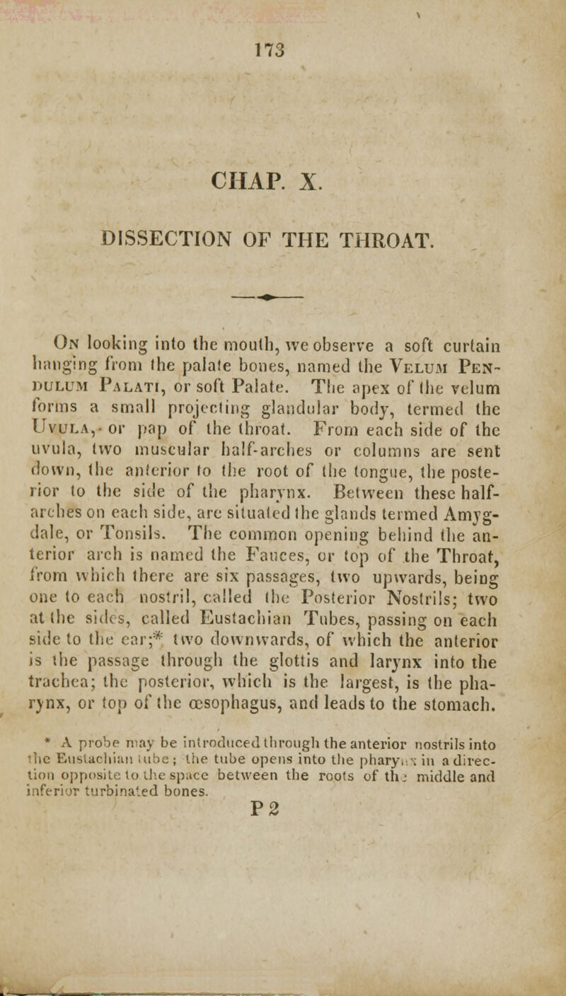 CHAP. X. DISSECTION OF THE THROAT. On looking into the mouth, we observe a soft curtain hanging from the palate bones, named the Velum Pen- dulum Palati, or soft Palate. The apex of (he velum forms a small projecting glandular body, termed the Uvula, or pap of the throat. From each side of the uvula, two muscular ha!f-arclies or columns are sent down, the anterior lo (he root of the tongue, the poste- rior to the side of the pharynx. Between these half- arches on each side, are situated the glands termed Amjg- dale, or Tonsils. The common opening beliind the an- terior arch is named the Fauces, or top of the Throat, from which there are six passages, two upwards, being one to each nostril, called (he Posterior Nostrils; two at the sides, called Eustachian Tubes, passing on each side to the car;* two downwards, of which the anterior is the passage through the glottis and larynx into the trachea; the posterior, which is the largest, is the pha- rjnx, or top of the oesophagus, and leads to the stomach. * A probe may be introduced through the anterior nostrils into ^he Eustachian tube; the tube opens into the pharynx in a direc- tion opposite to the space between the roots of th: middle and inferior turbinated bones. P2
