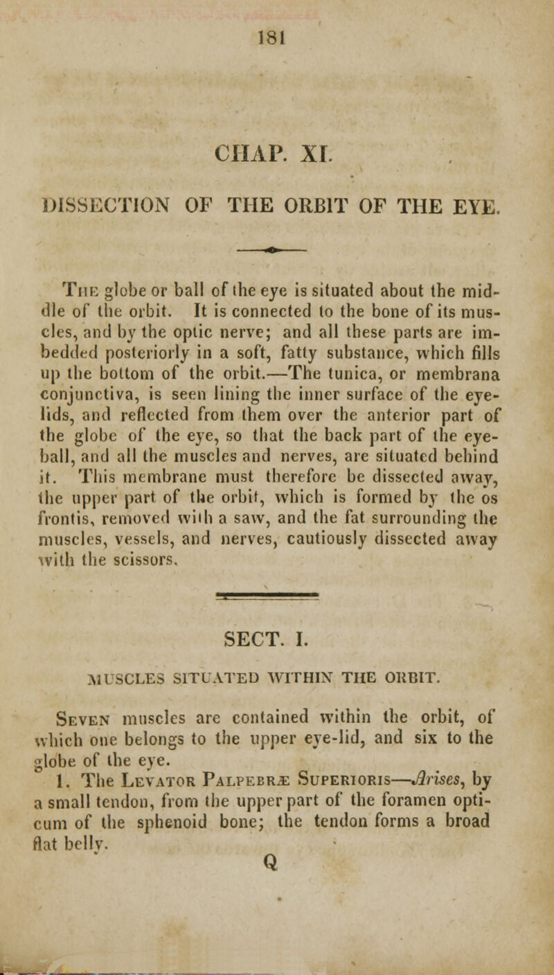CHAP. XI. DISSECTION OF THE ORBIT OF THE EYE. The globe or ball of the eye is situated about the mid- dle of the orbit. It is connected to the bone of its mus- cles, and by the optic nerve; and all these parts are im- bedded posteriorly in a soft, fatty substance, which fills up the bottom of the orbit.—The tunica, or membrana conjunctiva, is seen lining the inner surface of the eye- lids, and reflected from them over the anterior part of the globe of the eye, so that the back part of the eye- ball, and all the muscles and nerves, are situated behind it. This membrane must therefore be dissected away, the upper part of the orbit, which is formed by the os frontis, removed with a saw, and the fat surrounding the muscles, vessels, and nerves, cautiously dissected away with the scissors. SECT. I. MUSCLES SITUATED WITHIN THE OllBIT. Seven muscles are contained within the orbit, of which one belongs to the upper eye-lid, and six to the globe of the eye. 1. The Levator Palpebr^: Superioris—Jlrises, by a small tendon, from the upper part of the foramen opti- cum of the sphenoid bone; the tendon forms a broad flat bellv. Q